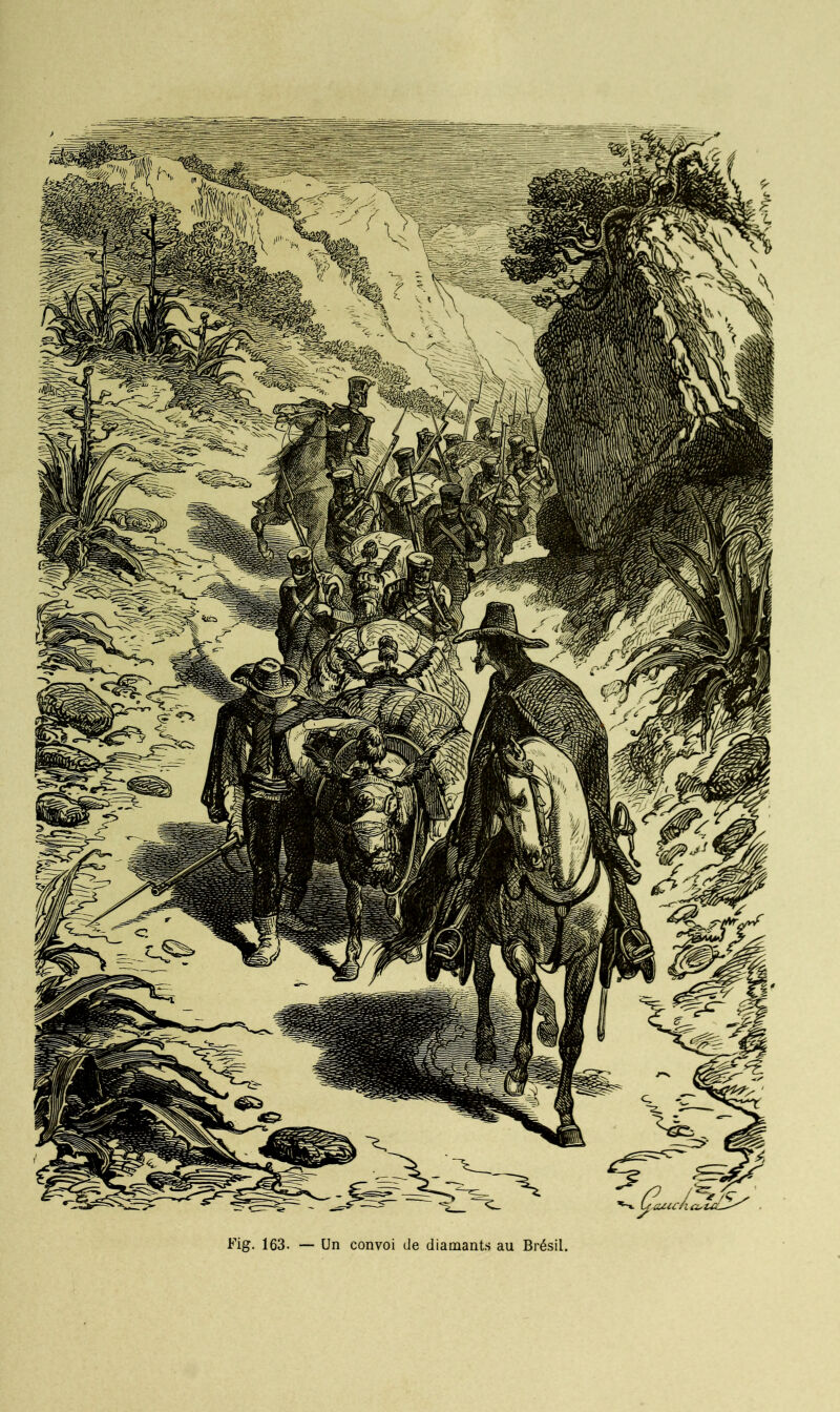 Fig. 163. — Un convoi de diamants au Brésil