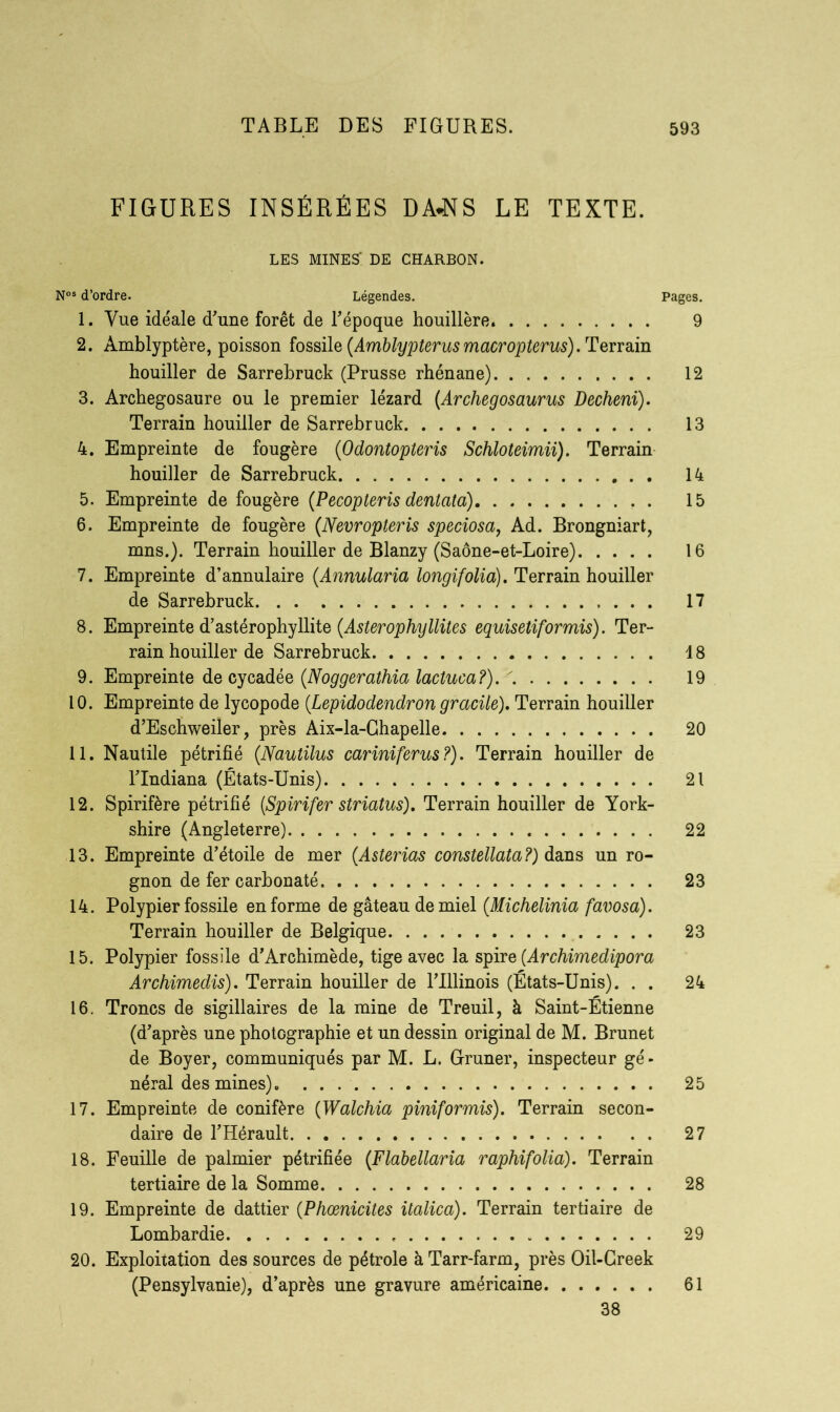 FIGURES INSÉRÉES DA-NS LE TEXTE. LES MINES' DE CHARBON. N°s d’ordre. Légendes. Pages. 1. Vue idéale d'une forêt de l’époque houillère 9 2. Amblyptère, poisson fossile (Amblypterus macropterus). Terrain houiller de Sarrehruck (Prusse rhénane) 12 3. Archegosaure ou le premier lézard (Archegosaurus Decheni). Terrain houiller de Sarrehruck 13 4. Empreinte de fougère (Odontopteris Schloteimii). Terrain houiller de Sarrehruck 14 5. Empreinte de fougère (Pecopteris dentata) 15 6. Empreinte de fougère (Nevropteris speciosa, Ad. Brongniart, mns.). Terrain houiller de Blanzy (Saône-et-Loire) 16 7. Empreinte d’annulaire (Annularia longifolia). Terrain houiller de Sarrehruck 17 8. Empreinte d’astérophyllite (Asterophyllites equisetiformis). Ter- rain houiller de Sarrehruck 18 9. Empreinte de cycadée (Noggerathia lactuca?). 19 10. Empreinte de lycopode (Lepidodendron gracile). Terrain houiller d’Eschweiler, près Aix-la-Chapelle 20 11. Nautile pétrifié (Nautilus cariniferus?). Terrain houiller de l’Indiana (États-Unis) 21 12. Spirifère pétrifié (Spirifer striatus). Terrain houiller de York- shire (Angleterre) 22 13. Empreinte d’étoile de mer (.Asterias constellata?) dans un ro- gnon de fer carbonaté 23 14. Polypier fossile en forme de gâteau de miel (Michelinia favosa). Terrain houiller de Belgique 23 15. Polypier fossile d’Archimède, tige avec la spire {Archimedipora Archimedis). Terrain houiller de l’Illinois (États-Unis). . . 24 16. Troncs de sigillaires de la mine de Treuil, à Saint-Étienne (d’après une photographie et un dessin original de M. Brunet de Boyer, communiqués par M. L. Gruner, inspecteur gé- néral des mines). 25 17. Empreinte de conifère (Walchia piniformis). Terrain secon- daire de l’Hérault 27 18. Feuille de palmier pétrifiée (Flabellaria raphifolia). Terrain tertiaire de la Somme 28 19. Empreinte de dattier (Phœnicites italica). Terrain tertiaire de Lombardie « 29 20. Exploitation des sources de pétrole à Tarr-farm, près Oil-Creek (Pensylvanie), d’après une gravure américaine 61 38