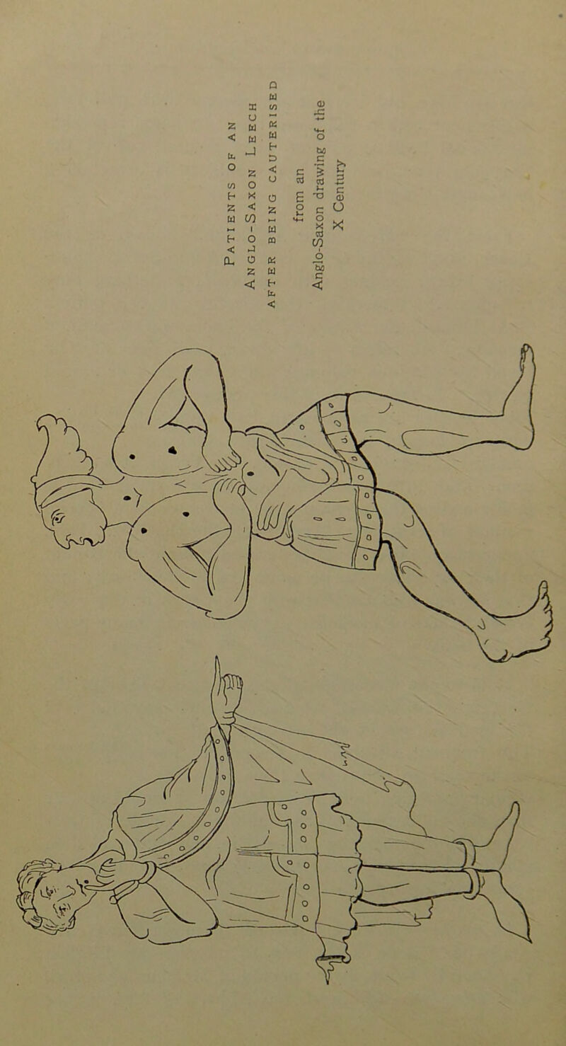 U X to V 2 tz] Oi M-< < bl bl o h bo D c O W 2 o < U C cd ■§ cd t 3 c h O e T3 (U 2 < 2 o C O b] CO 1 U M-H o X cd CO X h o £Q < nJ a. 0 2 u 'bo c