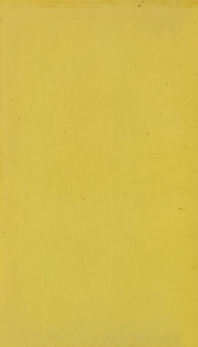 0 •T-- r } t I i ( ‘ :'l Si