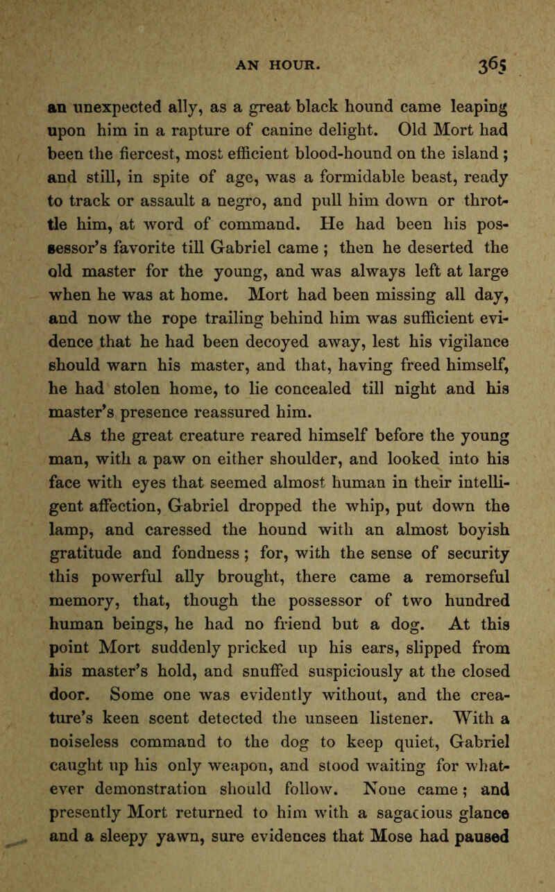 an unexpected ally, as a great black hound came leaping upon him in a rapture of canine delight. Old Mort had been the fiercest, most efficient blood-hound on the island ; and still, in spite of age, was a formidable beast, ready to track or assault a negro, and pull him down or throt- tle him, at word of command. He had been his pos- sessor’s favorite till Gabriel came ; then he deserted the old master for the young, and was always left at large when he was at home. Mort had been missing all day, and now the rope trailing behind him was sufficient evi- dence that he had been decoyed away, lest his vigilance should warn his master, and that, having freed himself, he had stolen home, to lie concealed till night and his master’s presence reassured him. As the great creature reared himself before the young man, with a paw on either shoulder, and looked into his face with eyes that seemed almost human in their intelli- gent affection, Gabriel dropped the whip, put down the lamp, and caressed the hound with an almost boyish gratitude and fondness; for, with the sense of security this powerful ally brought, there came a remorseful memory, that, though the possessor of two hundred human beings, he had no friend but a dog. At this point Mort suddenly pricked up his ears, slipped from his master’s hold, and snuffed suspiciously at the closed door. Some one was evidently without, and the crea- ture’s keen scent detected the unseen listener. With a noiseless command to the dog to keep quiet, Gabriel caught up his only weapon, and stood waiting for what- ever demonstration should follow. None came; and presently Mort returned to him with a sagacious glance and a sleepy yawn, sure evidences that Mose had paused