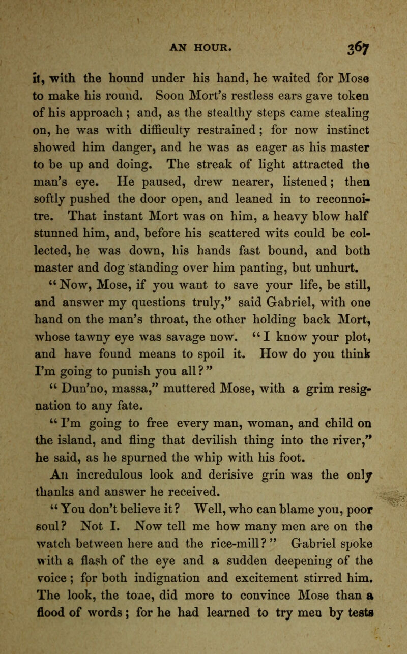 il, with the hound under his hand, he waited for Mose to make his round. Soon Mort’s restless ears gave token of his approach; and, as the stealthy steps came stealing on, he was with difficulty restrained; for now instinct showed him danger, and he was as eager as his master to be up and doing. The streak of light attracted the man’s eye. He paused, drew nearer, listened; then softly pushed the door open, and leaned in to reconnoi- tre. That instant Mort was on him, a heavy blow half stunned him, and, before his scattered wits could be col- lected, he was down, his hands fast bound, and both master and dog standing over him panting, but unhurt. “ Now, Mose, if you want to save your life, be still, and answer my questions truly,” said Gabriel, with one hand on the man’s throat, the other holding back Mort, whose tawny eye was savage now. “ I know your plot, and have found means to spoil it. How do you think I’m going to punish you all ? ” “ Dun’no, massa,” muttered Mose, with a grim resig- nation to any fate. u I’m going to free every man, woman, and child on the island, and fling that devilish thing into the river,” he said, as he spurned the whip with his foot. A11 incredulous look and derisive grin was the only thanks and answer he received. “ You don’t believe it ? Well, who can blame you, poor soul? Not I. Now tell me how many men are on the watch between here and the rice-mill?” Gabriel spoke with a flash of the eye and a sudden deepening of the voice; for both indignation and excitement stirred him. The look, the tone, did more to convince Mose than a flood of words; for he had learned to try men by tests