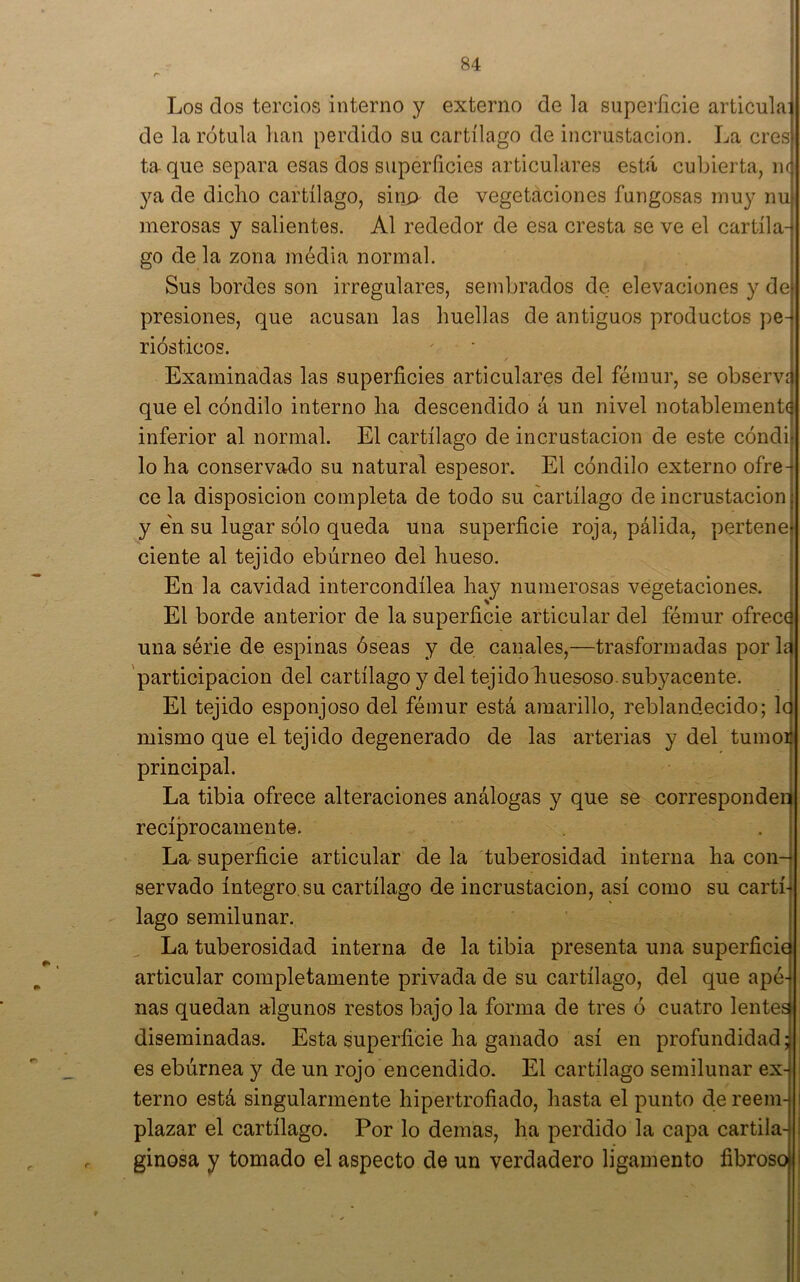 Los dos tercios interno y externo de la supei'ficie articulaj de la rótula lian perdido su cartílago de incrustación. La cres- ta que separa esas dos superficies articulares está cubierta, nr ya de dicho cartílago, sinx> de vegetaciones fungosas muy nu merosas y salientes. Al rededor de esa cresta se ve el cartílau go de la zona média normal. Sus bordes son irregulares, sembrados de elevaciones y de- presiones, que acusan las huellas de antiguos productos pe- nósticos. I Examinadas las superficies articulares del fémur, se observá que el cóndilo interno ha descendido á un nivel notablemente inferior al normal. El cartílago de incrustación de este cóndi- lo ha conservado su natural espesor. El cóndilo externo ofre- ce la disposición completa de todo su cartílago de incrustación j y en su lugar sólo queda una superficie roja, pálida, pertenei ciente al tejido ebúrneo del hueso. En la cavidad intercondílea hay numerosas vegetaciones. El borde anterior de la superficie articular del fémur ofrece una série de espinas óseas y de canales,—trasformadas por la 'participación del cartílago y del tejido huesoso, subyacente. ; El tejido esponjoso del fémur está amarillo, reblandecido; Id mismo que el tejido degenerado de las arterias y del tumoij principal. ‘ La tibia ofrece alteraciones análogas y que se corresponde^ recíprocamente. . | La superficie articular de la tuberosidad interna ha con-] servado íntegro, su cartílago de incrustación, así como su cartí-j lago semilunar. j La tuberosidad interna de la tibia presenta una superficie articular completamente privada de su cartílago, del que apé- nas quedan algunos restos bajo la forma de tres ó cuatro lentes diseminadas. Esta superficie ha ganado así en profundidad; es ebúrnea y de un rojo encendido. El cartílago semilunar ex- i temo está singularmente hipertrofiado, hasta el punto de reem- i plazar el cartílago. Por lo demas, ha perdido la capa cartila- I ginosa y tomado el aspecto de un verdadero ligamento fibroso i