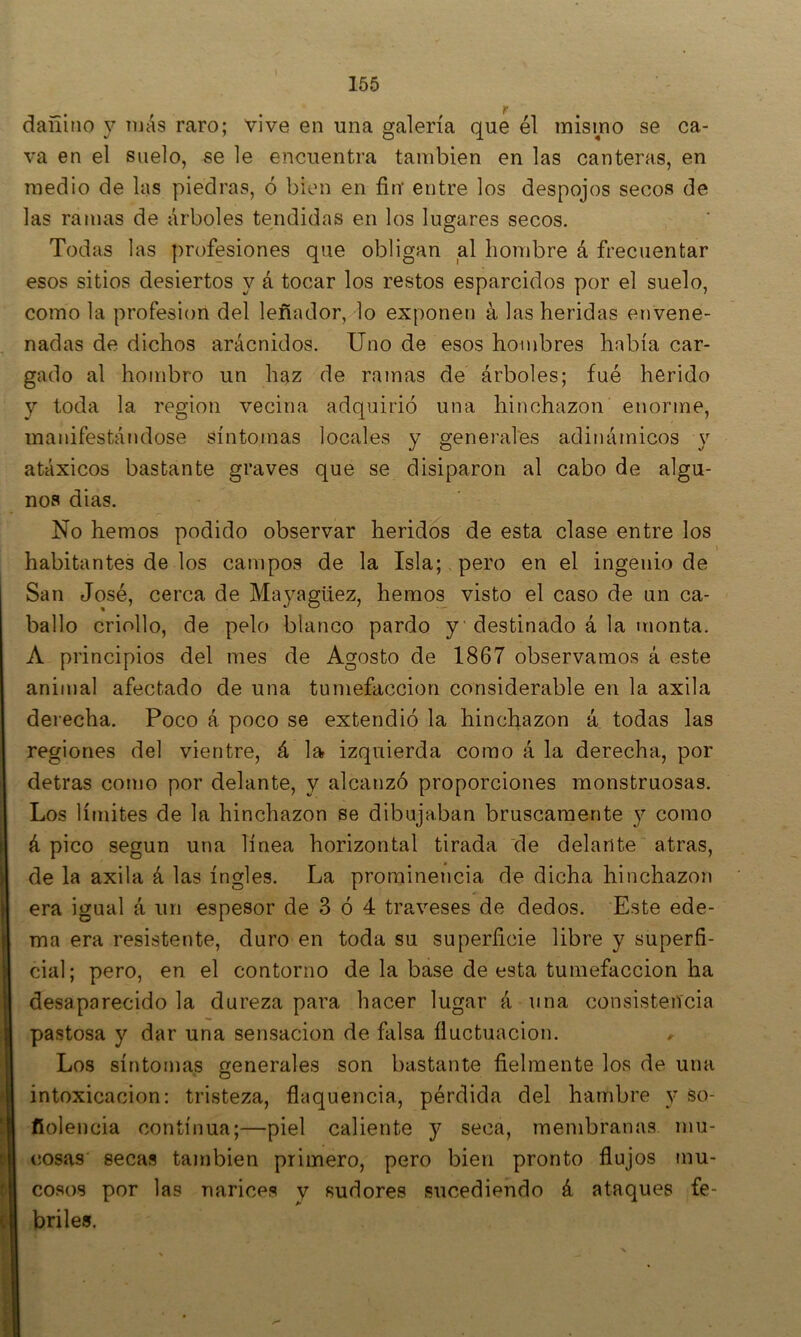 dañino y más raro; vive en una galería que él misino se ca- va en el suelo, se le encuentra también en las canteras, en medio de las piedras, ó bien en fin’ entre los despojos secos de las ramas de árboles tendidas en los lugares secos. Todas las profesiones que obligan al hombre á frecuentar esos sitios desiertos y á tocar los restos esparcidos por el suelo, como la profesión del leñador, lo exponen á las heridas envene- nadas de dichos arácnidos. Uno de esos hombres había car- gado al hombro un haz de ramas de árboles; fué herido y toda la región vecina adquirió una hinchazón enorme, manifestándose síntomas locales y generales adinámicos y atáxicos bastante graves que se disiparon al cabo de algu- nos dias. No hemos podido observar heridos de esta clase entre los habitantes de los campos de la Isla;. pero en el ingenio de San José, cerca de Mayagüez, hemos visto el caso de un ca- ballo criollo, de pelo blanco pardo y destinado á la monta. A principios del mes de Agosto de 1867 observamos á este animal afectado de una tumefacción considerable en la axila derecha. Poco á poco se extendió la hinchazón á todas las regiones del vientre, á la izquierda como á la derecha, por detras como por delante, y alcanzó proporciones monstruosas. Los límites de la hinchazón se dibujaban bruscamente y como á pico según una línea horizontal tirada de delante atras, de la axila á las ingles. La prominencia de dicha hinchazón era igual á un espesor de 3 ó 4 traveses de dedos. Este ede- ma era resistente, duro en toda su superficie libre y superfi- cial; pero, en el contorno de la base de esta tumefacción ha desaparecido la dureza para hacer lugar á una consistencia I pastosa y dar una sensación de falsa fluctuación. Los síntomas generales son bastante fielmente los de una ' intoxicación: tristeza, flaquencia, pérdida del hambre y so- fiolencia continua;—piel caliente y seca, membranas mu- íB cosas secas también primero, pero bien pronto flujos niu- cosos por las narices v sudores sucediendo á ataques fe- (| briles.