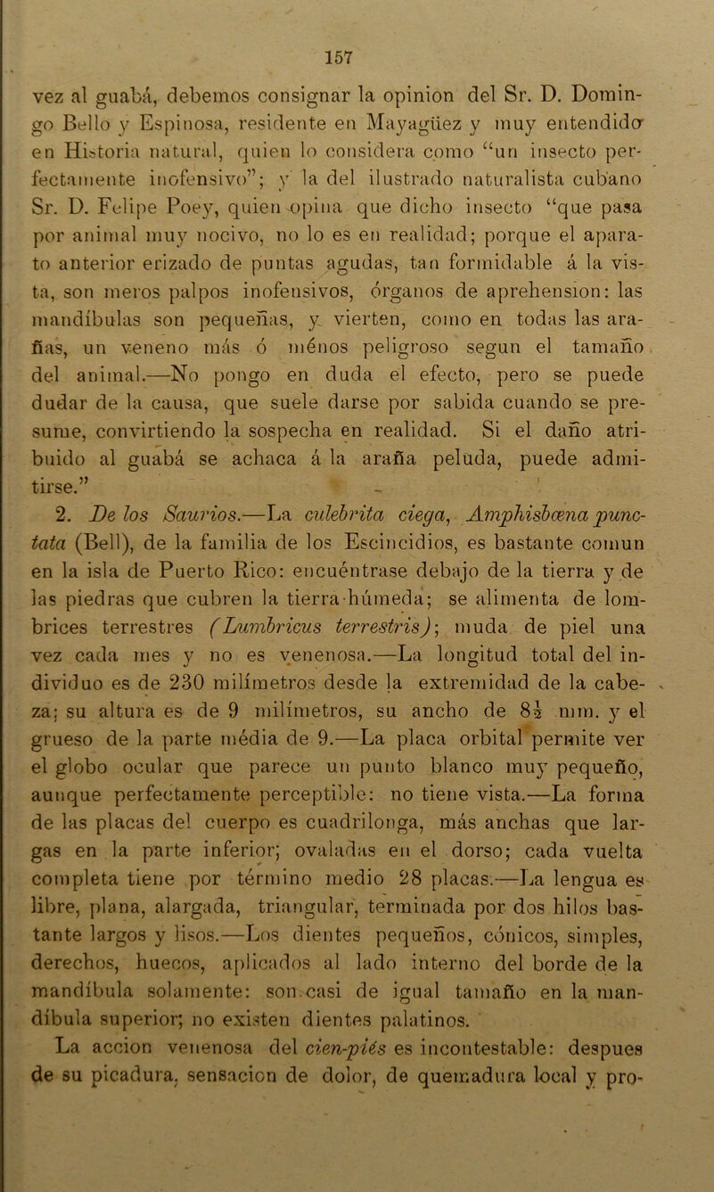 vez al guabá, debemos consignar la opinión del Sr. D. Domin- go Bello y Espinosa, residente en Mayagüez y muy entendida en Historia natural, quien lo considera como “un insecto per- fectamente inofensivo”; y la del ilustrado naturalista cubano Sr. D. Felipe Poey, quien opina que dicho insecto “que pasa por animal muy nocivo, no lo es en realidad; porque el apara- to anterior erizado de puntas agudas, tan formidable á la vis- ta, son meros palpos inofensivos, órganos de aprehensión: las mandíbulas son pequeñas, y: vierten, como en todas las ara- ñas, un veneno más ó niénos peligroso según el tamaño, del animal.—No pongo en duda el efecto, pero se puede dudar de la causa, que suele darse por sabida cuando se pre- sume, convirtiendo la sospecha en realidad. Si el daño atri- buido al guabá se achaca á la araña peluda, puede admi- tirse.” - ' 2. De los Saurios.—La culehrita ciega., Amphishcena pune- tata (Bell), de la familia de los Escincidios, es bastante común en la isla de Puerto Rico: encuéntrase debajo de la tierra y de las piedras que cubren la tierra-húmeda; se alimenta de lom- brices terrestres (Lvmhricus terrestris)\ muda de piel una vez cada mes y no es venenosa.—La longitud total del in- dividuo es de 230 milímetros desde la extremidad de la cabe- za; su altura es de 9 milímetros, su ancho de 8^ inm. y el grueso de la parte média de 9.—La placa orbital permite ver el globo ocular que parece un punto blanco muy pequeño, aunque perfectamente perceptible: no tiene vista.—La forma de las placas del cuerpo es cuadrilonga, más anchas que lar- gas en la parte inferior; ovaladas en el dorso; cada vuelta completa tiene por término medio 28 placas.—La lengua es libre, plana, alargada, triangular, terminada por dos hilos bas- tante largos y lisos.—Los dientes pequeños, cónicos, simples, derechos, huecos, aplicados al lado interno del borde de la mandíbula solamente: son.casi de igual tamaño en la man- díbula superior; no existen dientes palatinos. La acción venenosa del cien-pUs es incontestable: después de su picadura, sensación de dolor, de quemadura local y pro-