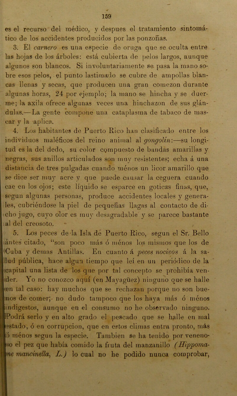 es el recurso del médico, y después el tratamiento sintomá- tico de los accidentes producidos por las ponzoñas. 3. El carnero es una especie de oruga que se oculta entre las hojas de los árboles: está cubierta de pelos largos, aunque algunos son blancos. Si involuntariamente se pasa la mano so- bre esos pelos, el punto lastimado se cubre de ampollas blan- cas llenas y secas, que producen una gran comezón durante algunas horas, 24 por ejemplo; la mano se hincha y se duer- me; la axila ofrece algunas veces una hinchazón de sus glán- dulas.— La gente compone una cataplasma de tabaco de mas- car y la aplica. 4. Los habitantes de Puerto Rico han clasificado entre los individuos maléficos del reino animal al gongolin:—su longi- tud es la del dedo, su color cgmpuesto de bandas amarillas y negras, sus anillos articulados son muy i’esistentes; echa á una distaijcia de tres pulgadas cuando ménos un licor amarillo que se dice ser mu} acre y que puede causar la ceguera cuando cae en los ojos; este líquido se esparce en góticas finas, que, según algunas personas, produce accidentes locales y genera- les, cubriéndose la piel de pequeñas llagas al contacto de di- cho jugo, cuyo olor es muy desagradable y se parece bastante al del creosoto. 5. Los peces de da Isla de Puerto Rico, según el Sr. Bello ,antes citado, “son poco más ó ménos los mismos que los de •Cuba y demas Antillas. En cuanto á peces nocivos á la sa- llud pública, hace algún tiempo que leí en un periódico de la «capital una lista de los que por tal concepto se prohibía ven- (der. Yo no conozco aquí (en Mayagüez) ninguno que se halle Ifen tal caso: hay muchos que se rechazan porque no son bue- irios de comer;- no dudo tampoco que los haya más ó ménos b.ndigestos, aunque en el consumo no he observado ninguno. pPodrá serlo y en alto grado el j)escado que se halle en mal listado, ó en corrupción, que en estos climas entra pronto, más |ó ménos según la especie. También se ha tenido por veneno- so el pez que había comido la fruta del manzanillo (Híppoma- wne mancinella^ L.) lo cual no he podido nunca comprobar.