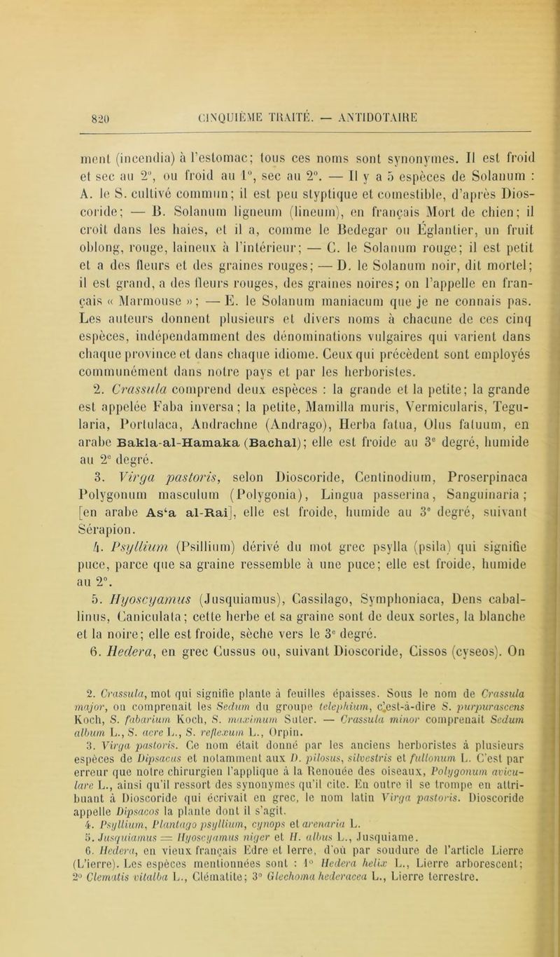 ment (incendia) à l’estomac; tous ces noms sont synonymes. Il est froid et sec au 2°, ou froid au 1°, sec au 2°. — Il y a 5 espèces de Solatium : À. le S. cultivé commun; il est peu styptique et comestible, d’après l)ios- coride; — B. Solanum ligneum (lineum), en français Mort de chien; il croît dans les haies, et il a, comme le Bedegar ou Eglantier, un fruit oblong, rouge, laineux à l’intérieur; — G. le Solanum rouge; il est petit et a des fleurs et des graines rouges; — D. le Solanum noir, dit mortel; il est grand, a des (leurs rouges, des graines noires; on l’appelle en fran- çais « Marmouse »; —E. le Solanum maniacum que je ne connais pas. Les auteurs donnent plusieurs et divers noms à chacune de ces cinq espèces, indépendamment des dénominations vulgaires qui varient dans chaque province et dans chaque idiome. Ceux qui précèdent sont employés communément dans notre pays et par les herboristes. 2. Crassula comprend deux espèces : la grande et la petite; la grande est appelée Faba inversa; la petite, Mamilla mûris, Vermicularis, Tegu- laria, Portulaca, Andrachne (Andrago), Herba falua, Olus faluum, en arabe Bakla-al-Hamaka (Baclial); elle est froide au 3e degré, humide au 2U degré. 3. Virga pastoris, selon Dioscoride, Centinodium, Proserpinaca Polygonum masculum (Polygonia), Lingua passerina, Sanguinaria ; [en arabe As‘a al-Rai], elle est froide, humide au 3° degré, suivant Sérapion. h. Psyllium (Psillium) dérivé du mot grec psylla (psila) qui signifie puce, parce que sa graine ressemble à une puce; elle est froide, humide au 2°. 5. Hyoscyamus (Jusquiamus), Gassilago, Symphoniaca, Dens cabal- linus, Ganiculata; cette herbe et sa graine sont de deux sortes, la blanche et la noire; elle est froide, sèche vers le 3e degré. 6. Heclera, en grec Gussus ou, suivant Dioscoride, Gissos (cyseos). On 2. Crassula, mot qui signifie plante à feuilles épaisses. Sous le nom de Crassula major, on comprenait les Sedum du groupe telephium, c^ost-à-dire S. purpurascens Koch, S. fabarium Koch, S. maximum Suler. — Crassula ininor comprenait Sedum album L., S. acre U., S. re/lexum L., Orpin. 3. Virga pastoris. Ce nom était donné par les anciens herboristes à plusieurs espèces de Dipsacus et notamment aux ü. pilosus, silvestris et fullonum L. C’est par erreur que noire chirurgien l’applique à la Renouée des oiseaux, Polygonum avicu- lare L., ainsi qu'il ressort des synonymes qu’il cite. En outre il se trompe en attri- buant à Dioscoride qui écrivait en grec, le nom latin Virga pastoris. Dioscoride appelle Dipsacos la plante dont il s’agit. 4. Psyllium, Plantago psyllium, cynops et. arenaria L. 5. Jusquiamus = llyoscyamus niger et H. albus L., Jusquiame. G. lleclera, en vieux français Edre et lerre, d'où par soudure de l’article Lierre (L’ierre). Les espèces mentionnées sont : 1° Hedera helix L., Lierre arborescent; 2° Clematis vitalba L., Clématite; 3° Glechoma hederacea L., Lierre terrestre.