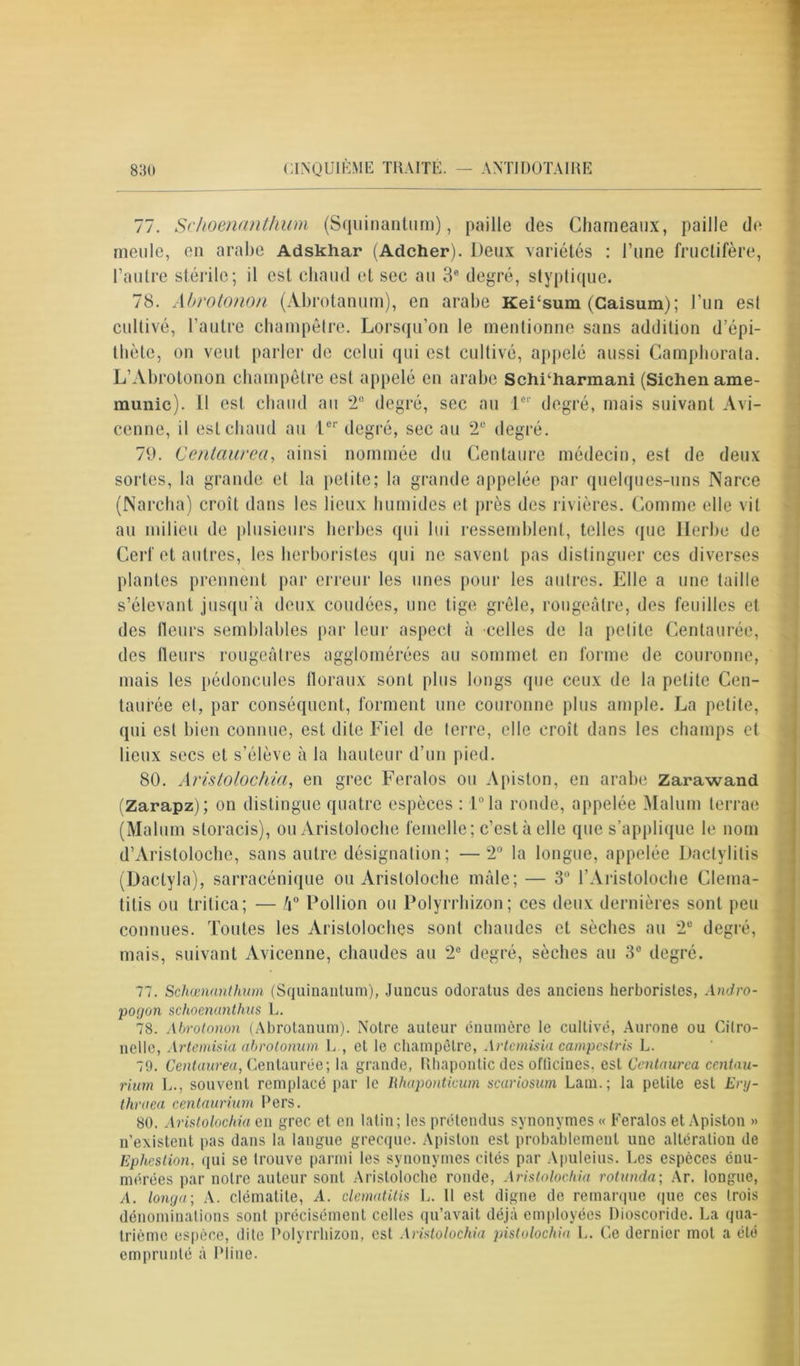 77. Srhoenanthum (Squinantum), paille des Chameaux, paille de meule, en arabe Adskhar (Adcher). Deux variétés : l’une fructifère, l’autre stérile; il est chaud et sec au 3e degré, styptique. 78. Abrotonon (Àbrotanum), en arabe KeFsum (Caisum); l'un es! cultivé, l’autre champêtre. Lorsqu'on le mentionne sans addition d’épi- thète, on veut parler de celui qui est cultivé, appelé aussi Camphorata. L’Abrotonon champêtre est appelé en arabe SchFharmani (Sichename- munic). Il est chaud au 2° degré, sec au 1er degré, mais suivant Avi- cenne, il est chaud au Ier degré, sec au 2° degré. 79. Centaurea, ainsi nommée du Centaure médecin, est de deux sortes, la grande et la petite; la grande appelée par quelques-uns Narce (Narcha) croît dans les lieux humides et près des rivières. Comme elle vit au milieu de plusieurs herbes qui lui ressemblent, telles que Herbe de Cerf et autres, les herboristes qui ne savent pas distinguer ces diverses plantes prennent par erreur les unes pour les autres. Elle a une taille s’élevant jusqu’à deux coudées, une tige grêle, rougeâtre, des feuilles et des fleurs semblables par leur aspect à celles de la petite Centaurée, des fleurs rougeâtres agglomérées au sommet en forme de couronne, mais les pédoncules floraux sont plus longs que ceux de la petite Cen- taurée et, par conséquent, forment une couronne plus ample. La petite, qui est bien connue, est dite Fiel de terre, elle croît dans les champs et lieux secs et s’élève à la hauteur d’un pied. 80. Aristolochia, en grec Feralos ou A piston, en arabe Zarawand (Zarapz); on distingue quatre espèces : l°la ronde, appelée Malum terrae (Malum storacis), ou Aristoloche femelle; c’est à elle que s’applique le nom d’Aristoloche, sans autre désignation; —2° la longue, appelée Dactylitis (Dactyla), sarracénique ou Aristoloche mâle; — 3° l’Aristoloche Clema- tilis ou trilica; — h° Pollion ou Polyrrhizon; ces deux dernières sont peu connues. Toutes les Aristoloches sont chaudes et sèches au 2e degré, mais, suivant Avicenne, chaudes au 2e degré, sèches au 3° degré. 77. Schœnanthum (Squinantum), Juncus odoratus des anciens herboristes, Andro- pogon schoenanthus L. 78. Abrotonon (Abrotanum). Notre auteur énumère le cultivé, Aurone ou Cilro- nelle, Artemisia abrotonum L , et le champêtre, Artemisia campcslris L. 79. Centaure a, Centaurée; la grande, Rhapontic des officines, est Centaurea centau- rium L., souvent remplacé par le lihapontieum scariosum Lain.; la petite est Enj- thruea eenlaurium Pers. 80. Aristolochia en grec et en latin; les prétendus synonymes « Feralos et Apiston » n’existent pas dans la langue grecque. Apiston est probablement une altération de Ephestion, qui se trouve parmi les synonymes cités par Apuleius. Les espèces énu- mérées par notre auteur sont Aristoloche ronde, Aristolochia rotunda; Ar. longue, A. longa; A. clématite, A. clematitis L. 11 est digne de remarque que ces trois dénominations sont précisément celles qu’avait déjà employées Dioscoride. La qua- trième espèce, dite Polyrrhizon, est Aristolochia pistolochia L. Ce dernier mot a été emprunté à Pline.