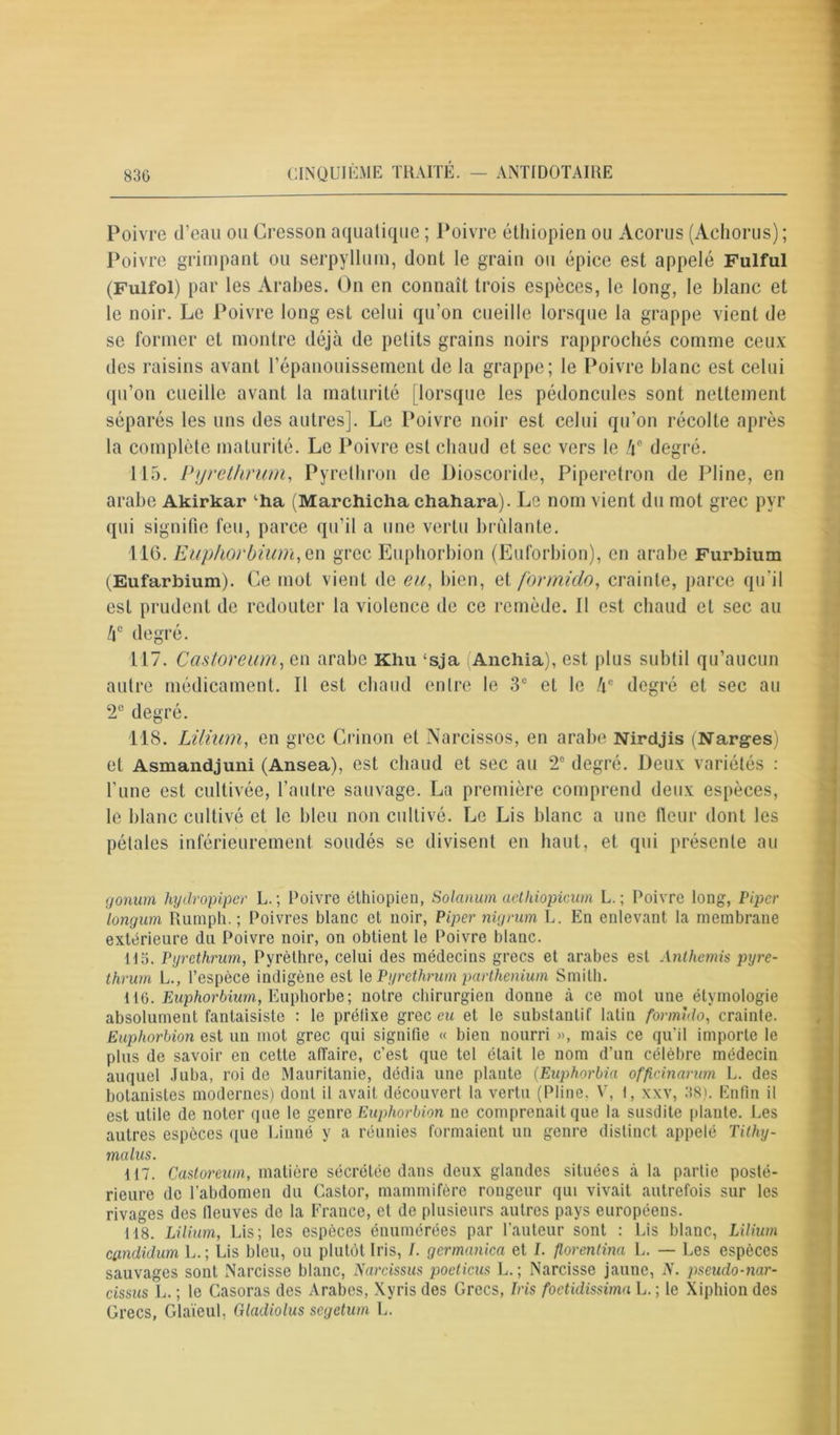 Poivre d’eau ou Cresson aquatique ; Poivre éthiopien ou Acorus (Achorus) ; Poivre grimpant ou serpyllum, dont le grain ou épice est appelé Fulful (Fulfoi) par les Arabes. On en connaît trois espèces, le long, le blanc et le noir. Le Poivre long est celui qu’on cueille lorsque la grappe vient de se former et montre déjà de petits grains noirs rapprochés comme ceux des raisins avant l’épanouissement de la grappe; le Poivre blanc est celui qu’on cueille avant la maturité lorsque les pédoncules sont nettement séparés les uns des autres]. Le Poivre noir est celui qu’on récolte après la complète maturité. Le Poivre est chaud et sec vers le h° degré. 115. Pyre thrum, Pyrelhron de Üioscoride, Piperetron de Pline, en arabe Akirkar lha (Marchicha chahara). Le nom vient du mot grec pyr qui signifie feu, parce qu’il a une vertu bridante. 116. Euphorbium,en grec Euphorbion (Euforbion), en arabe Furbium (Eufarbium). Ce mot vient de eu, bien, et formula, crainte, parce qu’il est prudent de redouter la violence de ce remède. Il est chaud et sec au 4° degré. 117. Castoreum, eu arabe Khu ‘sja i Anchia), est plus subtil qu’aucun autre médicament. Il est chaud entre le 3e et le 4e degré et sec au 2e degré. 118. Liliwn, en grec Crinon et Narcissos, en arabe Nirdjis (Narges) et Asmandjuni (Ansea), est chaud et sec au 2° degré. Deux variétés : l’une est cultivée, l’autre sauvage. La première comprend deux espèces, le blanc cultivé et le bleu non cultivé. Le Lis blanc a une lleur dont les pétales inférieurement soudés se divisent en haut, et qui présente au (jonwn hydropiper L.; Poivre éthiopien, Solatium aethiopicum L. ; Poivre long, Piper longum Rumph. ; Poivres blanc et noir, Piper nigrum L. En enlevant la membrane extérieure du Poivre noir, on obtient le Poivre blanc. 115. Pyrcthrum, Pyrèthre, celui des médecins grecs et arabes est Anthémis pyre- thrum L., l’espèce indigène est le Pyrethrum parthenium Smith. 116. Euphorbiurn, Euphorbe; notre chirurgien donne à ce mot une étymologie absolument fantaisiste : le préfixe grec eu et le substantif latin formïdo, crainte. Euphorbion est un mot grec qui signifie « bien nourri », mais ce qu’il importe le plus de savoir en cette affaire, c’est que tel était le nom d’un célèbre médecin auquel Juba, roi de Mauritanie, dédia une plante (Euphorbia offieinarum L. des botanistes modernes) dont il avait découvert la vertu (Pline. V, l, xxv, 38t. Enfin il est utile de noter que le genre Euphorbion ne comprenait que la susdite plante. Les autres espèces que Linné y a réunies formaient un genre distinct appelé Tithy- malus. 117. Castoreum, matière sécrétée dans deux glandes situées à la partie posté- rieure de l’abdomen du Castor, mammifère rongeur qui vivait autrefois sur les rivages des fleuves de la France, et de plusieurs autres pays européens. 118. Lilium, Lis; les espèces énumérées par l’auteur sont : Lis blanc, Lilium cpndidum L.; Lis bleu, ou plutôt Iris, /. gcrmanica et I. florentina L. — Les espèces sauvages sont Narcisse blanc, Narcissus poelicus L.; Narcisse jaune, N. pseudo-nar- cissus L. ; le Casoras des Arabes, Xyris des Grecs, Iris foctidissima L. ; le Xiphion des Grecs, Glaïeul, Gladiolus segetum L.