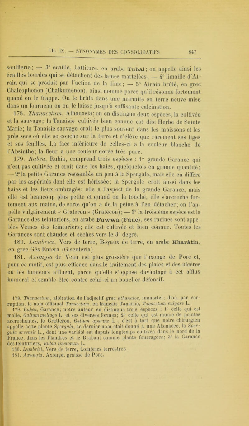 soulflerie; 3° écaille, battiture, en arabe Tubal; on appelle ainsi les écailles lourdes qui se détachent des lames martelées; — lx° limaille d’Ai- rainqui se produit par l’action de la lime; — 5° Airain brûlé, en grec Chalcophonon (Chalkumenon), ainsi nommé parce qu’il résonne fortement quand on le frappe. On le brûle dans une marmite en terre neuve mise dans un fourneau où on le laisse jusqu’à suffisante calcination. 178. Thanacetum, Atlianasia; on en distingue deux espèces, la cultivée et la sauvage; la Tanaisie cultivée bien connue est dite Herbe de Sainte Marie; la Tanaisie sauvage croît le plus souvent dans les moissons et les prés secs où elle se couche sur la terre et n’élève que rarement ses tiges et ses feuilles. La face inférieure de celles-ci a la couleur blanche de l’Absinthe; la fleur a une couleur dorée très pure. 179. Rubea, Rubia, comprend trois espèces : 1° grande Garance qui n’est pas cultivée et croît dans les haies, quelquefois en grande quantité; — 2° la petite Garance ressemble un peu à la Spergule, mais elle en diffère par les aspérités dont elle est hérissée; la Spergule croit aussi dans les haies et les lieux ombragés; elle a l’aspect de la grande Garance, mais elle est beaucoup plus petite et quand on la touche, elle s’accroche for- tement aux mains, de sorte qu’on a de la peine à l’en détacher; on l’ap- pelle vulgairement « Graleron » (Gratecon); — 3° la troisième espèce est la Garance des teinturiers, en arabe Fuwwa (Faue), ses racines sont appe- lées Veines des teinturiers; elle est cultivée et bien connue. Toutes les Garances sont chaudes et sèches vers le 3e degré. ISO. Lumbrici, Vers de terre, Boyaux de terre, en arabe Kharâtîn, en grec Gès Entera (Gisenteria). 181. Axungia de Veau est plus grossière que l’axonge de Porc et, pour ce motif, est plus efficace dans le traitement des plaies et des ulcères où les humeurs affinent, parce qu’elle s’oppose davantage à cet afflux humoral et semble être contre celui-ci un bouclier défensif. 178. Thanacetum, alteration de l’adjectif grec athanatos, immortel; d’où, par cor- ruption, le nom officinal Tanacelum, en français Tanaisie, Tanacelum vulgare L. 179. Rubea, Garance; notre auteur en distingue trois espèces : 1° celle qui est molle, Galium,mollugo L. et ses diverses formes; 2° celle qui est munie de pointes accrochantes, le Gratleron, Galium aparine L., c'est à tort que notre chirurgien appelle cette plante Spergula, ce dernier nom était donné à une Alsinacée, la Sper- gula arvensis L, dont une variété est depuis longtemps cultivée dans le nord de la France, dans les Flandres et le Brabant comme plante fourragère; 3° la Garance des teinturiers, Rubia tinclorum L. 180. Lumbrici, Vers de terre, Lombrics terrestres. 181. Axungia, Axonge, graisse de Porc.