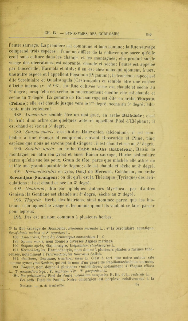 1 autre sauvage. La première est commune et bien connue; la Rue sauvage comprend 11ois espèces : 1 une ne diffère de la cultivée que parce qu’elle croît sans eu lime dans les champs et les montagnes; elle produit sur le visage des ulceiations, est odorante, chaude et sèche; l’autre est appelée par Dioscoiide, liai mala et Moly ; il en est chez nous qui ajoutent, à tort, une au tie espèce et 1 appellent Peganum (Piganum) ; la troisième espèce est dite Scrofulaire et Quadrangula (Castrangula) et semble être une espèce d’Ortie inerme (v. n° 93). La Rue cultivée verte est chaude et sèche au 2e degré; lorsqu’elle est sèche ou anciennement cueillie elle est chaude et sèche au 3e degré. La gomme de Rue sauvage est dite en arabe Thapsia (Tefisie) ; elle est chaude jusque vers le 1er degré, sèche au 3e degré, adu- rente mais lentement. 188. Anctcciniw semble être un mot grec, en arabe Balâdsûr; c’est le fruit d’un arbre que quelques auteurs appellent Pied d’Éléphant; il est chaud et sec au 3e degré. 189. Spuma maris, c’est-à-dire Halcyonion (alcionium); il est sem- blable à une éponge et comprend, suivant Dioscoride et Pline, cinq espèces que nous ne savons pas distinguer : il est. chaud et sec au 3e degré. 190. Staphis agria, en arabe Habb al-Râs (Habelraz), Raisin de montagne en latin (en grec) et aussi Raisin sauvage, Herbe pédiculaire parce qu’elle tue les poux, Grain de tête, parce que mâchée elle attire de la tète une grande quantité de flegme; elle est chaude et sèche au 3 degré. 191. Hermodactylus en grec, Doigt de Mercure, Colchicon, en arabe Surandjan (Surungen); on dit qu’il est la Thériaque (Tyriaque) des arti- culations; il est chaud et sec au 3° degré. 192. Gentiana, dite par quelques auteurs Myrrhica, par d’autres Genista; la Gentiane est chaude au 3 degré, sèche au 2° degré. 193. Thapsia, Herbe des histrions, ainsi nommée parce que les his- trions s’en oignent le visage et les mains quand ils veulent se faire passer pour lépreux. 19A. Pes est un nom commun à plusieurs herbes. 3° la Rue sauvage de Dioscoride, Peganum harmala L. ; 4° la Scrofulaire aquatique, Scrofularia nodosa et S. aquatica L. 188. Anacardus, fruit du Semicarpus anacardium L. f. 189. Spuma maris, nom donné à diverses Algues marines. 190. Staphis agria, Staphisaigre, Delphinium staphisagria L. 191. Hermodactylus, Hermodactyle, nom donné à plusieurs plantes à racines tubé- reuses, notamment à ['Hermodactylus tuberosus Salisb. 192. Gentiana, Gentiane, Gentiana lutea L. C'est à tort que notre auteur cite comme synonyme Genista, qui est le nom d’un genre de Papilionacées bien connues. 193. Thapsia, nom donné à plusieurs Ombellifères, notamment à Thapsia villosa L.. T. gummifera Spr., T. silphium Viv., T. garganica L. 194. Pes gallinaceus, Pied de Poule, Lepidium campcstre R. Br. et L. ruderale L. Pes pulli, Pied de Poulet. Notre chirurgien est perplexe relativement a la NiCAISE. — H. de Mondevillo. 1 *