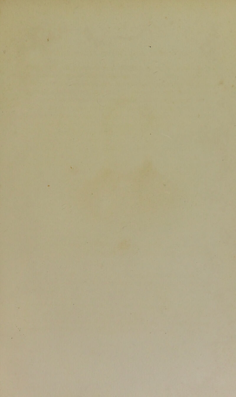 W -4' ✓ ‘ ^4 I ■” >r t(v‘ : V ■ r V . J-. • • .>3r ';if-