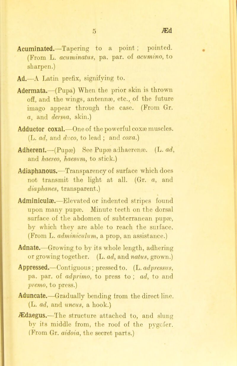 Acuminated.—Tapering to a point; pointed. (From L. acuminatus, pa. par. of acumino, to sharpen.) Ad.—A Latin prefix, signifying to. Adermata.—(Pupa) Wien the prior skin is thrown off, and the wings, antennae, etc., of the future imago appear through the case. (From Gr. a, and derma, skin.) Adductor coxal.—One of the powerful coxae muscles. (L. ad, and dv.co, to lead ; and coxa.) Adherent.—(Pupae) See Pupae adhaerenae. (L. ad, and haereo, haesum, to stick.) Adiaphanous.—Transparency of surface which does not transmit the light at all. (Gr. a, and diaphanes, transparent.) Adminiculae.—Elevated or indented stripes found upon many pupae. Minute teeth on the dorsal surface of the abdomen of subterranean pupae, by which they are able to reach the surface. (From L. adminiculum, a prop, an assistance.) Adnate.—Growing to by its whole length, adhering or growing together. (L. ad, and natus, grown.) Appressed.—Contiguous; pressed to. (L. adpressvs, pa. par. of adprimo, to press to ; ad, to and premo, to press.) Aduncate.—Gradually bending from the direct line. (L. ad, and uncus, a hook.) Aidaegus.—The structure attached to, and slung by its middle from, the roof of the pygefer. (From Gr. aidoia, the secret parts.)