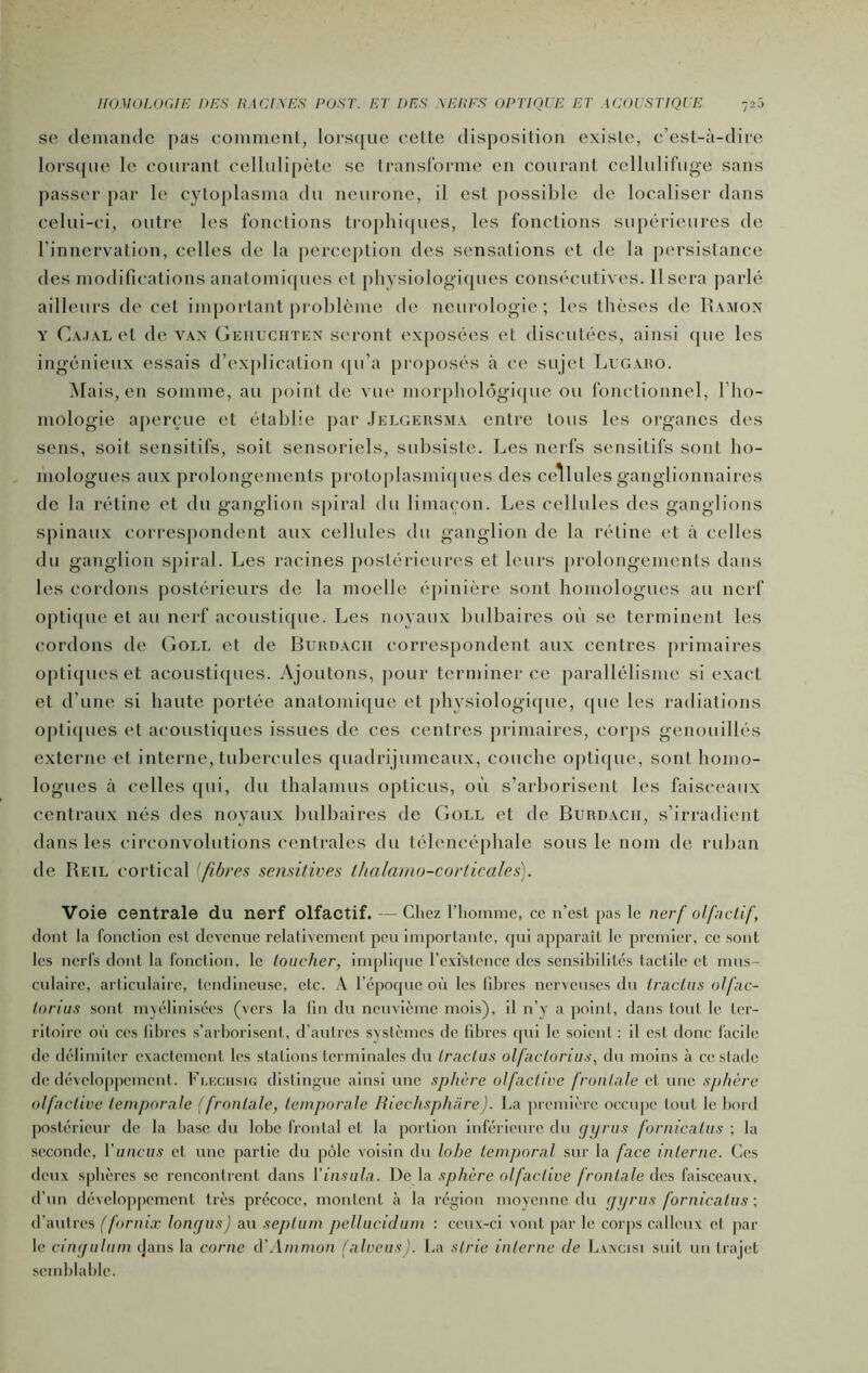 HOMOLOGIE DES ILlCIXES POST. ET DES XEItFS OPTIQUE ET ACOUSTIQUE 720 so demande pas eommenl, lorsejue celle disposilion existe, e’esl-à-dire lorscpie le couranl cellulipèle se traiisl'orme en couranl cellulifiige sans passer par le cyloplasma du neui'one, il est possible de localiser dans celui-ci, outre les fonctions tro])hiques, les fonctions supérieures de l’innervation, celles de la [>erce])tion des sensations et de la persistance des modifications anatoini(pies et physiologiques consécutives. Usera parlé ailleurs de cet important problème de neurologie; les thèses de Hamon Y Caial et de vax Geiiuchtkn seront exposées et discutées, ainsi (pie les ingénieux essais d’exiilicalion (pi’a projiosés à ce sujet Lugaiio. Mais, en somme, au |)oint de viu* mor[)liol(5gi(pie ou fonctionnel, l’ho- mologie aperçue et établie par Jelgersma entre tous les organes des sens, soit sensitifs, soit sensoriels, subsiste. Les nerfs sensitifs sont ho- mologues aux prolongements protoplasmi(pies des cellules ganglionnaires de la rétine et du ganglion spiral du limaçon. Les cellules des ganglions spinaux cori'espondent aux cellules du ganglion de la rétine et à celles du ganglion spiral. Les racines postérieures et leurs [irolongements dans les cordons postérieurs de la moelle épinière sont homologues au nerf opti(|ue et au nerf acousti([ue. Les noyaux bulbaires où se terminent les cordons de Goll et de L5ukdacii correspondent aux centres primaires oj)li(pieset acoustiques. Ajoutons, pour terminer ce parallélisme si exact et d’une si haute portée anatomi(pie et physiologicpie, (jue les radiations opli(pies et acoustiques issues de ces centres primaires, corps genouillés externe et inteime, tubercules quadrijumeaux, couche opliipie, sont homo- logues à celles qui, du thalamus opticus, où s’arhorisent les faisceaux centraux nés des noyaux bulbaires de Goll et de Burdacii, s’irradient dans les circonvolutions centrales du téleiKÙqibale sous le nom de ruban de Reil cortical (fibres sensitives ihalamo-corticales). Voie centrale du nerf olfactif. — Chez l’homme, ce n’csl pas le nerf olfictif, dont la fonction est devenue relativement peu importante, cpii apparait le premier, ce sont les nerfs dont la fonction, le loucher, implicpic l’cxislcncc des sensibilités tactile et mus- culaire, articulaire, tendineuse, etc. A l’époque où les libres nerveuses du traclus olfic- forius sont myélinisées (vers la lin du neuvième mois), il n’y a point, dans tout le ter- ritoire où c('s libres s’arborisent, d’autres systèmes de fibres qui le soient : il est donc facile de délimiter exactement les stations terminales du tractas olftclorius, du moins à ce stade de développement. Fi.cciisio distingue ainsi une sphère olfidive fronlale et une sjihère olfactive temporale (fronlale, temporale lîiechsphare). La première occupe tout le bord postérieur de la base du lobe frontal et la portion inférieure du Çjijrus fornicatus ; la seconde, Viincus et une partie du pôle voisin du lobe temporal sur la face interne. Ces deux sjibères se rencontrent dans Vinsiila. De la sphère olfactive frontale des faisceaux, d’un développement très précoce, montent <à la région moyenne du gtjriis fornicatus-, d’autres (firnix longus) au septum pellucidam : ceux-ci vont par le corps calleux cl par le cingulum (jans la corne à'Ammon falveus). La strie interne de Lxxcisi suit un trajet semblable.