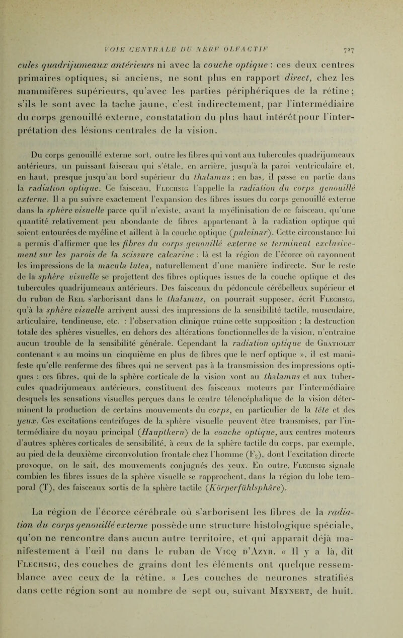 OIE CE y, T H \LE DU y EUE OLFACTIF Cilles quadrijumeaux antérieurs ni avec la couche optique : ces deux centres primaires optiques, si anciens, ne sont plus en rapport direct, chez les mainmiCères supérieurs, qu’avec les parties périphériques de la rétine ; s’ils le sont avec la tache jaune, c’est indirectement, par l’intermédiaire du coi'ps ^enouillé externe, constatation du plus haut intérêt pour l’inter- prétation des lésions centrales de la vision. Du corps gcnouilic ('\lcrno soi l, outre les lil)res(pii \onl aux luhercules cpiadrijumeaux antérieurs, un puissant faisceau cpii s’étale, eu arrière, jusfpi’à la paroi xentriculaire et, eu haut, presque jusc[u’au bord siqunieur du l/inhimiis -, eu bas, il passe eu partie dans la radÎHlion optique. Ce faisceau, l'’i,i;r,iisu; l’appelle la radiation du corps (jenouillé externe. Il a pu suivre exactement l’ex|)ausiou des libres issues du corps geuouillé externe dans la sphère visuelle parce qu’il ii’existe, avant la unébuisatiou de ce faisceau, qu’une (piaiitité relativement peu abondaute de libres a|)parteuaiit à la radiation optique qui soient entourées de myéline et aillent à la couche opiicjue Qndvinar'). Cette circonstance lui a permis d’aflirmer que les fibres du corps (/enouillé externe se terminent e.rclusire- ment sur les parois de la scissure calcarine : là est la région de l’éeorce oii rayonnent les impressions de la macula lutea, naturellemeul d’une manière indirecte. Sur le reste de la sphère visuelle se projettent des libres optiques issues de la couche optique et des tubercules c[uadrijumeaux antérieurs. Des faisceaux du pédoncule cérébelleux supérieur et du ruban de Keil s’arborisant dans le thalamus, on pourrait supposer, écrit Fleciisk;, (pi’à la sphère visuelle arrivent aussi des impressions de la sensibilité tactile, musculaire, articulaire, tendineuse, etc. ; l’obsccxation clinique ruine celte supposition ; la destruction totale des sphères visuelles, en dehors des altérations fonctionnelles de la vision, n’entraine aticun trouble de la sensibilité générale. Cependant la radiation optique de Giivïiolet contenant « au moins un cinquième en plus de libres que le nerf optique », il est mani- feste qu’elle renferme des libres qui ne servent pas à la Iransmission des Im[)re.ssIons opti- ques ; ces libres, qui de la sphère corticale de la vision vont au thalamus et aux tidjer- cules (piadrijumeaux antérieurs, constituent des faisceaux moteurs par l’intermédiaire desquels les sensations visuelles perçues dans le centre télencépbalique de la vision déter- minent la |)roduction de certains mouvements du corps, en particulier de la tête et des ijeux. Ces excitations centrifuges de la sphère visuelle peuvent être transmises, par l’In- termédiaire du noyau principal ÇHauptkern') de la couche optique, aux centres moteurs d’autres s[)bères corticales de sensibilité, à eeux de la sphère tactile du corps, par exemple, au pied de la deuxième circonvolution frontale chez riiomme (l's), dont l’excitation directe jirovoque, on le sait, des mouvements conjugués des yeux. En outre, Flec.iisig signale combien les libres issues de la sphère visuelle se rapprochent, dans la région du lobe tem- poral (T), des faisceaux sortis de la sphère tactile ÇKôrperfühlsphare). La région de l’écorce cérébrale où s’arltorisenl les libres d(' la radia- tion du corps qenouilléexterne possède une struclure histologi(|ue spéciale, (pi’on ne rencontre dans aucun autre territoire, et (pii apparaît déjà ina- nireslenient à l’ccil nu dans le ruban de Viccy n’Azvn. e 11 y a là, dit l’i.Kcnsn;, ch's couches de grains dont les éléments ont ([uehpie ressem- l)lanc(' av('c ceux de la rétine. » Les couches d(' neuiones straliliés dans celte région sont au nombre de sc|)l ou, suivant Meyxkut, de huit.