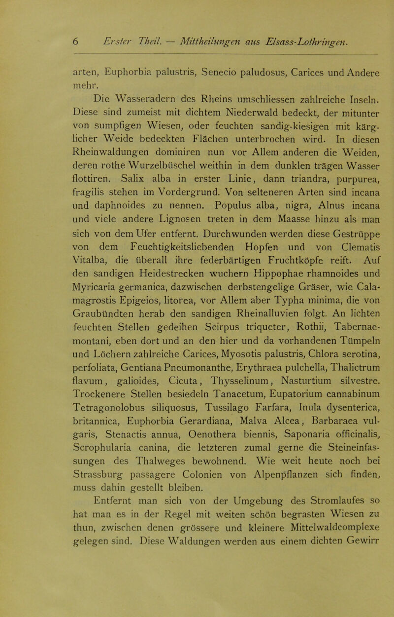 arten, Euphorbia palustris, Senecio paludosus, Carices und Andere mehr. Die Wasseradern des Rheins umschliessen zahlreiche Inseln. Diese sind zumeist mit dichtem Niederwald bedeckt, der mitunter von sumpfigen Wiesen, oder feuchten sandig-kiesigen mit kärg- licher Weide bedeckten Flächen unterbrochen wird. In diesen Rheinwaldungen dominiren nun vor Allem anderen die Weiden, deren rothe Wurzelbüschel weithin in dem dunklen trägen Wasser flottiren. Salix alba in erster Linie, dann triandra, purpurea, fragilis stehen im Vordergrund. Von selteneren Arten sind incana und daphnoides zu nennen. Populus alba, nigra, Ainus incana und viele andere Lignosen treten in dem Maasse hinzu als man sich von dem Ufer entfernt. Durchwunden werden diese Gestrüppe von dem Feuchtigkeitsliebenden Hopfen und von Clematis Vitalba, die überall ihre federbärtigen Fruchtköpfe reift. Auf den sandigen Heidestrecken wuchern Hippophae rhamnoides und Myricaria germanica, dazwischen derbstengelige Gräser, wie Cala- magrostis Epigeios, litorea, vor Allem aber Typha minima, die von Graubündten herab den sandigen Rheinalluvien folgt. An lichten feuchten Stellen gedeihen Scirpus triqueter, Rothii, Tabernae- montani, eben dort und an den hier und da vorhandenen Tümpeln und Löchern zahlreiche Carices, Myosotis palustris, Chlora serotina, perfoliata, Gentiana Pneumonanthe, Erythraea pulchella, Thalictrum flavum, galioides, Cicuta, Thysselinum, Nasturtium silvestre. Trockenere Stellen besiedeln Tanacetum, Eupatorium cannabinum Tetragonolobus siliquosus, Tussilago Farfara, Inula dysenterica, britannica, Euphorbia Gerardiana, Malva Alcea, Barbaraea vul- garis, Stenactis annua, Oenothera biennis, Saponaria officinalis, Scrophularia canina, die letzteren zumal gerne die Steineinfas- sungen des Thalweges bewohnend. Wie weit heute noch bei Strassburg passagere Colonien von Alpenpflanzen sich finden, muss dahin gestellt bleiben. Entfernt man sich von der Umgebung des Stromlaufes so hat man es in der Regel mit weiten schön begrasten Wiesen zu thun, zwischen denen grössere und kleinere Mittelwaldcomplexe gelegen sind. Diese Waldungen werden aus einem dichten Gewirr