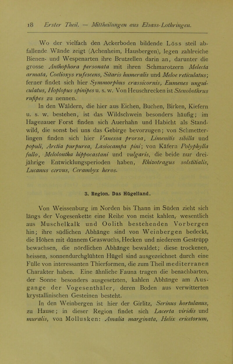 Wo der vielfach den Ackerboden bildende Löss steil ab- fallende Wände zeigt (Achenheim, Hausbergen), legen zahlreiche Bienen- und Wespenarten ihre Brutzellen darin an, darunter die grosse Anthophora personata mit ihren Schmarotzern Melecta armata, Coelioxys rufescens, Sitaris humeralis und Meloe reticulatus; ferner findet sich hier Symmorphus crassicornis, Eumenes ungui- culatus, Hoplopus spinipes u. s. w. Von Heuschrecken ist Stenobothrus rufipes zu nennen. In den Wäldern, die hier aus Eichen, Buchen, Birken, Kiefern u. s. w. bestehen, ist das Wildschwein besonders häufig; im Hagenauer Forst finden sich Auerhahn und Habicht als Stand- wild, die sonst bei uns das Gebirge bevorzugen; von Schmetter- lingen finden sich hier Vanessa prorsa, Limenitis sibilla und populi, Arctia pur pur ea, Lasiocampa pini; von Käfern Polyphylla fullo, Melolontha hippocastani und vulgaris, die beide nur drei- jährige Entwicklungsperioden haben, Rhizotragus solstitialis, Lucanus cervus, Cerambyx heros. 3. Region. Das Hügelland. Von Weissenburg im Norden bis Thann im Süden zieht sich längs der Vogesenkette eine Reihe von meist kahlen, wesentlich aus Muschelkalk und Oolith bestehenden Vorbergen hin; ihre südlichen Abhänge sind von Weinbergen bedeckt, die Höhen mit dünnem Graswuchs, Hecken und niederem Gestrüpp bewachsen, die nördlichen Abhänge bewaldet; diese trockenen, heissen, sonnendurchglühten Hügel sind ausgezeichnet durch eine Fülle von interessanten Thierformen, die zum Theil mediterranen Charakter haben. Eine ähnliche Fauna tragen die benachbarten, der Sonne besonders ausgesetzten, kahlen Abhänge am Aus- gange der Vogesenthäler, deren Boden aus verwitterten krystallinischen Gesteinen besteht. In den Weinbergen ist hier der Girlitz, Serinus hortulanus, zu Hause; in dieser Region findet sich Lacerta viridis und muralis, von Mollusken: Amalia inarginata, Helix ericetorum,