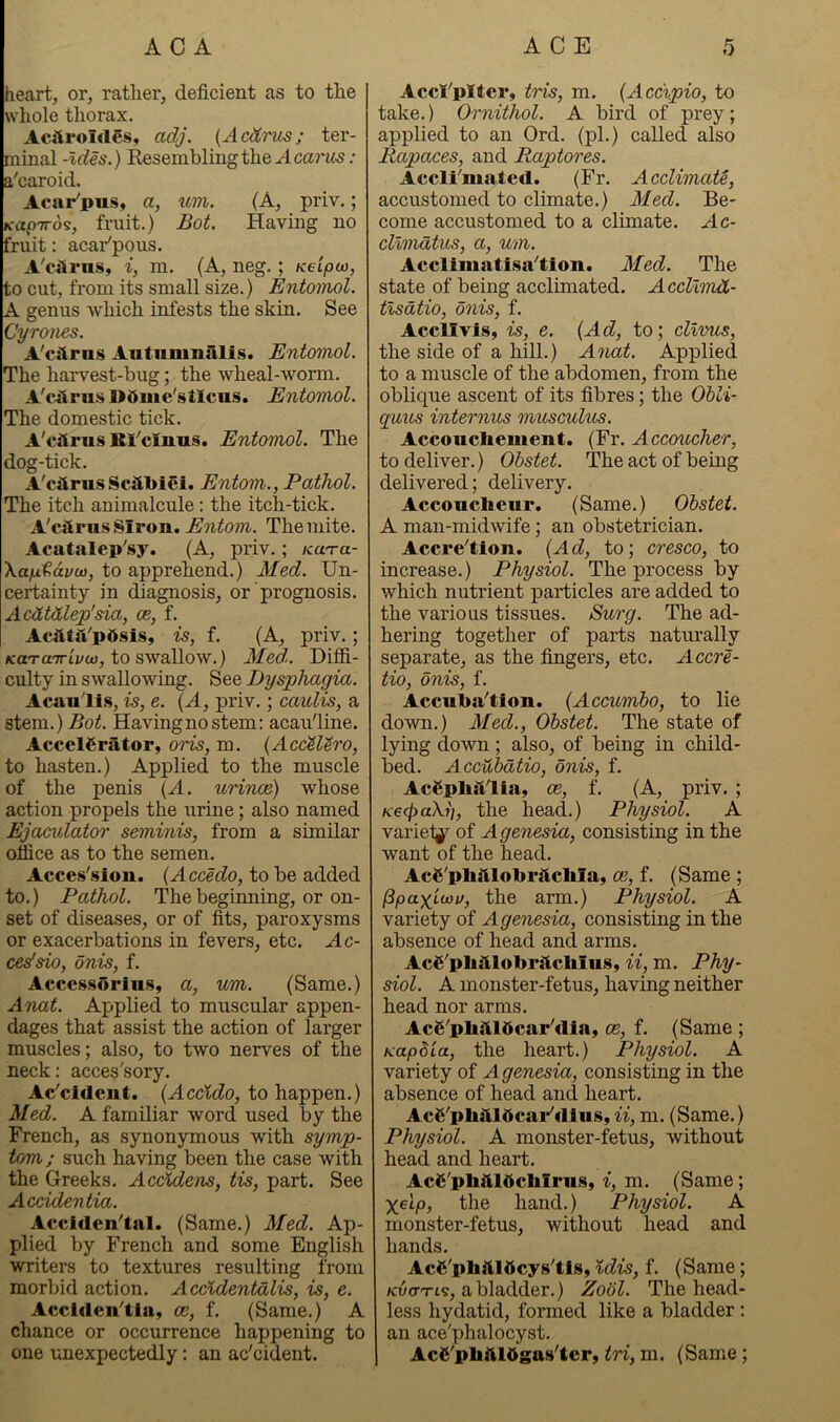 heart, or, rather, deficient as to the whole thorax. Acftroirtes, adj. {Acdrus; ter- minal -Ides.) Resembling the A canis; a'caroid. Acar'pus, a, um. (A, priv.; KixpTrds, fruit.) Boi. Having no fruit: acar'pous. A'cSrus, i, m. (A, neg.; Ktipo), to cut, from its small size.) Entojnol. A genus which infests the skin. See Cyrones. A'carus Aatumnalis. Entomol. The harvest-bug; the wheal-worm. A'cilrus Dbme'stlcus. Entomol. The domestic tick. A'ciirns Bl^'clnus. Entomol. The dog-tick. A'carus Sc;tl>iei. Entom., Pathol. The itch animalcule: the itch-tick. A'cjlrusSiron. The mite. Acatalep'sy. (A, priv.; KU'ra- Xafxtdvui, to apprehend.) Med. Un- certainty in diagnosis, or prognosis. Acdtdlep'sia, ce, f. AciltiVpdsis, is, f. (A, priv.; KaTairivu}, to swallow.) Med. Diffi- culty in swallowing. See Dysphagia. Acaulls, is, e. {A, priv.; caulis, a stem.)Ro<. Having no stem: acau'line. Accelerator, oris, m. {AccUtro, to hasten.) Applied to the muscle of the penis {A. urinoe) whose action propels the urine; also named Ejaculator seminis, from a similar office as to the semen. Acces'sion. {Accedo, to be added to.) Pathol. The beginning, or on- set of diseases, or of fits, paroxysms or exacerbations in fevers, etc. Ac- cedsio, onis, f. Acccssorlu.s, a, um. (Same.) Anat. Applied to muscular appen- dages that assist the action of larger muscles; also, to two nerves of tlie neck: acces'sory. Ac'cidciit. (Accicio, to happen.) Med. A familiar word used by the French, as synonymous with symp- tom; such having been the case with the Greeks. Accldens, tis, part. See Accidentia. Accidcn'tal. (Same.) Med. Ap- plied by French and some English writers to textures resulting from morbid action. Accldentalis, is, e. Acciden'tia, ce, f. (Same.) A chance or occurrence happening to one unexpectedly: an ac'cident. Accl''pltcr, tris, m. (Accipio, to take.) Ornithol. A bird of prey; applied to an Ord. (pi.) called also Rapaces, and Raptores. Accli^matcd. (Fr. Acclimate, accustomed to climate.) Med. Be- come accustomed to a climate. Ac- clvmatus, a, um. Acclimatisa^tion. Med. The state of being acclimated. Accllindl- tlsdtio, onis, f. Accllvis, is, e. {Ad, to; cllmis, the side of a hill.) Anat. Applied to a muscle of the abdomen, from the oblique ascent of its fibres; the Ohli- quics internus musculus. Accouclieiuent. (Fr. Accoucher, to deliver.) Ohstet. The act of being delivered; delivery. Accoucheur. (Same.) Ohstet. A man-midwife; an obstetrician. Accre'tion. {Ad, to; cresco, to increase.) Physiol. The process by which nutrient particles are added to the various tissues. Surg. The ad- hering together of parts naturally separate, as the fingers, etc. Accre- tio, onis, f. Accuha'tion. {Accumho, to lie down.) Med., Ohstet. The state of lying down ; also, of being in child- bed. Accuhdtio, onis, f. AeSphitlia, ce, f. (A, priv. ; KeepaXi], the head.) Physiol. A variei^'- of Agenesia, consisting in the want of the head. AcS'phitlohr^chla, ce, f. (Same ; (3pax_Lwu, the arm.) Physiol. A variety of Agenesia, consisting in the absence of head and arms. AcS^phitlobritchius, ii, m. Phy- siol. A monster-fetus, having neither head nor arms. AcS^ph^ildcartdla, ce, f. (Same ; Kapdia, the heart.) Physiol. A variety of Agenesia, consisting in the absence of head and heart. AcC'plisUftcartdlus, ii, m. (Same.) Physiol. A monster-fetus, without head and heart. Ac^^'plijlldclilrus, i, m. (Same; Xmp, the hand.) Physiol. A monster-fetus, without head and hands. AcS'phftlficys'tls, %dis, f. (Same; Kuo-Tts, a bladder.) Zool. The head- less hydatid, formed like a bladder : an ace'phalocyst. Ac^'pliftlOgas'tcr, tri, m. (Same;
