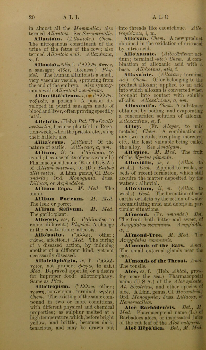 in almost all the Mammalia; also termed A llantols. SeeSarciminalis. Allaiitoin. {Allantois.) Chem. Tlie nitrogenous constituent of the urine of tlie fetus of the cow; also tenned A llantoic acid. A llantoHma, f. Allantois, (’AX.X59, av-ro?, a sausage; el^os, likeness.) Phy- siol. The human allantois is a small, very vascular vesicle, sprouting from the end of the embryo. Also synony- mous with A llantoid membrane. AllaiiT5t5'xIcnm, i, n^ (’AXXas; 'To^iKov, a poison.) A poison de- veloped in putrid sausages made of blood and liver, often proving speedily fatal. Allelu'la. (Heb.) Bot. The OxaZw acetosella, because plentiful in Roga- tion-week, when the priests, etc., sung their hallelujahs. Allla'ceons. {Allium.) Of the nature of garlic. A llidceus, a, um. Aninm, ii, n. {’AXeo/xai,- to avoid; because of its offensive smell.) Pharmacopoeialname (E. andU.S.A.) of Allium sativum, or (D.) Bulbus aim sativi. A Linn, genus. Cl. Hex- andria; Ord. Monogynia. Juss. Liliacce, or A sphodelece. Alliuni €epa. M. Med. The onion. Allinni Por'rum. M. Med. Tlie leek or porret. Allium Siitivum. M. Med. The garlic plant. All€eu.sis, eos, f. (’AXXoiow, to render different.) Physiol. A change in the constitution; alleo'sis. Allo'patliy. (AXXos, other; 7rd0os, affection.) Med. The curing of a diseased action, by inducing another of a different kind, yet not necessarily diseased. AllotrlOpliiVgia, ce, f. (’AXXd- -rpios, not proper; ipayw, to eat.) Med. Depraved appetite, or a desire for improper food; allotrio'phagy. Same as Pica. Allolropism. (’'AXXos, other; T-poTn';, conversion; terminal-icr/ixds.) Chem. The existing of the same com- pound in two or more conditions, with different physical and chemical properties; as sulphur melted at a Iiigh temperature, which,before bright yellow, and brittle, becomes dark, tenacious, and may be drawn out into threads like caoutchouc. A llo- trdjjidmus, i, m. All</xsin. Chem. A new product obtained in the oxidation of uric acid by nitric acid. Allf/xuiiate. {Alloxdnlcum aci- dum ; terminal-«<c.) Chem. A com- bination of alloxanic acid with a base. A llo'o:dnas, atis, f. Alloxa'nlc. {Alloxan; terminal -ic.) Chem. Of or belonging to the product alloxan; applied to an acid into which alloxan is converted when brought into contact with soluble alkalis. Alloxd'nlcus, a, um. Alloxanti'u. Chem. A substance obtained by boiling and evaporating a concentrated solution of alloxan. Alloxantlna., ce, f. Alloy. (Fr. Aloyer, to mix metals.) Chem. A combination of any two metals, excepting mercur>% etc., the least valuable being called the alloy. See Amalgam. AH'splce. M. Med. The fruit of the Myrtuspimenta. Allurialls, is, e. {Alluo, to wash.) Geol. Applied to rocks, or beds of recent formation, which still acquire the matter deposited by the waters : alluVial. Allu'vium, ii, n. {Alluo, to wash.) Geol. The formation of new earths or islets by the action of water accumulating mud and debris in par- ticular situations. Armoncl. (Fr. amande.) Bot. The fruit, both bitter and sweet, of Amygdalus communis. Amy^ddla, ce, f. Al'moud-Tree. M. Med. Tlie Amygdalus communis. Al'monds of the Ear.s. Anat. The small external glands near tlie ears. Al'monds of the Throat. Anat. The tonsils. Aloe, es, f. (Heb. Ahlah, grow- ing near the sea.) Phamiacopoeial name (U.S.A.) of the Aloe sphcata. Al. Socotrina, and other .species of aloe. A Linn, genus, Cl. Ilexandria; Ord. Monogynia-; Juss. Liliacece, or Hemerocalleae. Aloe Itarhi1den'.si.s. Bot., M- Med. Pharmacopoeial name (L.) of Barbadoes aloes, or inspissated juice of the cut leaf of the A loe vulgans. Aloe Ut^iiA'tlca. Bot., M. Med-