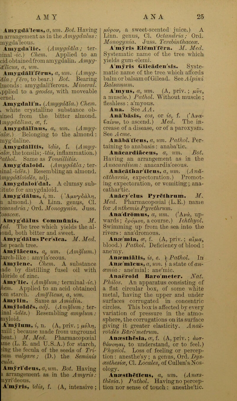 Aiuyg<li1'leHS,a,w7?i. Bot. Having n arraugenieut as in Amygdalus: mygda'leoiis. Ainygda'Iic. {AmygdMa; ter- liiial -ic.) Chevi. Applied to an cid obtainedfrom amygdalin. Amyg- 'd'licus, a, vm. Ainygrtjill'fCrus, a, um. {A onyg- ;/^ro, to bear.) Bot. Bearing luionds: amygdali'ferons. Mineral. ipplied to a geodes, with moveable emel. Amygdali'n. {Amygddla.) Chem. L white crystalline substance ob- lined from the bitter almond. imygddtina, oe, f. Aiiiygditliiuis, a, um. {Amyg- ala:.) Belonging to the almond : myg'daline. Amyg<liiliti.s, Kdis, f. {Amyg- the tonsils; -Uis, inflammation.) ^athol. Same as Tonsillitis. Aniyg^daloid. {Amygddla; ter- linal -Ides.) Resembling an almond. [mygddloldes, adj. Aniygdaloi'dal. A clmnsy sub- dtiite for amygdaloid. Aiiiyg^dillns, i, m. ('Afxvy8a\i], 1 almond.) A Linn, genus, Cl. zosand'idct; Ovd. Monogynia. Juss. '.osacece. Amyg'dalns Coninilinig. AI. led. The tree which yields the al- lond, both bitter and sweet. Amyg/dainsPer'sIca. AI. Afed. he peach tree. A]nylaceii.s, um. {Amylum.) tarch-like : amyla'ceous. Amylene. Chem. A substance ;ade by distilling fusel oil with doride of zinc. Amy'lic. {Amylum; terminal-ic.) hem. Applied to an acid obtained om starch. Am^licus, a, um. Aniylin. Same as Amidin. AniyloidSs, adj. {Amylum; ter- mA-Ides.) Resembling amylum: myloid. A'niyliim, i, n. (A, priv.; gvXri, mill; because made from unground heat.) A[. Aled. Pharmacopoeial ime (L. E. and U.S.A.) for starch, nng the fecula of the seeds of Tri- oum vulgare; (D.) the Berninis cula. Amj^rl'deus, a, wm. Bot. Having 1 arrangement as in the Amyris: nyri'deous. A'mji'rls, \dAs, f. (A, intensive ; fjivpov, a sweet-scented juice.) A Linn, genus, Cl. Octandria; Ord. Alonogynia. Juss. Terebinthacece. A'myris ElCmPfera. AI. Aled. Systematic name of the tree which yields guni-elemi. A'myris Gllcjtden'sis. Syste- matic name of the tree which affords balm or balsam of Gilead. See A Ipini Balsamum. A'myiis, a, um. (A, priv.; a muscle. ) Pathol. Without muscle ; fleshless: a'myous. Ana. See A A. Aiiit'bitsis, eos, or is, f. {’Ava- taivui, to ascend.) Med. The in- crease of a disease, or of a paroxysm. See A erne. AiiitbiVtlcns, a, um. Pathol. Per- taining to anabasis: anaba'tic. Aiiilcardiacensy a, um. Bot. Having an arrangement as in the Anacardium: anacardia'ceous. Aniicsitliar'tlcus, a, um. {And- cdtharsis, expectoration.) Promot- ing expectoration, or vomiting; ana- cathar'tic. Aiiftcy'clns Pyretbrum. M. Aled. Pharmacopoeial (L.E.) name for A nthemis Pyrethrum. Ana'drOmus, a, um. {’Avd, up- wards ; dpogo^, a course.) Ichthyol. Swimming up from the sea into the rivers: ana'dronious. Anse'mia, ce, f. (A, priv.; alga, blood. ) Pathol. Deficiency of blood : ane'my. AnsemialiSy is, e. )• Pathol. In Anse'mlcns, a, um. j a state of an- aemia: ane'mial: ane'mic. Anaiiroid Baro'meter. Nat. Philos. An apparatus consisting of a flat circular box, of some white metal, having the upper and under surfaces corrugated in concentric circles. This box is affected by every variation of pressure in the atmo- sphere, the corrugations on its surface giving it greater elasticity. Anae- roxdes Bdrd'metrum. Anaesthesia, ce, f. (A, priv.; di<r- Qdvor\aL, to understand, or to feel.) Physiol. Loss of feeling or percep- tion : anesthe'sy; a genus, Ord. Pys- cesthesice. Cl. Locales, of Cullen’s Nos- ology. AnscsthStlciis, a, um. {Anaes- thesia.) Pathol. Having no percep- tion nor sense of touch: anesthe'tic.