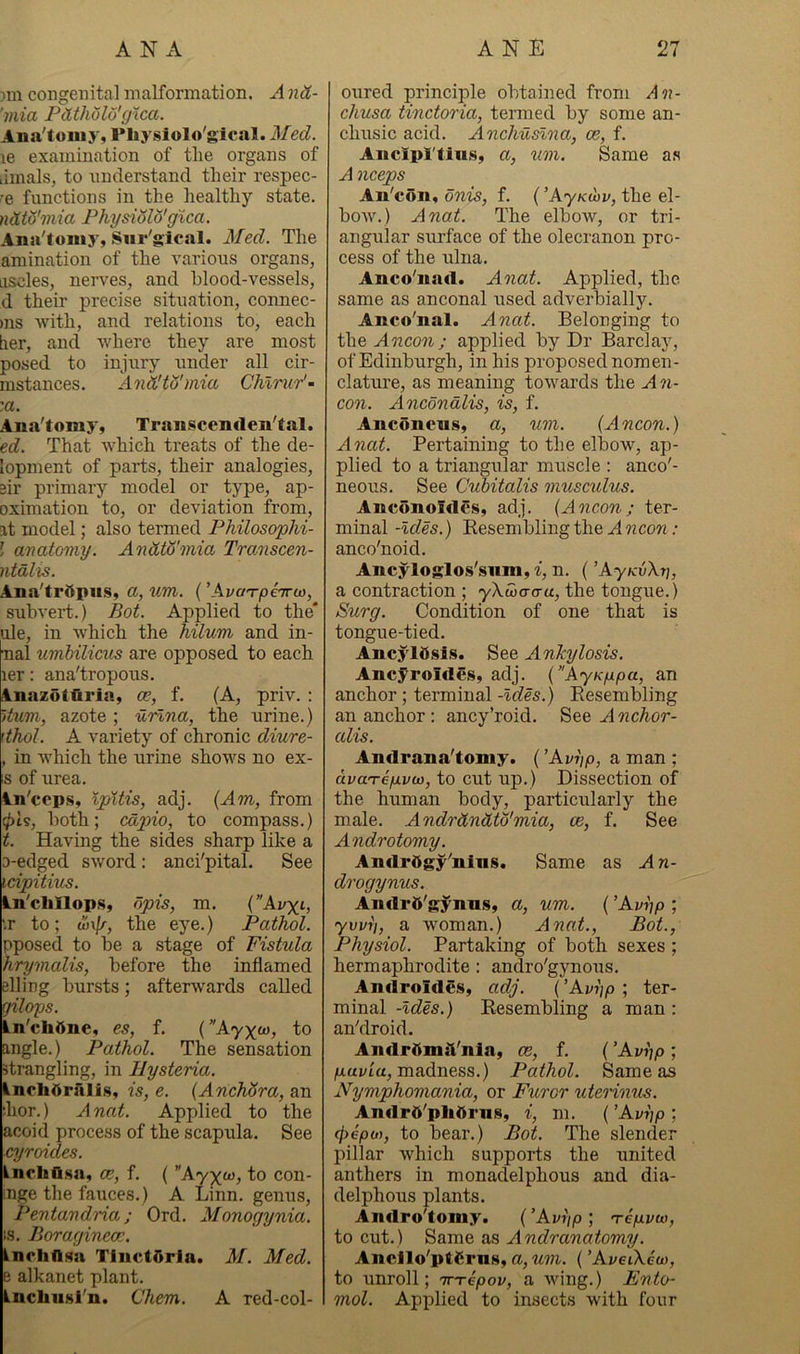 )in congenital malformation. A nd- 'mia Pdthold'gica. Ana'toMiy, Pliysiolo'gical. 3Ied. le examination of the organs of iiinals, to understand their respec- re functions in the healthy state. ndtS'mia Fhysidlo'gica. Ana'toiiiy, Siir'gical. Med. The amination of the various organs, ascles, nerves, and blood-vessels, d their precise situation, connec- >ns with, and relations to, each tier, and where they are most posed to injury under all cir- mstances. And'to'mia Chlrtir'- :a. Ana'fomy, Traiiscemlen'tal. ed. That which treats of the de- lopment of parts, their analogies, sir primary model or type, ap- oximation to, or deviation from, at model; also termed Philosophi- l anatomy. Andto'mia Tromscen- ntdlis. Ana'trdpiiS, a, urn. (’AvaTpeira), subvert.) Bot. Applied to the* <jJe, in which the hilum and in- nal umbilicus are opposed to each ler: ana'tropous. Inazotliria, ce, f. (A, priv. : Hum, azote ; umna, the urine.) \thol. A variety of chronic diure- , in which the urine shows no ex- is of urea. in'ceps, Ipitis, adj. (Am, from (^Is, both; cdpio, to compass.) t. Having the sides sharp like a D-edged sword: anci'pital. See icipitius. in'chllops, dpis, m. {’'Avxh '.r to; w\j/, the eye.) Pathol. pposed to be a stage of Fistula hrymalis, before the inflamed elling bursts; afterwards called gilops. Ln'chdne, es, f. (”Ayxo>, to angle.) Pathol. The sensation 3trangling, in Hysteria. Inchdralia, is, e. (ArichAra, an ;hor.) A not. Applied to the acoid process of the scapula. See cyroides. IncliQ.sa, oe, f. (to con- inge the fauces.) A Linn, genus, Pentandria; Ord. Monogynia. IS. Boragineoc. Lnrha.sa TluctOrla. M. Med. e alkanet plant. Incliusi'n. Chem. A red-col- oured principle obtaiiied from An- chusa tinctoria, termed by some an- chusic acid. Anchuslna, ce, f. Aiicipl'tius, a, xim. Same a.s A nceps Au'con, dnis, f. ( ’Ajkwv, the el- boAv.) Anat. The elbow, or tri- angular surface of the olecranon pro- cess of the ulna. Anco'iiad. Anat. Applied, the same as anconal used adverbially. Anco'nal. Anat. Belonging to theyl72CO?iy applied by Dr Barclay, of Edinburgh, in his proposed nomen- clature, as meaning towards the An- con. Ancdndlis, is, f. Anconeus, a, um. {Ancon.) Anat. Pertaining to the elbow, ap- plied to a triangular muscle : anco'- neous. See Crditalis musculus. Anconoides, adj. (Ancon; ter- minal -Ides.) Eesembling the A neon : anco'noid. Ancyloglos'snm, i, n. (’AyKvXrj, a contraction ; yXwaa-u, the tongue.) Surg. Condition of one that is tongue-tied. AncylOsis. See Ankylosis. Ancyroldes, adj. {”AyKypa, an anchor ; terminal -Ides.) Eesembling an anchor ; ancy’roid. See A nchor- alis. Andrana'tomy. (’AW/p, a man ; dvaTepLvu), to cut up.) Dissection of the human body, particularly the male. Andrdncttd'mia, ce, f. See Androtomy. Andrdgy^nins. Same as An- drogynus. AndrO'gynns, a, um. (’AW;p ; yvvri, a Avoman.) Anat., Bot., Physiol. Partaking of both sexes ; hermaphrodite : andro'gynous. Androidcs, adj. (’Avi]p ; ter- minal -Ides.) Eesembling a man : an'droid. AndrOm^l'nla, ce, f. (’Avi]p ; pallia, madness.) Pathol. Same as Nymphomania, or Furor uterinus. Andrd'pliOriis, i, m. (’Ayt;p ; (j)epo), to bear.) Bot. The slender pillar Avhich supports the united anthers in monadelphous and dia- delphous plants. Altdro toniy. (’Aviip ; n-eyvai, to cut.) Same as Andranatomy. Ancllo'pt^iras, a, um. (’AveiXcu), to unroll; nr-repov, a Aving.) Ento- mol. Applied to insects with four