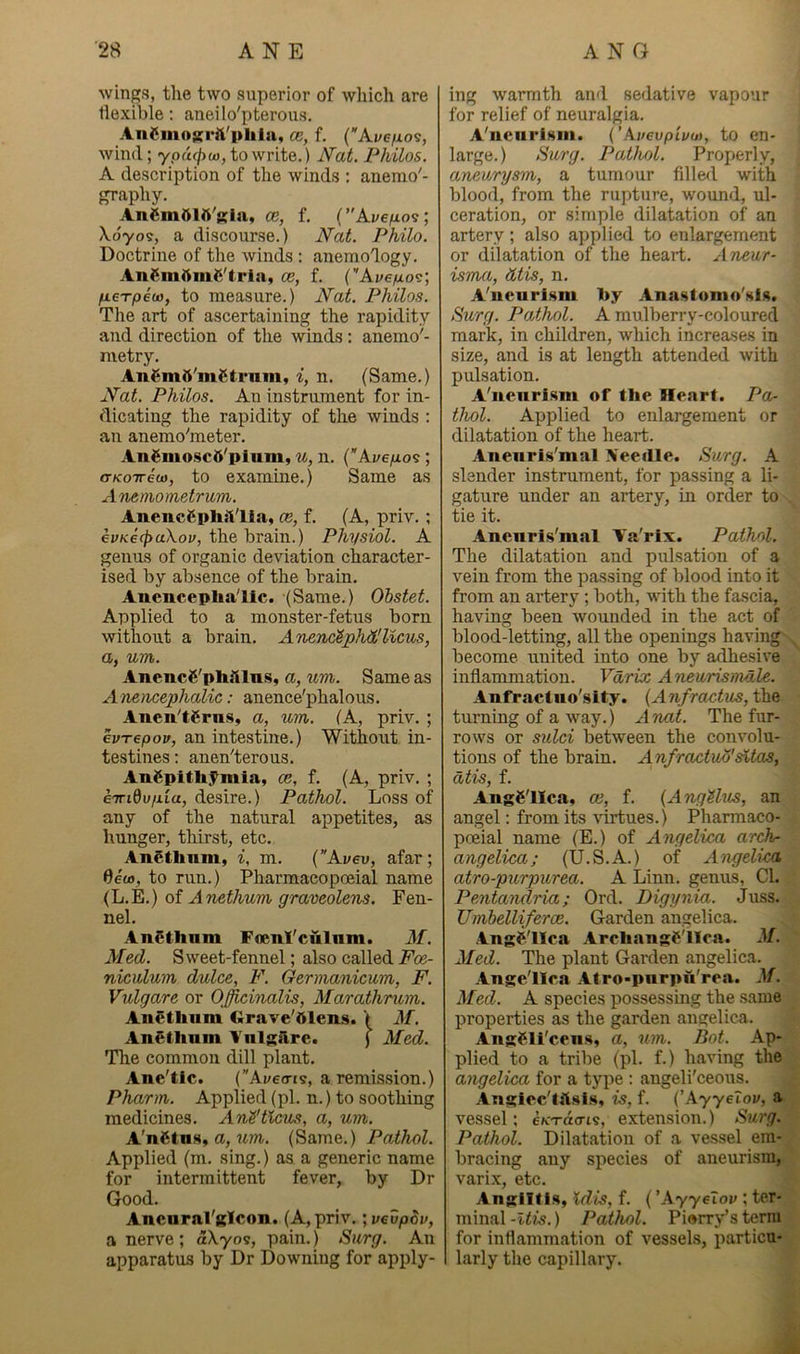 wings, the two superior of which are tlexible: aneilo'pterous. AnCmoKi'ft'plila, ce, f. {Ave/io?, wind; ypucjya), to write.) N'at. Philos. A description of the winds : anemo'- graphy. AnCmOlA'Kia, ce, f. (’'Aye^ios; \oyos, a discourse.) Nat. Philo. Doctrine of the winds : anemology. AnSmAmC'tria, ce, f. (Ai/e/uof!; fteTpeu), to measure.) Nat. Philos. The art of ascertaining the rapidity and direction of the winds : anemo'- nietry. AnSmO'mStrnm, i, n. (Same.) Nat. Philos. An instrument for in- dicating the rapidity of the winds : an anemo^meter. AnSmoscS'piam, u, n. (Avefios ; GKoireua, to examine.) Same as Anemometrum. Anenc£phiVlia, ce, f. (A, priv. ; ewKef^ciXoi;, the brain.) Physiol. A genus of organic deviation character- ised by absence of the brain. Anencepha'lic. (Same.) Obstet. Applied to a monster-fetus born without a brain. AnencSphtClicus, a, um. AnencS'pliiUns, a, um. Same as A nencephalic: anence'phalous. Anen'tCrns, a, um. (A, priv. ; evTepov, an intestine.) Without in- testines : anen'terous. Angpith^mia, ce, f. (A, priv. ; eiridv/xia, desire.) Pathol. Loss of any of the natural appetites, as hunger, thirst, etc. AnStlmm, i, m. {”Avev, afar; 6ea>, to run.) Pharmacopoeial name (L.E.) of Anethum graveolens. Fen- nel. AnSthnm Fflenl'culnm. M. Med. Sweet-fennel; also called Foe- niculum dulce, F. Germanicum, F. Vulgare or Officinalis, Marathrum. Anetlinm Grave'51ens. > M. AnStlmm Vnlgiire. ) Med. The common dill plant. Ane'tic. (Ayecris, a remission.) Pharm. Applied (pi. n.) to soothing medicines. AnS'tiau<t, a, um. A'nMnHf a, tim. (Bame.) Pathol. Applied (m. sing.) as a generic name for intermittent fever, by Dr Good. Ancural'glcon. (A, priv.; vevpSv, a nerve; aXyos, pain.) Surg. An apparatus by Dr Downing for apply- ing warmth and sedative vapour for relief of neuralgia. A'liciirlsiii. i’Ai/evpLvo), to en- large.) Surg. Pathol. Properly, aneurysm, a tumour fdled with blood, from the rupture, wound, ul- ceration, or simple dilatation of an artery; also applied to enlargement or dilatation of the heart. A-mur- isma, tUis, n. A'lieurlsm 1>y Anastomo'sls. Surg. PoPhol. A mulberry-coloured mark, in children, which increases in size, and is at length attended with pulsation. A'nenrism of the Heart. Pa- thol. Applied to enlargement or dilatation of the heart. Aneiiris'mal Needle. Surg. A slender instrument, for passing a li- gature under an artery, in order to tie it. Anenris'mal Va'rix. Pathol. The dilatation and pulsation of a vein from the passing of blood into it from an artery ; both, with the fa.scia, having been wounded in the act of blood-letting, all the openings having become united into one by adhesive inflammation. Vdrix Aneurismale. Anfractuo'sity. {Anfractus,t]iQ turning of a way.) A nat. The fur- rows or sulci between the convolu- tions of the brain. Anfractuo'sUas, at%s, f. Angelica, ce, f. {AngUus, an angel: from its virtues.) Pharmaco- poeial name (E.) of Angelica arch- angelica; (U.S.A.) of Angelica atro-purpurea. A Linn, genus, Cl. Pentandria; Ord. Digynia. Juss. Umbelliferce. Garden angelica. Angelica Arcliangellca. M. Med. The plant Garden angelica. Angelica Alro-pnrpn'rca. M. Med. A species possessing the same properties as the garden angelica. Angeii'cens, a, um. Bot. Ap- plied to a tribe (pi. f.) having the angelica for a type ; angeli'ceous. Anglcclilsi.s, is, f. {'.Ayyelov, a vessel; eKT-do-is, extension.) ISurg. Pathol. Dilatation of a vessel em- bracing any species of aneurism, vari.x, etc. Angiitis, Idis, f. ('Ayyeiov ; ter- minal-i<ts.) Pathol. Piorry’sterm for inflammation of vessels, particu- larly the capillary.