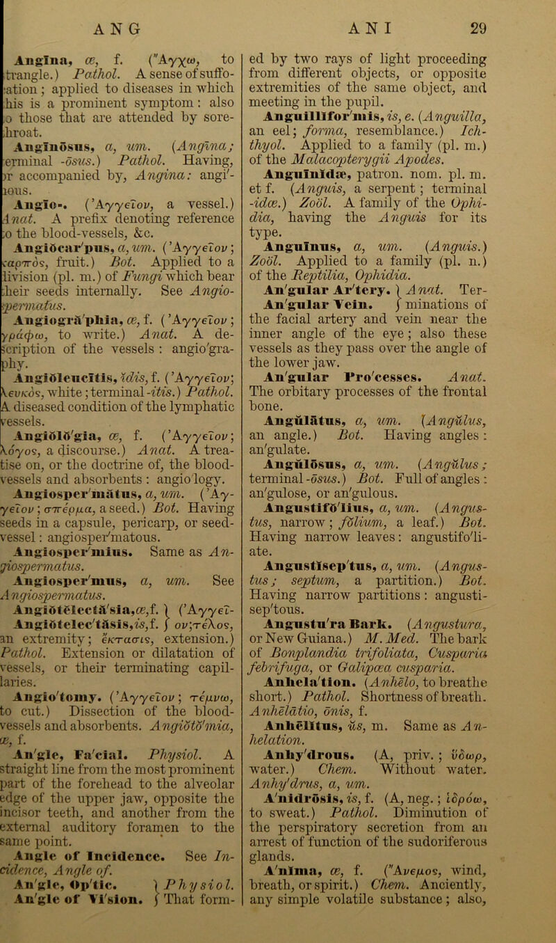 Aiiglnn, a, f. C'Ayx^j 'to ti'angle.) Pathol. A sense of siiffo- lation ; applied to diseases in which his is a prominent symptom; also 0 those that are attended by sore- hroat. Aug'iuOsiiSy a, um. {Angina; emiinal -osns.) Pathol. Having, )r accompanied by, Angina: angi'- lOUS. Aug'iO'i {’ k.yyeiov, a vessel.) Anat. A prefix denoting reference ;o the blood-vessels, &c. AugiOear'pus, a, um. ('Ayyelov; iapiroi, fruit.) Bot. Applied to a iivision (pi. m.) of which bear ;heir seeds internally. See Angio- ipemtiatus. Angiognl'pliia, ce, f. (’Ayyelov ; ypdcpoi, to write.) Anat. A de- scription of the vessels : angio'gra- phy- AngiOlencitis,f. (’Ayyelov; Veu/cds, white; terminal -itis.) Pathol. A diseased condition of the lymphatic vessels. Angi516'gia, ce, f. (’Ayyelov; \dyo9, a discourse.) Anat. A trea- tise on, or the doctrine of, the blood- vessels and absorbents : angio logy. Augiospei’'matiiS) a, um. (’Ay- 7erov;o-7ref)/ia, aseed.) Bot. Having seeds in a capsule, pericarp, or seed- vessel : angiosper'matous. Augiospei''mius. Same as An- giospermatus. Angiosper'miis, a, um. See d ngiospermatus. AngiOteicctsVsia,ce,f. ') (’Ayyel- AngiOfelec'tasis,w,f. j oi;;TeXos, an extremity; eK'racri^, extension.) Pathol. Extension or dilatation of vessels, or their terminating capil- laiies. Aiigio'touiy. {’Ayyelov; 're/xvaj, to cut.) Dissection of the blood- vessels and absorbents. AngiSto'mia, ce, f. Aii'gle, Fa'cial. Physiol. A straight line from the most prominent part of the forehead to the alveolar edge of the upper jaw, opposite the incisor teeth, and another from the external auditory foramen to the same point. Angle of Incidence. See In- cidence, Angle of. An'gle, Op'tle. ) Physiol. An'gle of Yi'slon. ) Tliat form- ed by two rays of light proceeding from different objects, or opposite extremities of the same object, and meeting in the pupil. Anguilllfor'iiilSyt^, e. {Anguilla, an eel; forma, resemblance.) Ich- thyol. Applied to a family (pi. m.) of the Malacopterygii Apodes. Angiilnltlse, patron, nom. pi. m, et f. {Anguis, a serpent; terminal -idee.) Zodl. A family of the Ophi- dia, having the Anguis for its type. Angulnns, a, um. (Anguis.) Zool. Applied to a family (pi. n.) of the Reptilia, Ophidia. An'gnlar Ar'tery. ) A nat. Ter- An'g'iilar Vein. j minations of the facial artery and vena near the inner angle of the eye; also these vessels as they pass over the angle of the lower jaw. An'gular Pro'cesses. Anat. The orbitary processes of the frontal bone. Angulatusy a, um. {Angulus, an angle.) Bot. Having angles : an'gulate. Angulosns, a, um. (Angulus; terminal-dms.) Bot. Full of angles : an'gulose, or an'gulous. Angu§tif5lius, a, um. (Augus- tus, ; folium, a leaf.) Bot. Having narrow leaves: angustifo'li- ate. Angustlsep'tiis, a, um. (Augus- tus ; septum, a partition.) Bot. Having narrow partitions: angusti- sep'tous. Angustn'ra Bark. (Angustura, or New Guiana.) 31.3fed. The bark of Bonplandia trifoliata, Cusparia febrifuga, or Qalipaea cusparia. Anhela'tion. (Anhelo, to breathe short.) Pathol. Shortness of breath. Anheldtio, onis, f. Anhelltus, us, m. Same as An- helation. Anliy'drous. (A, priv. ; v8u>p, water.) Chem. Without water, Anhy'dnis, a, um. A'nldrosis, is, f. (A, neg.; i^poto, to sweat.) Pathol. Diminution of the perspiratory secretion from an arrest of function of the sudoriferous glands. A'nlma, ce, f. (Ave/xos, wind, breath, or spirit.) Chem. Anciently, any simple volatile substance; also.