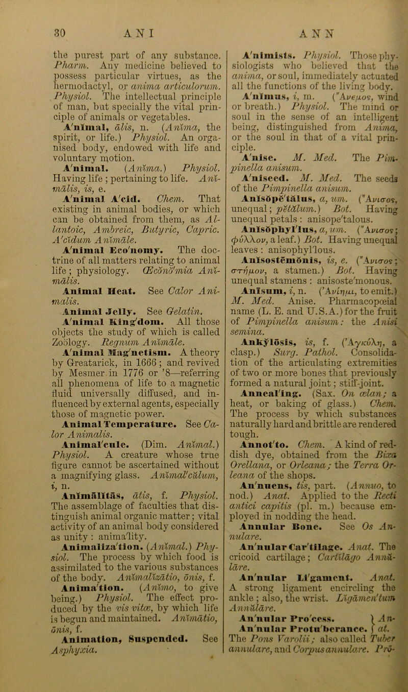the purest part of any sul)stance. Pharni. Any medicine believed to possess particular virtues, as the hermodactyl, or anima articulormn. Physiol. The intellectual principle of man, but specially the vital prin- ciple of animals or vegetables. A'liliiial, alis, n. {Anima, the spirit, or life.) Physiol. An orga- nised body, endowed with life and voluntary niotion. A'ntmnl. {Anima.) Physiol. Having life ; pertaining to life. Anl- vi'llis, is, e. A'nimal A'cid. Chem. That existing in animal bodies, or which can be obtained from them, as Al- lantoic, Amhreic, Butyric, Capric. A'cidum Animate. A'nimal Eco'nomy. The doc- trine of all matters relating to animal life ; physiology. (Econo'mia Anl- malis. Animal Heat. See Calor Ani- malis. Animal Jelly. See Gelatin. A'nimal King'dom. All those objects the study of which is called Zoology. Regnum Anlmale. A'nimal Mag'netism. A theory by Greatarick, in 1666 ; and revived by Mesmer.in 1776 or ’8—referring ail phenomena of life to a magnetic fluid universally diffused, and in- fluenced by external agents, especially those of magnetic power. Animal Temperature. See Ga- tor Animalis. AuimaTeule. (Dim. Animal.) Physiol. A creature whose true figure cannot be ascertained without a magnifying glass. Animal'culum, i, n. Anlmalitiis, atis, f. Physiol. The assemblage of faculties that dis- tinguish animal organic matter; vital activity of an animal body considered as unity: anima'lity. Animaliza'tion. {Aiilmal.) Phy- siol. The process by which food is assimilated to the various substances of the body. Anhnallzatio, onis, f. Anima'tion. {Anlvw, to give being.) Physiol. The effect pro- duced by the vis vitce, by which life is begun and maintained. A nlmatio, unvi, f. Animation, Suspended. See Asphyxia. A'nimlHts. Physiol. Those phy- siologists who believed that the anima, or soul, immediately actuated all the functions of the living body. A'nimus, i, m. (Ave/xos, wind or breath.) Physiol. The mind or soul in the sense of an intelligent being, distinguished from Anima, or the soul in that of a vital prin- ciple. A'nise. M. Med. The Pirn- pinella anisum. A'ni.sced. M. Med. The seeds of the Pimpinella anisum. AnlsOpiS'ldliis, a, um. (’Ayicros, petdlum.) Bot. Having unequal petals: anisope'taloms. AnlsOpbyTliis, a, um. (Ai/io-os; c\)v\\ov,SL\ea.i.) Bot. Having unequal leaves : anisophyllous. AulsostemOnis, is, e. {Avicro^; (TTVfxov, a stamen.) Bot. Having unequal stamens : anisoste'monous. Anisum, i, n. {’AvLt]/u, to emit.) M. Afed. Anise. Pharmacopceial name (L. E. and U.S.A.) for the fruit of Pimpinella anisum: the Anisi semina. \ Ankylosis, is, f. (’Ay/cuAtj, a clasp.) Surg. Pathol. Consolida- tion of the articulating extremities of two or more bones that previously formed a natural joint; stiff-joint. Anneal'ing. (Sax. On oelan; a heat, or baking of glass.) Chem. The process by which substances naturally hard and brittle are rendered tough. Annot'to. Chem. A kind of red- dish dye, obtained from the Bira Orellana, or Orleana; the Terra Or- leana of the shops. An'nnens, tis, part. {Annuo, to nod.) Anal. Applied to the Rocti antici capitis (pi. m.) because em- ployed in nodding the head. Annular Bone. See Os An- nulare. An'nnlar €ar'tila$;e. Anat. The cricoid cartilage; Carllldgo AnnH- ICire. An'nular Li'Knnient. Anat. A strong ligament encircling the ankle ; also, the wrist. Llgamen'tum Annulare. An'nnlar Pro'cess. ) A n- An'nular Prolu'berance. ) at. The Po7is Varolii; also called Tuber annulare, and Corpus annula.re. Pro-