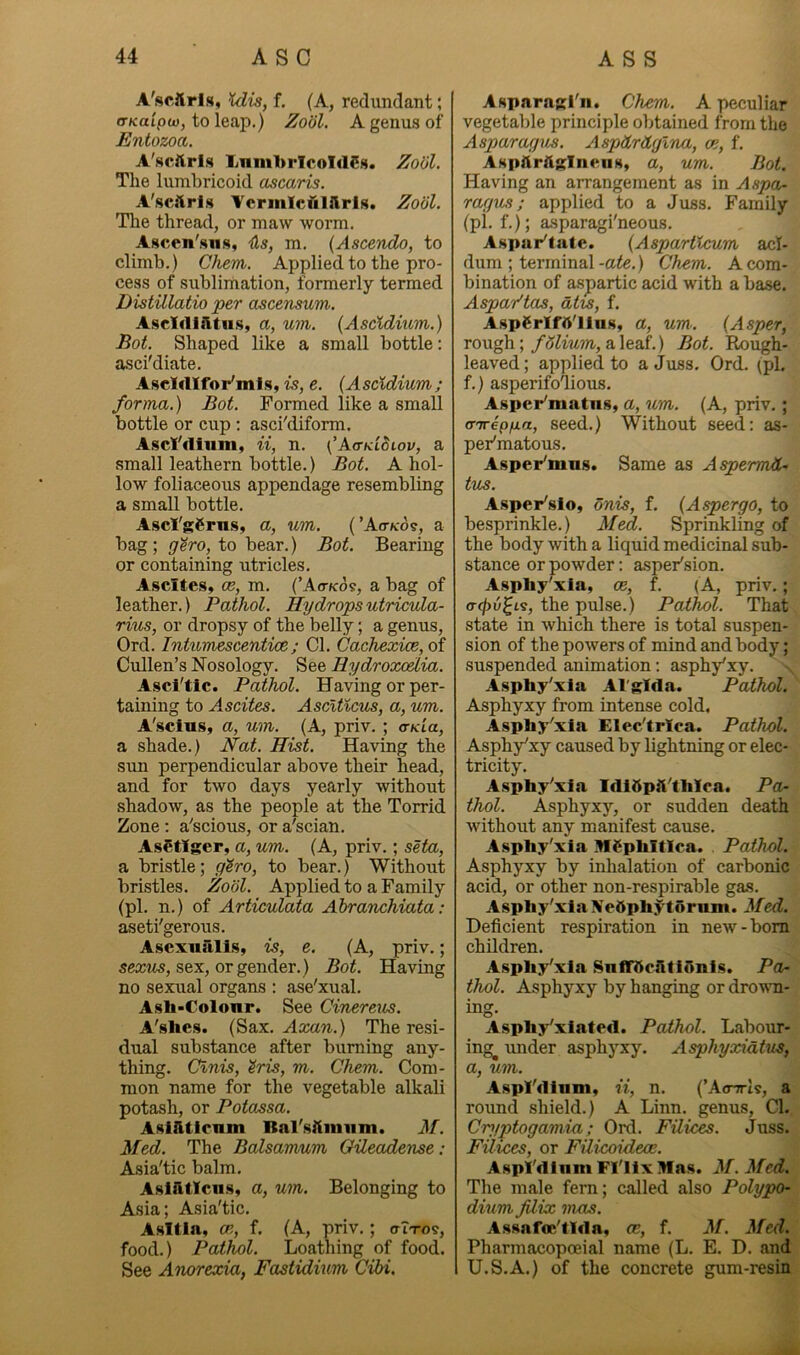 A'scJlrls, Mis, f. (A, redundant; or/caipo), to leap.) ZoUl. A genus of Entozoa. A'scftrls I.nm1>rIcoTilSs. Zool. The lumbricoid ascaris. A'scftrls Tcrmlcfilftris. Zool. The thread, or maw worm, Asccn'siis, Uls, m. {Ascendo, to climb.) Chem,. Applied to the pro- cess of sublimation, formerly termed DistUlatio per ascensuTn. Ascldlfttus, a, um, (Asclditcm.) Bot. Shaped like a small bottle: asci'diate. AscWIfor'mIs, is, e. [Ascldium; forma.) Bot. Formed like a small bottle or cup ; asci'diform. Ascl'dium, ii, n. (’A<tklSiov, a small leathern bottle.) Bot. A hol- low foliaceous appendage resembling a small bottle. AscI'gCrns, a, um. (’Actko?, a bag ; gero, to bear,) Bot. Bearing or containing utricles. Ascites* ce, m. {'Aitko?, a bag of leather.) Pathol. Hydropsutricvla- rius, or dropsy of the belly; a genus, Ord. Inhimescentice; Cl. Cachexice, of Cullen’s Nosology. See Hydroxcdia. Asci'tic. Pathol. Having or per- taining to Ascites. Ascltlcus, a, um. A'scius, a, um. (A, priv. ; <TKia, a shade.) Nat. Hist. Having the sun perpendicular above their head, and for two days yearly without shadow, as the people at the Torrid Zone; a'scious, or a'scian. AsCtiger, a, um. (A, priv.; seta, a bristle; g^ro, to bear.) Without bristles. Zool. Applied to a Family (pi. n.) of Articulata Ahranchiata; aseti'gerous. Asexiiftlls* is, e. (A, priv.; sexits, sex, or gender.) Bot. Having no sexual organs : ase'xual. Asb-Colonr. See Cinereus. A'slies. (Sax, Aocan.) The resi- dual substance after burning any- thing. Clnis, ^ris, m. Chem. Com- mon name for the vegetable alkali potash, or Potassa. Asifttlcnm Bal'sftinnm. M. Med. The Bcdsamum Qileadense: Asia'tic balm. Asiftticns* a, um. Belonging to Asia; Asia'tic, Asltla, CP,, f. (A, priv,; triTos, food.) Pathol. Loathing of food. See Anorexia, Fasiidium Cibi. Asparagi'n. Chem. A peculiar vegetable principle obtained from the Asparagus. Aspttrdglna, k, f, Aspftrftginciis, a, um. Bot. Having an arrangement as in Aspa- ragus; applied to a Juss, Family (pi. f.); asparagi'neous. Aspar'tate. (Asparticum acl- dum ; terminal-a^.) Chem. A com- bination of a.spartic acid with a base. Aspadtas, dtis, f. Aspftrlfft'ltus, a, um-. {Asper, rough;a leaf.) Bot. Rough- leaved; applied to a Juss, Ord. (pi. f.) asperifodious. Asper'matns, a, um. (A, priv.; (Tirep/xa, seed.) Without seed: as- per'matous, Asper'mas. Same as Aspermd-> tus. Asper'sio, dnis, f. {Aspergo, to besprinkle.) Med. Sprinkling of the body with a liquid medicinal sub- stance or powder: aspersion. Asphy'xia, ce, f. (A, priv.; a{j)v^L9, the pulse.) Pathol. That state in which there is total suspen- sion of the powers of mind and body; suspended animation; asphy'xy. Asphy'xia Al'glda. Pathol. Asphyxy from intense cold, Asphy'xia Elec'trlca. Pathol. Asphy'xy caused by lightning or elec- tricity. Asphy'xia Idifipft'thica. Pa- thol. Asphyxy, or sudden death without any manifest cause. Asphy'xia MSphItIca. Pathol. Asphyxy by inhalation of carbonic acid, or other non-respirable gas. Asphy'xia Neftph^tornm. Med. Deficient respiration in new-born children. Asphy'xia Snlfftcfttiftnis. Pa- thol. Asphyxy by hanging or droAra- ing. Asphy'xlated. Pathol. Labour- ing;^ under asphyxy, Asphyxidtus, a, um. Aspl'dlnm, ii, n. (’Acnris, a round shield.) A Linn, genus. Cl. Cryptogamia; Ord. Filices. Juss. Filices, or Filicoideoe. Aspl'diiim Fl'lix Mas. M. Med. The male fern; called also Polypo- dium Jilix mas. Assafoc'tlda, ce, f. M. Med. Pharmacopoeial name (L. E. D. and U.S.A.) of the concrete gum-resin