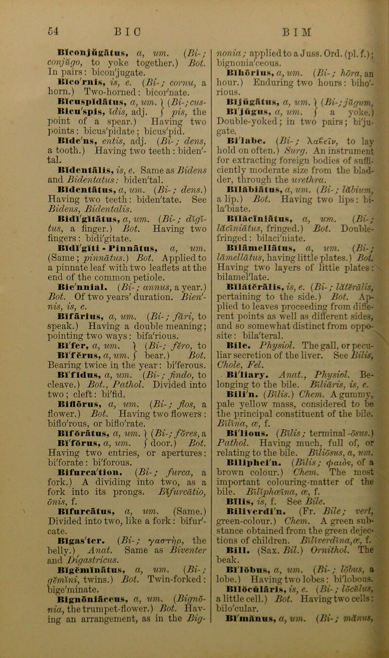 ItlconJAKAliiK, a, um. {Bi-; conj-Ugo, to yoke together.) Bot. lu pairs: bicon'jugate. BIvo'riilN, is, e. {Bi-; cornu, a horn.) Two-horned: hicor'nate. ItlcnspIdAtii.s, a, um. ) {Bi-jcus- Bicii'spls, Idis, adj. j pis, the point of a spear.) Having two ])oints : bicus'pidate; bicus'pid. Blde'ns, entis, adj. (Bi-; dens, a tooth.) Having two teeth: biden'- tal. BldeiitAlis, is, e. Same as Bidens and Bidentatus: biden'tal. Blclcntatiis, a,'um. {Bi-; dens.) Having two teeth: biden'tate. See Bidens, Bidentalis. Bldl'gitatu.s, a, um. {Bi-; digi- tus, a finger.) Bot. Having two fingers: bidi'gitate. Bldl'gltl - Pinnatns, a, um. (Same; Bot. Applied to a pinnate leaf with two leaflets at the end of the common petiole. Bie'nnial. (Bi-; annus, a year.) Bot. Of two years’ duration. Bienl- nis, is, e. Blfarliis, a, um. {Bi-; fdri, to speak.) Having a double meaning; pointing two ways: bifa'rious. Bl'fer, a, um. 1 {Bi-; f^ro, to Bl'ffiras, a, wm. ) bear.) Bot. Bearing twice in the year: Iji'ferous. Bl'f Idns, a, um. {Bi-; findo, to cleave.) Bot., Pathol. Divided into two; cleft: bi'fid. Bifloru.s, a, um. {Bi-; Jlos, a flower.) Bot. Having two flowers : biflo'rous, or biflo'rate. BlfOratns, a, um. ) {Bi-; fores, a, BI'f5rns, a, um. j door.) Bot. Having two entries, or apertures: bi'forate: bi'forous. Bifnrca'fion. {Bi-; furca, a fork.) A dividing into two, as a fork into its prongs. Blfurcatio, onis, f. ' BlfiircAtiis, a, um. (Same.) Divided into tvm, like a fork: bifur'- cate. BIgns'ter. {Bi-; yaa-'rijp, the belly.) Anat. Same as Biventer and Digastricvs. BlgSniliiAtns, a, um.. {Bi-; glmlni, twins.) Bot. Twin-forked: bige'minate. BlgnAnlftceiiSy a, um. {Bignd- m'a, the trumpet-flower.) Bot. Hav- ing an arrangement, as in the Big- nonia; applied to a Juss. Ord. (pi. f.); bignoniaxeous. BlIiArlus,«, «m. {Bi-;hora,an hour.) Enduring two hours: biho'- rious. BljiigAtiis, a, um. ) {Bi-; jtigvm, Bl'JugiiH, a, um. ( a yoke.) Double-yoked; in two pairs; biju- gate. Bi'labe. {Bi-; XateTv, to lay hold on often.) Burg. An instrument for extracting foreign bodies of suffi- ciently moderate size from the blad- der, through the urethra. BIlAbiAtns, a, {Bi-; iSMvm, a lip.) Bot. Having two lips: bi- ladiiate. BIlAciulAtns, a, um. {Bi-; Idclnidtus, fringed.) Bot. Double- fringed: bilaci'niate. BllAmellAtns, a, um. {Bi-; Idmelldtus, having little plates.) Bot. Having two layers of little plates: bilamel'late. BIlAtgrAlis, g. {Bi-; litUrdlis, pertaining to the side.) Bot. Ap- plied to leaves proceeding from diffe- rent points as well as, different sides, and so somewhat distinct from oppo- site : bila'teral. \ Bile. Physiol. The gall, or pecu- liar secretion of the liver. See Bilis, Chole, Fel. Biliary. Anat., Physiol. Be- longing to the bile. Bilidris, is, e. Bili'n. {Bilis.) Chem. A gummy, pale yellow mass, considered to be the principal constituent of the bile. Billria, ce, f. Bilious. {Bilis; terminal-o5?«.) Pathol. Having much, full of, or relating to the bile. Biliosus, a, um. Bilipliei'n. {Bilis; <pai6s, of a brown colour.) Chem. The most important colouring-matter of the bile. Biltphwlna, ce, f. Bilis, is, f. See Bile. Bilivcrdi'n. (Fr. Bile; vert, green-colour.) Chem. A green sul> stance obtained from the green dejec- tions of children. Billverdlna,a;, f. Bill. (Sax. Bil.) Ornithol. The beak. Blldbns, a, um. (Bi-; Idbiis, a lobe.) Having two lobes: bilobous. BllAruliiris, is, e. {Bi-; lucitlns, a little cell.) Bot. Having two cells: bilo'cular. Bl'niAuns, a, um. (Bi-; mdmis,