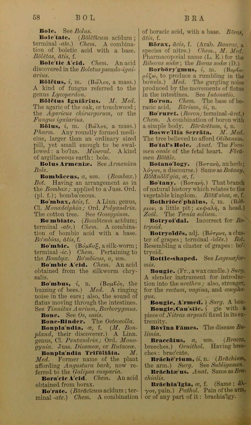 Bole. See Bolus. Bolc'tntc. {BdletKcum c'lcidum ; terminal -ate.) Chem. A combina- tion of boletic acid with a base. Bdletas, atis, f. Bolc'tie A'cid. Chem. An acid discovered in the Boletuspseudo-igni- arius. Br>lcln.s, i, m. (Bw\os, a mass.) A kind of fungus refen-ed to the genus Lycoperdon. Boletus iKiiiariiis. M. Med. The agaric of the oak, or touchwood; the Agaricus chirurgomm, or the Fungus igniarius. Bolus, i, m. (Bw/Vos, a mass.) Pharm. Any roundly formed medi- cine, larger than an ordinary sized pill, yet small enorr^h to be swal- lowed: a bo'lus. Mineral. A kind of argillaceous earth: bole. Bolus Armeuiae. See Armenian Bole. Bombaccus, a, um. {Bomhax.) Bot. Having an arrangement as in the Bomhax; applied to a Juss. Ord. (pi. f.); bomba'ceous. Bo'nibax, dcis, f. A Linn, genus. Cl. Monadelphia; Ord. Polyandria. The cotton tree. See Oossyp)ium. Bo'uibiate. {Bomhicum acidum; terminal -ate.) Chem. A combina- tion of bombic acid with a base. Bo'mbias, dtis, f. Bo'mbic. (B o/itv a silk-worm; terminal-fc.) Chem. Pertaining to the Bombyx. Bo'mblcus, a, um. Bo'mbic A''ci<l. Chem. An acid obtained from the silkworm chry- salis. Bo'mbns, i, n. (Bo/i€o5, the buzzing of bees.) Med. A ringing noise in the ears ; also, the sound of flatus moving through the intestines. See Tinnitus Aurium, Borborygmus. Bone. See Os, ossis. Bone-Biiifler. The Osteocolla. Bonpla'iulia, ce, f. {M. Bon- goland, their discoverer.) A Linn, genus. Cl. Pentandria; Ord. Mono- gynia. Juss. Diosmece, or Rutacece. Bonpla'nclia TrlfOliata. M. Med. Former name of the plant affording Angustura bark, now re- ferred to the Galipea cusparia. Bora'clc A'cid. Chem. An acid obtained from borax. Bo'ratc. {Bdraxlcxmdic\([\\m; ter- minal -ate.) Chem. A combination of boracic acid, with a base. Bdro^, atts, i. BOrax, dcis, f. (Arab. Bauwx, a species of nitre.) Chem., M. Med. Pliarmaco])oeial name (L. E.)for the Biboras sodee; the Boras sodoe (D. j BorbAry'KinuH, i, m. (Bo/>(.'o- pvX,(o, to produce a rumbling in the bowels.) Med. 'fhe gurgling noise ])roduced by the movements of flatus in the intestines. See Intonutvo. Bo'ron. Chem. The base of bo- racic acid. Borium, ii, n. Bo'riiret. (Boron; terminal -uret.) Chem. A combination of boron with a simi^le body. Bdruretum, i, n. Bo.swc'llia Serralai. M. Med. The tree believed to afford Olibanum.. Bo'tJil’.s Hole. Anat. Hhe, Fora- men ovule of the fetal heart. F6rd- men Bdtdle. Botano'logy. (BoT-ai/j;, anherb; \oyos, a discourse.) Sameas^oto?iy. Bdtdnold'gia, oe, f. Bo'tany. (Bo-raz/jj.) That branch of natural history which relates to the vegetable kingdom. Botd'nlca, a:, f. BothriftcS'pbiilns, i, m. (Bdtf- piov, a little pit; K6<^aX^, a head.) Zool. The Tcenia solium. Botryoi'dal. IncoiTect for Bo- try oid. BotryoId5.s, adj. (Bd-r^us, a clus- ter of grapes ; tenninal -Ides.) Bot. Resembling a cluster of grapes: bo'- tryoid. Bottle-sb.ipcd. Lageivoefor- mis. Bougie. (Fr., a wax candle.) Snrg. A slender instrument for introduc- tion into the urethra; also, stronger, for the rectum, vagina, and oesopha- gus. Bougie, A'rmed.) Surg. A bou- Bougie.t’aii'slic. ) gie with a piece of Nitras argenti fixed in its ex- tremity. BA Vina Filmes. The disease limia. Braccatns, a, um. {Bracea, breeches.) Ornithol. Having bree- ches ; brae'eate. BralcliC'rluin, ii, n. {Brdchium, the arm.) Surg. Bee Sxdligamen. Brilcliiac'us. Anat. Sameas^rcf- chialis. Brfteliia'lgia, cp, f. (Same; aX- yos, pain.) Pathol. Pain of the arm, or of any part of it; brachuv'lgy.