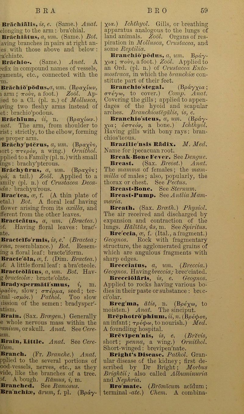 Brjlcliialis,w, e. (Same.) Anat. eloiigiiig to the arm: bra'chial. Brslclilatus, a, w?!. (Same.) Bot. aviiig branches in pairs at right an- es with those above and below: •a'chiate. BrAchio-. (Same.) Anat. A refix in comjDOund names of vessels, ^aments, etc., connected with the ’in. BrilcliiO'ptt<lns,«, um. {Bpayiiov, 1 am ; TToi/s, a foot.) Zodl. Ap- 'ied to a Cl. (pi. n.) of Mollmca, xving two fleshy ams instead of et: brachio'podous. BrAcliiiim, ii, n. (Bpaxiwy.) nat. The arm, from shoulder to rist; strictly, to the elbow, forming le proper arm. BrAcliy'ptgrus, a, um. (Bpayi/s, lort; 'TT'repov, a wing.) Ornithol. pplied to a Family (pi. n.) with small ings: brachy'pterous. Brslcliyurus, a, um. (Bpayi^s; 'pa, a tail.) Zodl. Applied to a amily (pi. n.) of Crustacea JDeca- )da: brachjm'rous. Brac'tea, oe, f. (A thin plate of etal.) Bot. A floral leaf having flower arising from its axilla, and fterent from the other leaves. Bracteatns, a, um. {Bractea.) ot. Having floral leaves: brac'- ate. BracteMo'rmis, is, e.' {Bractea; rma, resemblance.) Bot. Resem- ing a floral leaf: bracte'iform. Bracte'Ala, oe, f. (Dim. Bractea.) A. A little floral leaf: abra'cteole. BracteAlatns, a, um. Bot. Hav- %lyracteolce: bracte'olate. BradyspermAti'smus, i, m. ipaous, slow; a-Trip/xa, seed; ter- Inal -tarpon.) Pathol. Too slow lission of the semen: bradyspeF- atism. Brain. (Sax. Broegen.) Generally e whole nervous mass within the •'anium, or skull. Anat. See Cere- urn. Brain, Little. Anat. See Cere- llum. Brandi. (Fr. Branche.) Anat. pplied to the several portions of ood-vessels, nerves, etc., as they vide, like the branches of a tree. ot. A bough. Bdmus, i, m. Branclied. See Bamosus. Bra'ncliiw, drum, f. pi. (Bpdy- yta.) Ichthyol. Gills, or breathing apparatus analogous to the lungs of land animals. Zodl. Organs of res- piration in Alollusca, Cmistacea, and some Reptilia. BrancliiO'pAdns, a, um. Bpdy- yta; ttous, a foot.) Zodl. Applied to an Ord. (pi. n.) of Crustacea Ento- mostraca, in which the branchiae con- stitute part of their feet. Brancliio'stcgal. (Bpdyyia; o-Teyo), to cover.) Comp. Anat. Covering the gills; applied to appen- dages of the hyoid and scapular arches. Branchiostegdlis, is, e. Brancliio'steus, a, um. (Bpdy- yta; dcn-eoV, a bone.) Ichthyol. Having gills with bony rays: bran- chios'teous. Brazilie'nsis Radix. M. Med. Name for ipecacuan root. BreaR-Bone Fever. Dengue. Breast. (Sax. Breost.) Anat. The mamma of females; the mam- milla of males; also, popularly, the thorax or chest. See Pectus. Breast'Bone. See Sternum. Breast-Pump. AntliaMam- maria. Breath. (Sax. Broeth.) Physiol. The air received and discharged by expansion and contraction of the lungs. HdUths, Us, m. See Spiritus. Bre'ecla, ce, f. (Ital., a fragment.) Geognos. Rock with fragmentary structure, the agglomerated grains of which are angulous fragments with sharp edges. Breeeiatiis, a, um. {Breccia.) Geognos. Having &recctay brec'ciated. Breceittlarls, is, e. Geognos. Applied to rocks having various bo- dies in their paste or substance : brec- ci'olar. Breg'ma, dtis, n. (Bpeyo), to moisten.) Anat. The sinciput. BrSphotrA^phium, ii, n. {Bp4(po9, an infant; Tpecpco, to nourish.) Med. A foundling hospital. BrSvIpen'nls, is, e. {Brevis, short; penna, a wing.) Ornithol. Short-winged: brevipen'nate. Bright’s Disease. Pathol. Gran- ular disease of the kidney; first de- scribed by Dr Bright; Morbus Brightii; also called Albuminuria and Nephria. Bro'mate. {Brdmicum acidum; teminal -ate.) Chem. A combina-