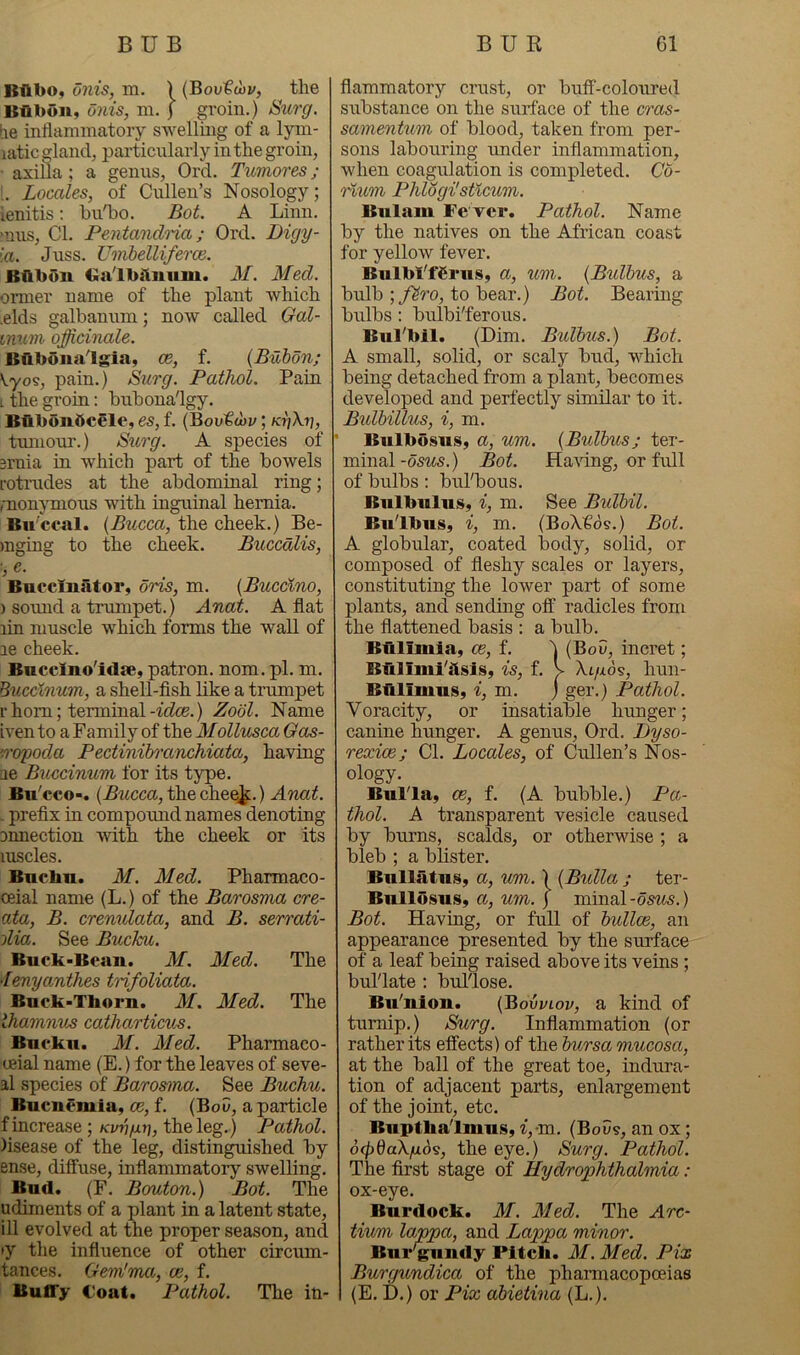 Bflbo, onis, m. ) (Bou€toi/, the Babun, onis, m. ) groin.) Surg. be inflammatory swelling of a lym- latic^land, particularly in the groin, axifla; a genus, Ord. Tumores; . Locales, of Cullen’s Nosology; lenitis: hn'ho. Bot. A Linn. >nus, CL PentandHa; Ord. Digy- ia. Juss. Umhelliferce. BfibOiL CJa'lbiliium. 31. Med. ormer name of the plant which .elds galbanum; now called Gal- mum officinale. Biibbnalgia, ce, f. {Bubon; Kyo's, pain.) Surg. Pathol. Pain L the groin: huhona'lgy. Blibonficele, es, f. (Bou€o)i;; tmnour.) Surg. A species of 3rnia in which part of the bowels rotrudes at the abdominal ring; monjTHOus with inguinal hernia. Bii’ccal. {Bucca, the cheek.) Be- )nging to the cheek. Buccdlis, Buccinator, ons, m. {Bucclno, ) somid a trumpet.) Anai. A flat lin muscle which forms the wall of ae cheek. Bncclno'iclae, patron, nom. pi. m. Bucclnum, a shell-fish like a trumpet r horn; terminal) Zodl. Name iven to a Family of the Alollusca Qas- ^'crpoda Pectinibranchiata, having ae Buccinum for its type. Bu'cco-. {Bucca, the chee.^.) Anat. - prefix in compoamd names denoting annection avith the cheek or its luscles. Buchn. M. Med. Pharmaco- ceial name (L.) of the Barosma cre- ata, B. crenulata, and B. serrati- ilia. See Bucku. Buck-Bean. M, 31ed. The 'lenyanthes trifoliata. Buck-Thorn. M. Med. The lhamnus catliarticus. Bucku. M. Aled. Pharmaco- leial name (E.) for the leaves of seve- al species of Barosma. See Buchu. Bucnemia, ce, f. (Bow, a particle f increase; Kvrtfxt], the leg.) Pathol. )isease of the leg, distinguished by ense, diffuse, inflammatory swelling. Bud. (F, Bouton.) Bot. T& udiments of a plant in a latent state, ill evolved at the proper season, and •y the influence of other circum- tances, Gem'ma, ce, f. BufTy Coat. Pathol. The in- flammatory crust, or buif-coloured substance on the surface of the cras- samentum of blood, taken from per- sons labouring under inflammation, when coagulation is completed. Co- rium Phlogilsticum. Bulani Fe ver. Pathol. Name by the natives on the African coast for yellow fever. Bulbl'fCrus, a, um. {Bulbus, a bulb ;/^ro, to bear.) Bot. Bearing bulbs : bulbi'ferous, Bul'bil. (Dim. Bulbus.) Bot. A small, solid, or scaly bud, which being detached from a plant, becomes developed and perfectly similar to it. Bidbillus, i, m. Bulbosiis, a, um. {Bulbus; ter- minal -osus.) Bot. Having, or full of bulbs: bul'bous. Bnlbnlus, i, m. See Bulbil. Bii'lbiis, i, m. (BoX€os.) Bot. A globular, coated body, solid, or composed of fleshy scales or layers, constituting the lower part of some plants, and sending off radicles from the flattened basis : a bulb. Bhlimia, ce, f. b (BoC, incret; is, f. v Xt/ads, hun- Bfllimns, i, m. j ger.) Pathol. Voracity, or insatiable hunger; canine hunger. A genus, Ord. Dyso- rexice; Cl. Locales, of Cullen’s Nos- ology. Bulla, ce, f. (A bubble.) Pa- thol. A transparent vesicle caused by burns, scalds, or otherwise ; a bleb ; a blister. Bullatus, a, um.) {Bulla ; ter- Bullusus, a, um. j minal-ds%s.) Bot. Having, or full of bullae, an appearance presented by the surface of a leaf being raised above its veins; bul'late : bul'lose. Bu’niou. {Bovviov, a kind of turnip.) Surg. Inflammation (or rather its effects) of the bursa mucosa, at the ball of the great toe, indura- tion of adjacent parts, enlargement of the joint, etc. Buptlialmus, ^,•In, (Bouv, an ox; otpQaX/iios, the eye.) Surg. Pathol. The first stage of Hy dr ophthalmia: ox-eye. Burdock. M. 31 ed. The Arc- tium lappa, and Lappa minor. Bur'^indy Pitch. 31. Med. Pix Burgundica of the phaimacopoeias (E. D.) or Pix abietina (L.).