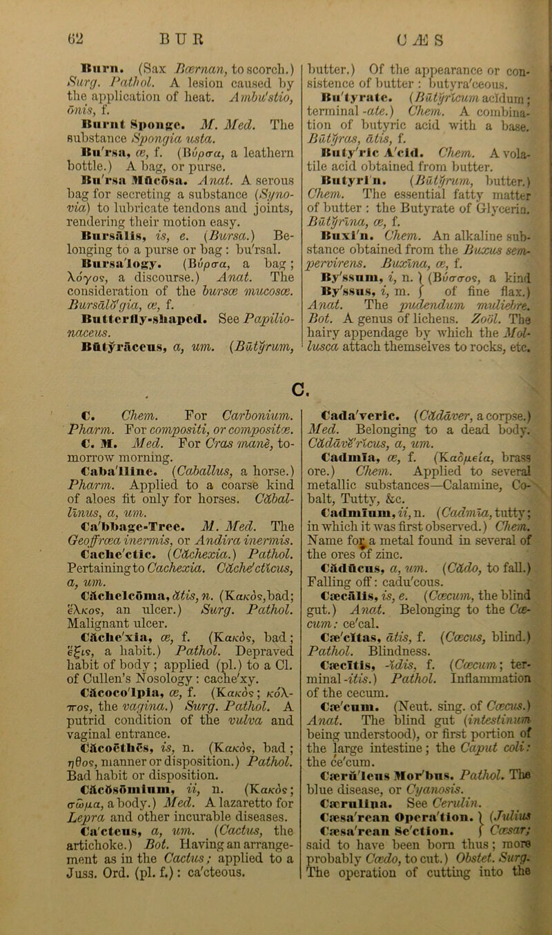 Itiirn. (Sax to scorch.) t^ui'g. Pathol. A lesion caused hy tlie application of heat. Ambvlstio, onis, f. Itiirut Spouse. M. Med. The substance Sponrjia usta. IKu'rsa, ce, f. (Bu/jo-a, a leathern bottle.) A bag, or purse. Itii'rsa AIAcosa. Anat. A serous bag for secretiiig a substance {Syno- via) to lubricate tendons and joints, rendering their motion easy. ]tnr.sali.s, is, e. {Bursa.) Be- longing to a purse or bag; bu'rsal. Itursaiogy. {'Rvpcra, a bag; \6yos, a discourse.) Anat. The consideration of the hursce mucosce. BursaWgia, ce, f. ltuttcrlly>.%liapc(l. See Papilio- naceus. Batyriiceiis, a, um. {BUtyrum, butter.) Of the appearance or con- sistence of butter: butyra'ceoiis. Kii'tyrate. {Biitfrlcumdc(A([\xm; tenninal -ate.) Chevfi. A combina- tion of butyric acid with a base. BatYjros, dtis, f. Itiity'ric A'cid. Chem. A vola- tile acid obtained from butter. Butyrin. {Bditiruyn, butter.) Chem. The essential fatty matter of butter : the Butyrate of Glycerin. Baturina, ce, f. Biixi'ii. Chem. An alkaline sub- stance obtained from the Buxus semr pervirens. Buxlna, ce, f. By'ssnm, i, n. 1 {Bu<r<ros, a kind By's.sus, i, m. ) of fine flax.) Anat. The pudendum mvliehre. Bot. A genus of lichens. Zodl. The hairy appendage by which the Mol- lusca attach themselves to rocks, etc. c. C. Chem. For Carbonium. Pharm. For compositi, or compositoe. C. M. x\'led. For Gras 7/ian.e, to- morrow morning. Caba'lline. {Cahallus, a horse.) Pharm. Applied to a coarse kind of aloes fit only for horses. Cdbal- llnus, a, um. Ca'bbage-Tree. M. Med. Tlie Geoffrcea inermis, or Andira inermis. Caclie'ctic. {Cdchexia.) Pathol. Pertaining to Cachexia. Cdchdcticus, a, um. Cilcbelcoma, (X^is, w. (Ka/cd?,bad; e\/cos, an ulcer.) Surg. Pathol. Malignant ulcer. Cftclie'xia, ce, f. (KotKo?, bad; a habit.) Pathol. Depraved habit of body; applied (pi.) to a Cl. of Cullen’s Nosology: cache'xy. Ciicoco'lpia, <e, f. (Ka/cd?; k6\- 7TOS, the vagina.) Surg. Pathol. A putrid condition of the vulva and vaginal entrance. CitcoctbCs, is, n. (Ka/cds, bad ; T)0os, manner or disposition.) Pathol. Bad habit or disposition. Cilc&somlnm, ii, n. (Ka^d?; crw^ia, abody.) Med. A lazaretto for Lepra and other incurable diseases. Ca'ctcu.s, a, um. {Cactus, the artichoke.) Bot. Having an arrange- ment as in the Caches; applied to a Juss. Ord. (pi. f.): ca'cteous. Cada'verlc. (Cdddver, a corpse.) Med. Belonging to a dead body. Cdddv'^'ricus, a, um. Cadmia, os, f. (Keto/xeta, brass ore.) Chem. Applied to several metallic substances—Calamine, Co-- bait, Tutty, &c. Cadmium, ii, n. (Cadmla, tutty; in which it was first obsen^ed.) Chem. Name foj,a metal found in several of i the ores of zinc. Clldllcas, a, um. {Cddo, to fall.) Falling off: cadu'eous. Caecjllis, is, e. {Ccecum, the blind gut.) AtwA. Belonging to the Cce- • cum: ce'cal. ! Cse'cltas, dtis, f. {Ccecus, blind.) Pathol. Blindness. Ciecitis, -Idis, f. {Ccecum’, ter- minal -itis.) Pathol. Inflammation of the cecum. Cre'ciim. (Neut. sing, of Ccecus.) Anat. The blind gut {intestinum being understood), or first portion of the large intestine; the Caput coli: the ce'cum. Cterii'leiis Mor'bns. Pathol. The blue disease, or Cyanosis. Cscruliua. See Cerulin. Cre.sa'rcan Opera'tion.) {Julius Cte.sa'rean Se'etion. ) Ccesar; said to have been bom thus; more probably Ccedo, to cut.) Obstet. Surg. The operation of cutting into the