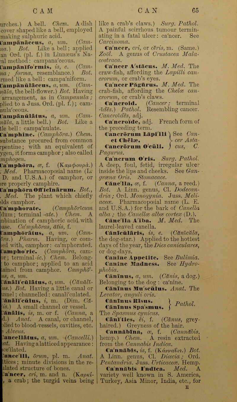 urclies.) A bell. Chevi. A dish cover shaped like a hell, employed making sulphuric acid, t'aiiipfiiiaccus, a, um. (Cam- na.) Bot. Like a bell; applied an Ord. (pi. f.) iu Linnreus’s Na- 'al method; campana'ceous. Caiiipanlfo'rmis, is, e. {Cam- na; fonna, resemblance.) Bot. rmed like a bell; campa'niform. Daiiipanulacens, a, wm. {Gam- nida, the bell-flower.) Bot. Having arrangement, as iu Cavipanula; plied to a Juss. Ord. (pi. f.); cam- uula'ceous. t’ampamilsitns, a, um. {Cam- nula, a little bell.) Bot. Like a tie bell: campa'nulate. Ca'mpliine. {Camphora.) Chem. substance procured from common rpentine; \yith an equivalent of ygen, it forms camphor; also called mphogen. L'a'mplidra, ce, f. (Kagcfiovpa.) . Med. Pharmacopoeial name (L. D. and U.S.A.) of camphor, or )re properly camphire. Ca'mphOra Oft'Icmarnm. Bot., . Med. The plant which chiefly dds camphor. Ca'mpliorate. (Camphortcicm dum; terminal -ate.) Chem. A nbination of camphoric acid with )ase. Ca'mphoras, dtis, f. I'anipliftratiis, a, um. {Cam- ^>ra.) Pharm. Having, or com- led with, camphor: ca'mphorated. L'ampho'ric. {Camphdra, cam- or; terminal-fc.) Chem. Belong- : to camphor; applied to an acid cained from camphor. Campho'- us, a, um. L'dnall'culatns, a, um. {CdndU- us.) Bot. Having a little canal or uinel; channelled: canali'culated. 'ilnrilI'cnlu.Sy i, m. (Dim. Cd- Hs.) A small channel or vessel. L’ilnali^, is, m. or f. {Canna, a d.) Anat. A canal, or channel, plied to blood-vessels, cavities, etc. 5 Alveus. L'ancellatng, a, um. {CancelU.) ad. Having a latticed appearance; ice'llated. ■'ance'lll, drum, pi. ra. Anat. ttices ; minute divisions in the re- ilated structure of bones. ^’a'licer, cri, m. and n. (Ka/ofct- , a crab; the turgid veins being like a crab’s claws.) Surg. Pathol. A painful scirrhous tumour termin- ating in a fatal ulcer: ca'ncer. See Carcinoma. Ca'ncer, cri, or c^m, m. (Same.) Zodl. A genus of Cnistacea Mala- costraca. Ca'ncer A'stftcus. M. Med. The craw-flsh, affording the Lapilli can- crorum, or crab’s eyes. Ca'ncer Filgurus. M. Medj. The crab-fish, affording the Chelae can- crorum, or crab’s claws. Ca'ncroirt. {Cancer; terminal -Ides.) Pathol. Kesembling cancer. Cancroldes, adj. Ca'ncro’ide, adj. French form of the preceding term. Cancrorum Lftpi'lli'I See Can- et Clielje. > cer Asta- Cancrornm O'culi. j cus, C. Pagurus. Ca'ncrnin O'ris. Surg. Pathol. A deep, foul, fetid, irregular ulcer inside the lips and cheeks. See Qan- greena Oris. Stomacace. Citne'lla, oe, f. {Canna, a reed.) Bot. A Linn, genus. Cl. Dodecan- dria; Ord. Monogynia. Juss. Meli- acece. Pharmacopoeial name (L. E. and U.S.A.) for the bark of Canella alba ; the Canellce alboi cortex (D.). Cs'ine'Ila A'lba. M. Med. The laurel-leaved canella. Ciinicnliiris, is, e. {Cdnlcula, the dog-star.) Applied to the hottest days of the year, the Dies caniculares, or dog-days. Canine Appetite. See Bulimia. Canine Matlnes.s. See Hydro- phobia. Caninns, a, um. {Cdnis, a dog.) Belonging to the dog : ca'nine. Cilninii.<$ Mii'sculus. Anat. The Levator, anguli oris. eanlnus Elsus. ) p y ^ Cuniiuis Spa snrns. ) The Spasmus cynicus. Cani'ties, ei, f. {Cdnus, grey- haired. ) Greyness of the hair. Cannablna, ce, f. {Canndbis, hemp.) Chem. A resin extracted from the Cannabis Indica. Ca'nniibis, is, f. (Kdi/va^is.) Bot. A Linn, genus. Cl. IHcecia; Ord. Pentandria. Juss. Urticacece. Hemp. Ca'nniibis I'ndica. Med. A variety well known in S. America, Turkey, Asia Minor, India, etc., for E