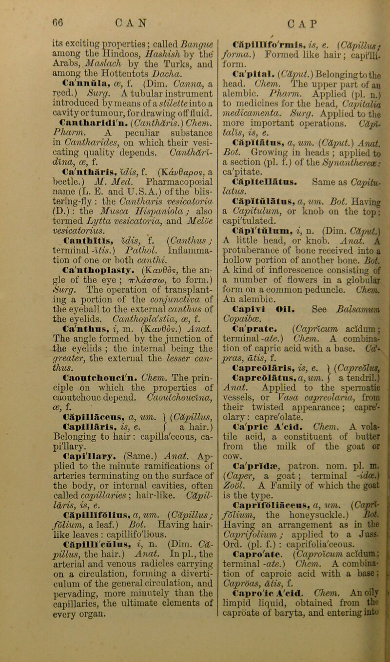 its exciting properties; called Bamjue among the Hindoos, Hashish by the Arabs, Maslach by the Turks, and among the Hottentots Dacha. Ca'iuiula, ce, f. (Dim. Canna, a reed.) Surg. A tubular instrument introduced by means of a stilette mio a cavity or tumour, for drawing offfluid. Caiitharidi'ii. {Canthitns.) Chem. Phann. A peculiar substance in Canthandes, on which their vesi- cating quality depends. Canthdrl- dlna, ce, f. Ca'ntlulris, Idis, f. (Kdi/0apos, a beetle.) M. Med. Pharmacopceial name (L. E. and U.S.A.) of the blis- tering-fly : the Cantharis vesicatoria (D.): the Musca Hispaniola; also termed Lytta vesicatoria, and Meloe veMcatorius. Canthitls, %dis, f. {Canthus ; tenninalPathol. Inflamma- tion of one or both canthi. Ca'nthoplasty. (Kaj/6os, the an- gle of the eye ; 7rA.d<r<rw, to form.) Surg. The operation of transplant- ing a portion of the conjunctiva of the eyeball to the external canthus of the eyelids. Canthopla'stia, ce, f. Ca'nthns, i, m. (Kai»0os.) Anat. The angle formed by the junction of the eyelids ; the internal being the greater, the external the lesser can- thus. Caoutclioncl'n. Chem. The prin- ciple on which the properties of caoutchouc depend. CaovdchouPina, ce, f. C&pillacensy a, um. | {Cdpillus, Capillaris, is, e. ) a hair.) Belonging to hair: capilla'ceous, ca- pillary. Capl'Ilapy. (Same.) Anat. Ap- plied to the minute ramiflcations of arteries terminating on the surface of the body, or internal cavities, often called capillaries; hair-like. Citpil- Idris, is, e. Ciipilllf51 ius, a, %im. (CiCpillus; f6lium, a leaf.) Bot. Having hair- like leaves; capillifolious. Ciipilll'culii.s, i, n. (Dim. Cd- the hair.) Anat. In pi., the arterial and venous radicles carrying on a circulation, forming a diverti- culum of the general circulation, and ])ervading, more minutely than the capillaries, the ultimate elements of every organ. y ritpnilfo'rnils, M, e. (Cdpillus; forma.) Formed like hair; capilfl. form. C'a'pltnl. {Cdput.) Belonging to the head. Chem. The upper part of an alembic. Pharrm. AY)plied (pi. n.) to medicines for the head, Capilalia medicamenta. Hurg. Applied to the more important operations. CdjA- talls, is, e. C'iipItAtiiH, a, um. {Cdput.) Anal. Bot. Growing in heads ; applied to a section (pi. f.) of the Synantherece: ca'pitate. (Jitpltellfitus. Same as Capitu- latus. CiipltulStns, a, um. Bot. Having a Capitulum, or knob on the top: capi'tulated. C^hpl'tuliini, i, n. (Dim. Cdpmt.) A little head, or knob. Anat. A protuberance of bone received into a hollow portion of another bone. Bot. A kind of inflorescence consisting of a number of flowers in a globular form on a common peduncle. Chem. An alembic. Capivi Oil. See Bcdsamum Copaibce. Ca'prate. {Capr%cum acWum; terminal-a^e.) Chem. A combina- tion of capric acid with a base. Ca'- pras, atis, f. €apre51aris, is, e. ) (Capredlus, Capre61atns,a,w?n. j a tendril) Anat. Applied to the spermatic vessels, or Vccsa capreolaria, from their twisted appearance; capre'- ; olary: capre'olate. €a'pric A'cid. Chem. A vola- tile acid, a constituent of butter ® from the milk of the goat or cow. Ca'prldfe, patron, nom. pi. m. {Caper, a goat; terminal -idee.) » Zobl. A Family of which the goat • is the type. CaprlfOliaoens, a, um. {Capri- ; folium, the honeysuckle.) Bot. i' Having an arrangement as in the ! Caprifolium; applied to a Juss. i Ord. (pi. f.): caprifolia'ceous. Capro'afe. (Coprotom acid urn; terminal -ate.) Chem. A combina- ) tion of caproic acid with a base; Caproas, dtis, f. ' Capro'ic A'cid. Chem. An oily t# limpid liquid, obtained from the caprdate of barjda, and entering into