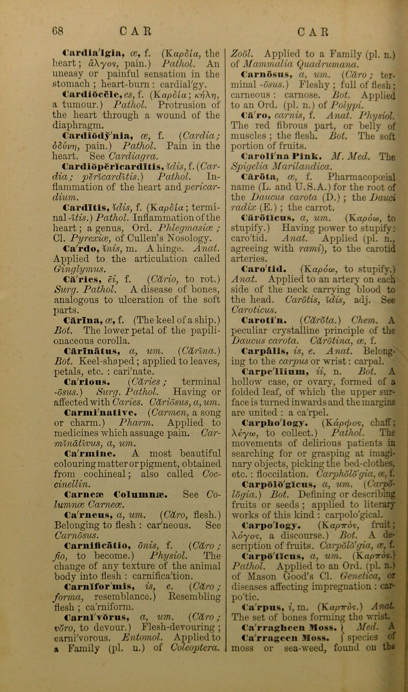 i'ardla'lgia, ce, f. (Kapom, the lieart; aXyoi, pain.) Patliol. An uneasy or painful sensation in the stomach ; heart-hum : cardial'gy. C'ardlOcClc , f. {Kapdia‘, KvXii, a tumour.) Pathol. Protrusion of the heart through a wound of the diaphragm. Cardiddy'nla, ce, f. {Cardia; dSvvii, pain.) Pathol. Pain in the heart. See Cardiagra. €ardiOp£i‘IcardItls, Idis, f. {Car- dia; pericarditis.) Pathol. In- flammation of the heart diUCi pericar- dium. Carditis, Idis, f. (Ka^o^ta; termi- nal-i^is.) Pathol. Inflammation of the heart ; a genus, Ord. Phlegmasix ; Cl. Pyrexioe, of Cullen’s Nosology. Ca'rdo, m. A hinge. Anat. Applied to the articulation called Ginglymus. CsVries, ei, f. {Cdrio, to rot.) &Vjrg. Pathol. A disease of hones, analogous to ulceration of the soft parts. Citrina, os, f. (The keel of a ship.) Bot. The lower petal of the papili- onaceous corolla. Ciirinatus, a, um. {Carina.) Bot. Keel-shaped; applied to leaves, petals, etc. : cari'nate. Ca'rions. {Cdries; terminal -osus.) Surg. Pathol. Having or affected with Caries. Cdriosios, a, um. Carml'iiative. {Carmen, a song or charm.) Pharm. Applied to medicines which assuage pain. Car- mlndtlvus, a, um. Ca'rmine. A most heautiful colouring matter or pigment, obtained from cochineal; also called Coc- cinellin. Carncse Columnae. See Co- lumnce Camece. Ca’rneus, a, um. {Cdro, flesh.) Belonging to flesh : caPneous. See Carnosics. Cariiiftcatio, dnis, f. {Cdro; fio, to become.) Physiol. The change of any texture of the animal body into flesh : camifica'tion. Carnlfor'mis, is, e. {Cdro; forma, resemblance.) Resembling flesh ; ca'miform. CarnI'vftru.s, a, um. {Cdro; vHro, to devour.) Flesh-devouring ; canii'vorous. Entomol. Applied to a Family (pi. u.) of Coleoptera. Zool. Applied to a Family (pi. ri.) of Mammalia Quad'rumana. €arnr>siis, a, um. {Caro; ter- minal-c/s^ws.) Fleshy; full of flesh; cameous; camose. Bot. Applied to an Ord. (pi. n.) of Polypi. Cft'ro, carnis, f. Anat. Physiol. The red fibrous part, or belly of muscles ; the flesh. Bot. The soft portion of fruits. Caroll'na Pink. M. Med. The Spyigelia Marilandica. caruta, (B, f. Pharmacopceial name (L. and U.S.A.) for the root of the Daucrn carota (D.); the Jjauci radix (E.) ; the carrot. Caroticus, a, um. (Ka/oow, to stupify.) Having power to stupify; caro'tid. Anat. Applied (pi. n., agreeing with rami), to the carotid arteries. Caro'tid. (Ka/oow, to stupify.) Anat. Applied to an arterj’’ on each side of the neck carrying blood to the head. Carotis, Idis, adj. See Caroticus. Caroti'n. {Cdrota.) Chem. A peculiar crystalline principle of the Daucus carota. Cdrotina, oe, f. €arpali.s, is, e. Anat. Belong- ing to the carpus or wrist: carpal. Carpe'llium, ii, n. Bot. A hollow case, or ovary, formed of a folded leaf, of which the upper sur- face is tmTied inwards and the margins are united : a ca'rpel. Carplio'logy. {Kapcfios, chaff; Xeyco, to collect.) Pathol. The movements of delirious patients in searching for or grasping at imagi- nary objects, picking the bed-clothes, etc.; floccilation. CarphoWgia, oe, f. CarpdlO'gicns, a, um. {Car^- logia.) Bot. Defining or describing fruits or seeds ; applied to literary works of this kind : carpolo'gical. Carpo'logy. {Kaprrds, fruit; Xoyo9, a discourse.) Bot. A de- scription of fruits. Carpoia'gia, cb, f. C'arp5'ticus, a, um. {Kapiros.) Pathol. Applied to an Ord. (pi. n.) of Mason Good’s Cl. Genetica, or diseases affecting impregnation : car- po'tic. C'a'rpus, f, m. (Ka;07rds.) AnoL The set of bones forming the wrist. C’a'rraghcen Mos.s. \ Med. A C'a'rragecn Moss. ) species of moss or sea-weed, found on the