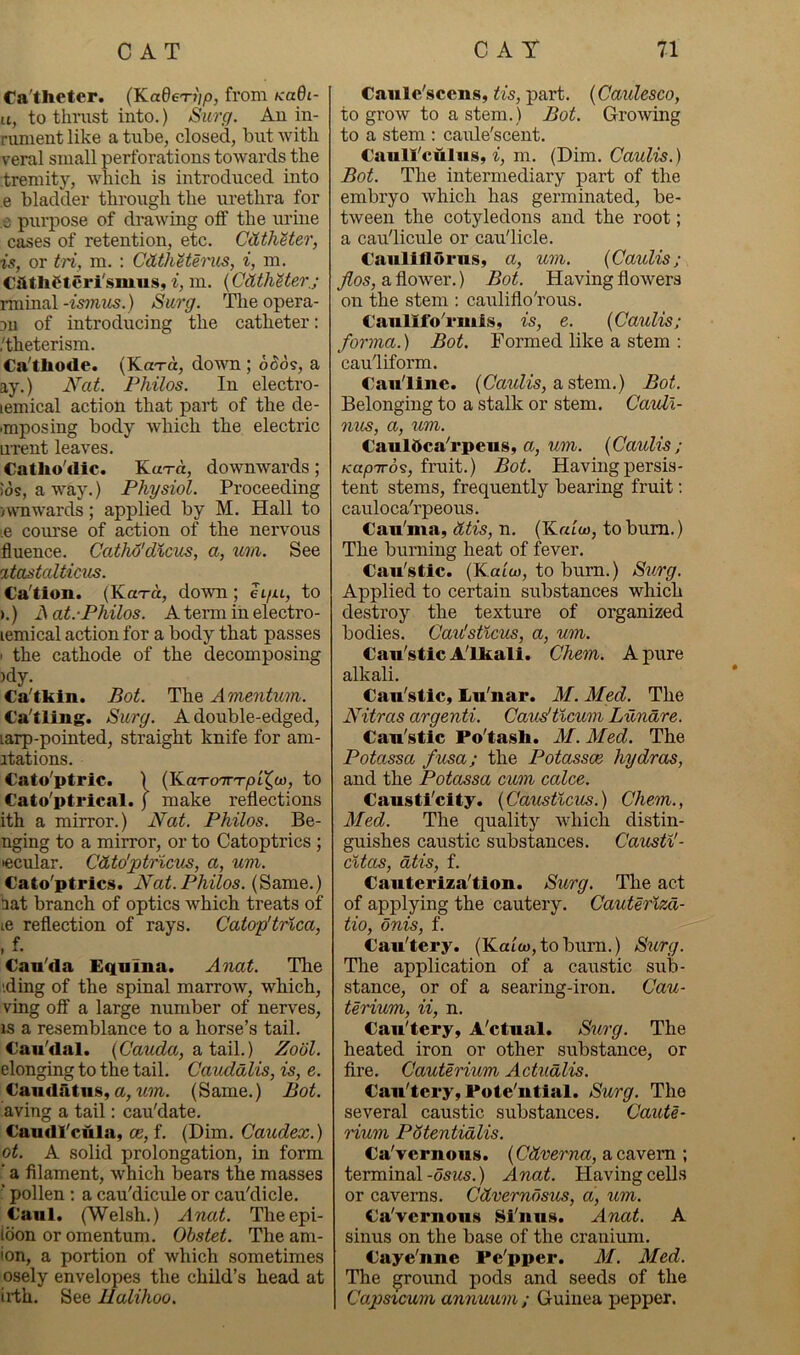 Ca'theter. (KadeTiip, from Kadi- u, to thrust into.) Surg. An in- runient like a tube, closed, but with veral small perforations towards the tremitj% which is introduced into ,e bladder through the urethra for ,e purpose of drawing oif the urine cases of retention, etc. CcLtheter, is, or tri, m. : CdthHerus, i, m. catliCteri'smus, i, m. {CdthUer,; rminalSurg. Theopera- Dii of introducing the catheter: ,'theterism. Ca'tliode. (Ka-ra, down ; o5o?, a ay.) Nat. Philos. In electro- lemical action that part of the de- •mposing body which the electric urent leaves. Catlio'clic. Ka-rd, downwards; )ds, a way.) Physiol. Proceeding iVNTiwards; applied by M. Hall to •,e course of action of the nervous fluence. Catho'dicus, a, um. See itastalticus. Ca'tion. (KaT-d, down; ei/u, to ).) A at.-Philos. A term in electro- leniical action for a body that passes I the cathode of the decomposing Kly. Ca'tkin. Bot. The Amentum. Ca'tling. Surg. A double-edged, larp-pointed, straight knife for am- itations. Cato'ptric. ) (KaTo-Tn-pt^w, to Cato'ptrical. f make reflections ith a mirror.) Nat. Philos. Be- nging to a mirror, or to Catoptrics ; •ecular. Cdto'ptricm, a, um. €ato'ptrics. Nat. Philos. (Same.) hat branch of optics which treats of le reflection of rays. Catop'trica, ,f. €an'da Eqnma. Anat. The '.ding of the spinal marrow, which, vmg off a large number of nerves, IS a resemblance to a horse’s tail. Cau'dal. {Cauda, a tail.) Zool. elonging to the tail. Cauddlis, is, e. €audfitn.s, a, «m. (Same.) Bot. aving a tail: cau'date. Caudl'cula, ce, f. (Dim. Caudex.) ot. A solid prolongation, in form ‘ a filament, which bears the masses ’ pollen ; a cau'dicule or cau'dicle. €aiil. (Welsh.) Anat. Theepi- loon or omentum. Obstet. The am- ion, a portion of which sometimes osely envelopes the child’s head at irth. See Ualihoo. Caule'scens, tis, part. {Ccuulesco, to grow to a stem.) Bot. Growing to a stem : caule'scent. Caull'culiis, i, m. (Dim. Caulis.) Bot. The intermediary part of the embryo which has germinated, be- tween the cotyledons and the root; a cau'licule or cau'licle. Caiillflorns, a, um. {Caulis; Jios, a flower.) Bot. Having flowers on the stem : caulifloTous. CanlifoT'iuis, is, e. {Caulis; forma.) Bot. Formed like a stem : cauliform. Cau'line. {Caidis, astern.) Bot. Belonging to a stalk or stem. CauZl- mis, a, um. €auldca''rpeiis, a, um. {Caulis ; Kap-TTos, fruit.) Bot. Having persis- tent stems, frequently bearing fruit; caulocaTpeous. Cau'ma, n. (K«ioj, tobum.) The burning heat of fever. Cau'stic. {Ka'uo, to bum.) Siirg. Applied to certain substances which destroy the texture of organized bodies. Cav!sticus, a, um. Can’stic Alkali. Chem. A pure alkali. €aii'stic» Lu'nar. M. Med. The Nitras argenti. Caudticum Lunare. Can'stlc Po'tasta. M. Med. The Potassa fusa; the Potassoe hydras, and the Potassa cum calce. Causticity. {Causticus.) Chem., Med. The quality which distin- guishes caustic substances. Caustil- cltas, dtis, f. Cauterizalion. Surg. The act of applying the cautery. Cauterizd- tio, onis, f. Cau'tery. (Kaiw, to biirn.) Surg. The application of a caustic sub- stance, or of a searing-iron. Cau- terium, ii, n. Cau'tery, A'ctual. Surg. The heated iron or other substance, or fire. Cauterium Actudlis. Cau'tery, Pote'ntial. Surg. The several caustic substances. Caute- rium Pdtentidlis. Ca'Tcrnous. {Cdverna, a cavern ; terminal -dsus.) Anat. Having cells or caverns. Cdvernbsus, a, um. Ca'vernous Si'nus. Anat. A sinus on the base of the cranium. Caye'iiue Pe'pper. M. Med. The ground pods and seeds of the Capsicum annuum ; Guinea pepper.
