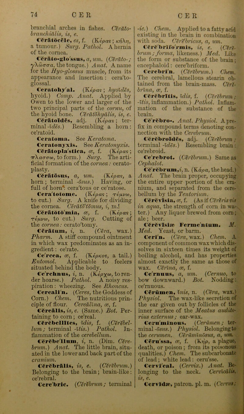 branchial arches in fishes. Cirdto- branchidlis, is, e. C’Ci*iit5cClo, es, f. (Ke/o«s ; kv\i], a tnmonr.) Surg. Pathol. A hernia of the coniea. €Crat.o-i;lo'88u.s, a, um. {Clrdto-; •yXioo-cra, thetongne.) A nat. A name for the Hyo-glossm mnscle, from its appearance and insertion: cera'to- glossal. Ceratoliy'ul. (Ke^oas ; hycndes, hyoid.) Comp. Anat. Applied by Owen to the lower and larger of the two principal parts of the cornu, of the hyoid bone. CSratShydlis, is, e. CgraloidSs, adj. (Kc/octs ; ter- minalResembling a honi: ce'ratoid. Ceratoma. See Keratoma.. Ceratonyxis. See Keratonyxis. CSratopla'stica, ce, f. (Ke'^oas ; TrXacrorw, to form.) Surg. The arti- ficial formation of the cornea: cerato- plasty. C^ratosiis, a, um. (Kepas, a horn; terminal -osus.) Having, or full of horn'*; cera'tous or ce'ratose. Cera'totome. (Kepas; 'refivoa, to cut.) Surg. A knife for dividing the cornea. Cerdto'tomus, i, m.! €£rat0t6'inia, ce, f. (Kepas; Tefivw, to cut.) Surg. Cutting of the cornea: cerato'tomy. Ceratum, i, n. {Cera, wax.) Pharm. A stiff compound ointment in which wax predominates as an in- gredient : ce'rate. Ce'rcea, ce, f. (Ke'pfcos, a tail.) Entomol. Applicable to feelers situated behind the body. Ce'rclmus, n. (Ke'/oxw, to ren- der hoarse.) Pathol. A noisy res- piration : wheezing. See Rhoncus. Cercali'n. {Ceres, the Goddess of Com.) Chem. The nutritious prin- ciple of flour. Ceredllna, ce, f. CCrcillls, w, e. (Same.) Bot. Per- taining to com; ce'real. CCrebcIlItes, Idis, f. {Ctrthel- lum; terminal -Itis.) Pathol. In- flammation of the cerebellum. cerebellum, i, n. (Dim. Cere- brum.) Anat. The little brain, situ- ated in the lower and back part of the cranium. cerebrfills, is, e. {Cerebrum.) Belonging to the brain; brain-like; ce'rebral. Cere'brlc. {Certbrum; tenninal •ic.) Chem. Apjdied to a fatty acid existing in the brain in combination witli soda. Cere'bricus, a, um. cere'brifo'riiiis, is, e. {Cere- brum; forma, likeness.) Med. Like the form or substance of the brain; encephaloid: cereTrifonn. Cercbrl'n. {Cerebrum.) Chem. The cerebral, lamellous st^rin ob- tained from the brain-mass. Cere- brlna, ce, f. Cerebrltis, Idis, f. {Cerebrum; inflammation.) Pathol. Inflam- mation of the substance of the brain. ce'rCbro*. Anat. Physiol. A pre- fix in compound temis denoting con- nection with the Cerebrum. CerCbroides, adj. {Cerebrum ; terminal -Ides.) Resembling brain : ce'rebroid. Ce'rebrot. {Cerebrum.) Same as Cephalot. ce'rebrum,f, n. (Kdoa, the head.) Anat. The brain proper, occupjing the entire upper portion of the cra- nium, and separated from the cere- bellum by the Tentorium. C6r6visia, ce, f. (As if Cereris ws in aqua, the strength of com in wa- ter.) Any liquor brewed from com; ale; beer. Cfrgvisiae Ferme'ntum. M. Med. Yeast, or barm. Ceri'n. (Cera, wax.) Chem. A component of common wax which dis- solves in sixteen times its weight of boiling alcohol, and has properties almost exactly the same as those of wax. Cerlna, ce, f. Ce'rnnns, a, um. {Cernuo, to bow do\\Tiward.) Bot. Nodding: ce'muous. eSrumen, inis, n. {Cera, wax.l Physiol. The wax-like secretion of the ear given out by follicles of the inner surface of the Meatus audito- rius externus; ear-wax. Ceru'miuoiis. {Cerumen; ter- minal-os»«.) Physiol. Belonging to the cerumen. Ceriimlnosus, a, um. CCru'ssa, ce, f. {Ki/p, a plague, death, or poison ; from its poisonous qualities.) Chem. The subcarbonatc j of lead; white lead: cera'sse. | Cervi'oail. {Cervix.) Anat. i longing to the neck. Cervicdlis, | is, e. I Cervldsp, patron, pi. m. {Ccirus: \ i