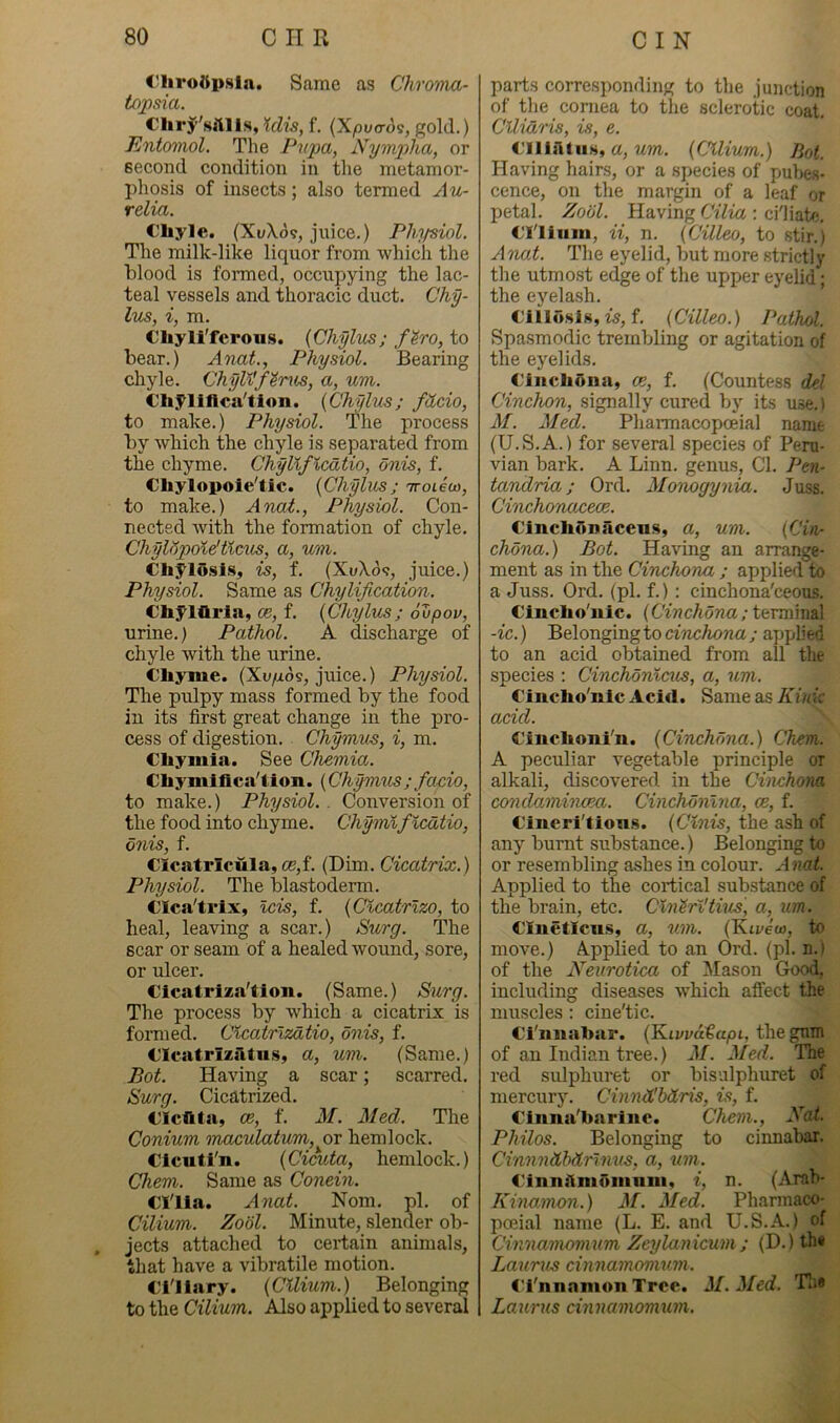 C'livoftpsia. Same as Chroma- tx)j)sia. f. {Xpua09, gold.) Entomol. Tlie Pxcpa, Aympha, or second condition in the metamor- pliosis of insects; also termed Au- relia. C’liyle. (Xv\6^, juice.) Phifsiol. The milk-like liquor from which the blood is formed, occupying the lac- teal vessels and thoracic duct. Chy- lus, i, m. Cliyli'feroiis. {Chylus; f^ro, to bear.) Anat., Physiol. Bearing chyle. Chyll'f^ras, a, um. Chyiiflca'tion. {Chylus; fdcio, to make.) Physiol. The process by which the chyle is separated from the chyme. Chyliflcatio, onis, f. Chylopoie'tlc. {Chylus; Trotew, to make.) Anat., Physiol. Con- nected Avith the formation of chyle. Chylopoi^incus, a, um. Chyiosis, is, f. {XvXos, juice.) Physiol. Same as Chylification. Chyittria, ce, f. {Chylus; ovpov, urine.) Pathol. A discharge of chyle with the urine. Cbyme. (Xu/xos, juice.) Physiol. The pulpy mass formed by the food in its first great change in the pro- cess of digestion. Chymus, i, m. Cliyinia. See Chemia. Chymlfica'tion. {Chymus; facio, to make.) Physiol.. Conversion of the food into chyme. Chymificatio, onis, f. Cicatricula, CE,f. (Dim. Cicatrix.) Physiol. The blastoderm. CIca'trix, Icis, f. {Clcatrlzo, to heal, leaving a scar.) Surg. The scar or seam of a healed wound, sore, or ulcer. Clcatriza'tion. (Same.) &xLrg. The process by which a cicatrix is formed. Cicatrlzdtio, onis, f. CIcatrizaitHS, a, um. (Same.) Bot. Having a scar; scarred. Burg. Cicatrized. Clcfiita, (B, f. Jf. Med. The Conium xnaculatum, or hemlock. Cicutl'n. {Cimta, hemlock.) Chem. Same as Conein. Cilia. Anat. Nom. pi. of Cilium. Zool. Minute, slender ob- jects attached to certain animals, that have a vibratile motion. Ciliary. {CUium.) Belonging to the Cilium. Also applied to several parts corresponding to the junction of the cornea to the sclerotic coat. Clliaris, is, e. ClllAtiis, a, um. {Cilium.) Bot. Having hairs, or a species of pubes- cence, on the margin of a leaf or petal. Zool. Having Cilia : ci'liate. Cilium, ii, n. {Cilleo, to stir.) Anat. The eyelid, but more strictly the utmo.st edge of the upper eyelid; the eyelash. Cillosis, w, f. {Cilleo.) Pathol. Spa.smodic trembling or agitation of the eyelids. Cinchona, ce, f. (Countess del Cinchon, signally cured by its use. t M. Med. Phaimacopoeial name (U.S.A.) for several species of Peru- vian bark. A Linn, genus. Cl. Pen- tandria; Ord. Monogynia. Juss. CinchoTxmece. Cinchonaceus, a, um. {Cin- chona.) Bot. Having an arrange- ment as in the Cinchoim ; applied to a Juss. Ord. (pi. f.): cinchona'ceous. Cincho'nic. (Cinchona ; terminal -ic.) Belonging to cirxxhona ; applied to an acid obtained from all the species : Cinchonlcus, a, um. Cincho'nic Acid. Same as Kink acid. Cinchonl'n. {Cinchona.) Chem. A peculiar vegetable principle or alkali, discovered in the Cinchona coxxdaxnincea. Cixxchdxilna, ce, f. Cineri'tion.s. {Clnis, the ash of any burnt substance.) Belonging to or resembling ashes in colour. Axxat. Applied to the cortical substance of the brain, etc. Cln'Srl'tixis', a, um. Clnetlcn.s, a, um. (Ku/e'w, to move.) Applied to an Ord. (pi. n.) of the Nexxrotica of Mason Good, including diseases which affect the muscles : cine'tic. Ci'nnahur. {KivvdtapL, thegnm of an Indian tree.) M. Med. The red sulphuret or bisulphuret of mercury. Cinxxd'bdris, is, f. Cinna'harinc. Chem., Aa-f. Philos. Belonging to cinnabar. Cinnxxdbdrlnus, a, um. Cinmlniomniii, i, n. (Arab- Kinamon.) M. Med. Pharmaco- poeia! name (L. E. and U.S.A.) of Cinnamomxxm Zexjlanicuxxi; (D.) th« Laxirxis cinnamonunn. i'i'nnamon Tree. M. Med. 'Hie Laxirxxs cinxxamomwxi.