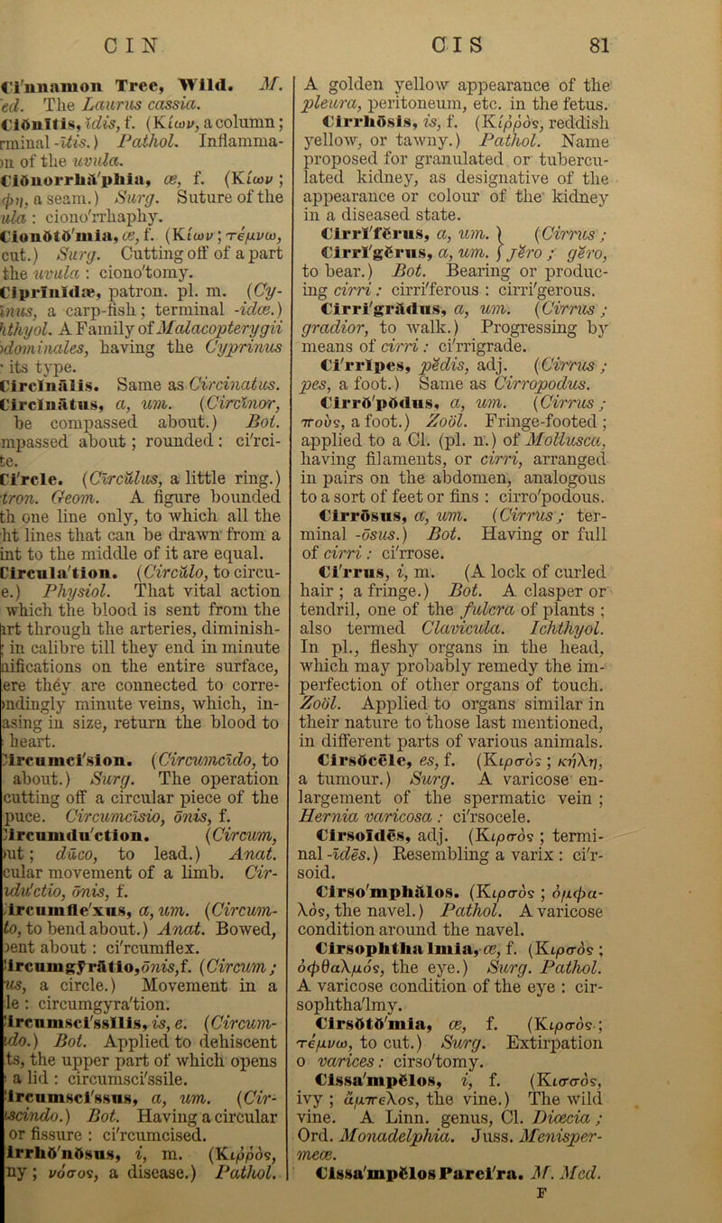 Cl'iinamon Tree, Wild, M. ed. The Laurus cassia. Cldultis, idis, f. ( K.lu)v, a column; rmiiial -Uis.) Pathol. Inflamma- )ii of the uvula. CiOuorrbiVphia, oe, f. {Yi'uov; (p7j, a seam.) Siirg. Suture of the ula : cioiio'n-haphy. Ciondtft'mia, ce, f. (Ktoji;; 'refivui, cut.) Surg. Cutting off of a part the uvula.; ciono'tomy. Ciprinldop, patron, pi. m. {Cy- Inus, a carp-tish; terminal -idee.) hthyol. A Family of Mcdacopterygii )dominales, having the Cyprinus ' its type. Circlusllis. Same as Circinatus. Circluatus, a, uvi. {Circlnor, he compassed about.) Boi. mpassed about; rounded; ci'rci- te. CTrcle. {Clrculus, a little ring.) tron. Geom. A figure boimded th one line only, to which all the lit lines that can be di’awn' from a int to the middle of it are equal. Circulation. (CirciUo, to circu- e.) Physiol. That vital action which the blood is sent from the irt through the arteries, diminish- ; in calibre till they end in minute aifications on the entire surface, ere th6y are connected to corre- mdingly minute veins, which, in- asing in size, return the blood to : heart. vircumci'sion. {Circumcldo, to about.) Surg. The operation cutting off a circular piece of the puce. Circuvicisio, onis, f. yircumdu'etion. {Circum, )ut; duco, to lead.) Anat. cular movement of a limb. Cir- xdvlctio, onis, f. .'ircumfle'xu.s, a, um. {Circum- to, to bend about.) Anat. Bowed, lent about: ci'rcumflex. !ircumgyr5tio,oms,f. {Circum; us, a circle.) Movement in a ;le : circumgyra'tion. !ircnm.sci'ssllis, is, e. {Circum- uio.) Bot. Applied to dehiscent ts, the upper part of which opens ! a lid : circumsci'ssile. ircumscTHSus, a, um. {Cir- fjsdndo.) Bot. Having a circular or fissure ; ci'rcumcised. IrrhO'ndsuH, i, m. (Ktppos, ny ; j/otros, a disease.) Pathol. A golden yellow appearance of the' pleura, peritoneum, etc. in the fetus. €irrli5sls, is, f. {K'lppos, reddish yellow, or tawny.) Pathol. Name proposed for granulated or' tubercu- lated kidney, as desigiiative of the apjiearance or colour of the' kidney in a diseased state. CirrI'fSrus, a, um. \ {Cimes ; CirrTgCrus, a, um. j j^ro ; gero, to bear.) Bot. Bearing or produc- ing cirri: cirri'ferous : cirri'gerous. Cirri'grft«lu.s, a, um. {Cirrus ; gradior, to ivalk.) Progressing by means of cirri: ci'rrigrade. Ci'rripes, adj. {Cirrus; pes, a foot.) Same as Cirropodus. Cirrd'pbclus, a, wm. {Cirrus; 7TOUS, a foot.) Zool. Fringe-footed; applied to a Cl. (pi. n.) of Mollusca, having filaments, or cirri, arranged in pairs on the abdomen, analogous to a sort of feet or fins : cirro'podous. Cirrosns, a, um. {Cirrus; ter- minal -osus.) Bot. Having or full of cirri: ci'rrose. Ci'rru.s, i, m. (A lock of curled hair; a fringe.) Bot. A clasper or tendril, one of the f ulcra of plants ; also termed Clavicula. Ichthyol. In pL, fieshy organs in the head, which may probably remedy the im- perfection of other organs of touch. Zool. Applied to organs similar in their nature to those last mentioned, in different parts of various animals. Cirsdcele, es, f. (Ktptrds ; kvXt}, a tumour.) Surg. A varicose en- largement of the spermatic vein ; Hernia varicosa: ci'rsocele. Clr.soIde.s, adj. (Kipo-d? ; termi- nal -Ides.) Eesembling a varix : ci'r- soid. Clrso'mpltiilos. (Ktperds ; opepa- Xds, the navel.) Pathol. A varicose condition around the navel. Clrsophthalmla,-a?, f. (Ktptrds; oepdaXpo^, the eye.) Surg. Pathol. A varicose condition of the eye ; cir- sophtha'lmy. Clrsbttt'mla, ce, f. (Ktpo-ds-; 'repvw, to cut.) Surg. Extirpation o varices: cirso'tomy. Cls.%a'inpSlos, i, f. (Kio-ads, ivy ; apireXo^, the vine.) The wild vine. A Linn, genus. Cl. Bicecia ; Ord. Monadelphia. Juss. Menisper- rneoe. Cissa'mpClos Parei'ra. M. Med. r