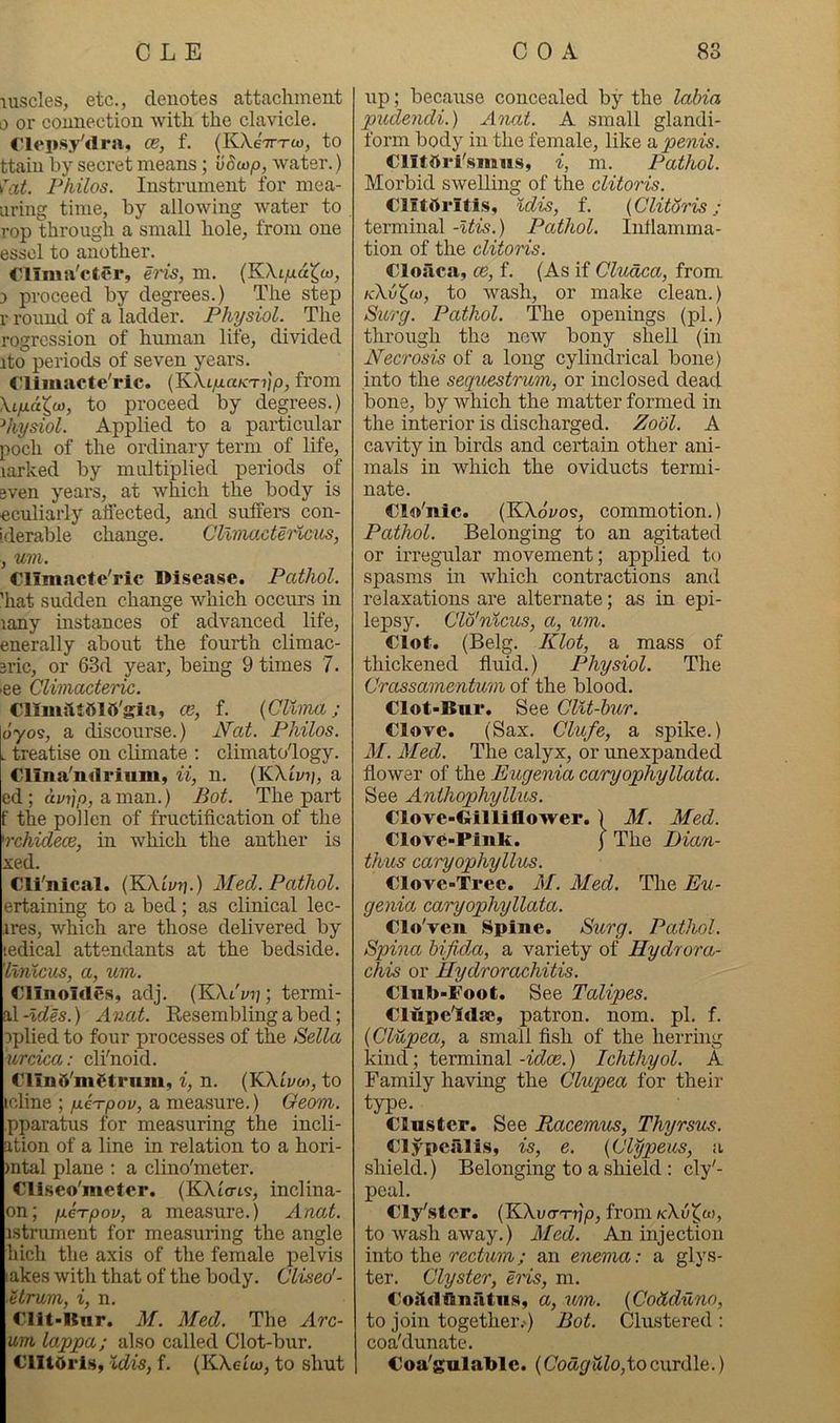 luscles, etc., denotes attachment a or connection with the clavicle. riepsy'drai, ce, f. (KA-eVra), to ttain by secret means; vBu>p,^ water.) raif. Philos. Instrument for mea- iiring time, by allowing water to rop through a small hole, from one essol to another. Climai'cter, eris, m. (KXt/xa^o), 3 proceed by degrees.) The step r round of a ladder. Physiol. The regression of human life, divided ito periods of seven years. Cliiiiacte'ric. (KXL/uLaKTi]p, from \LfiaX,0), to proceed by degrees.) ^hysiol. Applied to a particular poch of the ordinary term of life, larked by multiplied periods of even years, at which the body is eculiarly affected, and suffers con- i.derable change. Cllvw.ctei%cus, , um. Climacfe'ric Disease. Pathol. 'hat sudden change which occurs in lany mstances of advanced life, enerally about the fourth climac- eric, or 63d year, being 9 times 7. >ee Clwiacteric. CllmfttfilO'gia, ce, f. {CUma ; o'yos, a discourse.) J^at. Philos. L treatise on climate ; climatology. Clina'ndriiim, ii, n. {KXLvij, a ed; aman.) Bot. The part f the pollen of fructification of the 'rchidece, in which the anther is xed. Cli'nical. (KXti/rj.) Med. Pathol. ertaining to a bed; as clinical lec- ires, Avhich are those delivered by ledical attendants at the bedside. ilnvcus, a, um. Clinoides, adj. (KXt'z/ij; termi- ^\-ldes.) Anat. Resembling a bed; oplied to four processes of the Sella urcica: cli'noid. ClTni^'m6trnm, i, n. (KXii/o), to icline ; p.eTpov, a measure.) Geom. pparatus for measuring the incli- ation of a line in relation to a hori- )ntal plane : a clino'meter. Cliseo'meter. (KXta-ts, inclina- on; fX6Tpov, a measure.) Anat. istrmnent for measuring the angle Inch the axis of the female pelvis lakes with that of the body. Cliseo'- ■Urum, i, n. €lit-Knr. M. Med. The xirc- am lappa; also called Clot-bur. Clitoris, odis, f. (KXeto), to shut up; because concealed by the labia pudendi.) A'nat. A small glandi- form body in the female, like a penis. ClitOri'snms, i, m. Pathol. Morbid swelling of the clitoris. ClitOritis, Idis, f. {ClittSris: terminal -Uis.) Pathol. Riflamma- tion of the clitoris. Cloaca, ce, f. (As if Cludca, from K\xjX,oy, to wash, or make clean.) Surg. Pathol. The openings (pi.) through the new bony shell (in Necrosis of a long cylindrical bone) into the sequestrum, or inclosed dead bone, by which the matter formed in the interior is discharged. Zobl. A cavity in birds and certain other ani- mals in which the oviducts termi- nate. Clo'nic. (KXo'yos, commotion.) Pathol. Belonging to an agitated or irregular movement; applied to spasms in which contractions and relaxations are alternate; as in epi- lepsy. Clo'nicus, a, um. Clot. (Belg. Klot, a mass of thickened fiuid.) Physiol. The Grassamentum of the blood. Clot-Bur. See ClU-hur. Clove. (Sax. Glufe, a spike.) M. Med. The calyx, or unexpanded flower of the Eugenia caryophyllata. See Anthophyllus. Clove-Gllliflower.) M. Med. Clove-Pink. j The I)ian- tlvus caryophyllus. Clove-Tree. M. Med. The Eu- genia caryophyllata. Clo'ven Spine. Surg. Pathol. Spina bifida, a variety of Hydrora- chis or Eydrorachitis. Clnk-Foot. See Talipes. Clnpe'idae, patron, nom. pi. f. (Glupea, a small fish of the herring kind; terminal-1(^05.) Ichthyol. A Family having the Glupea for their type. Cluster. See Racemus, Thyrsus. Clypcfilis, is, e. {Glypeus, a shield.) Belonging to a shield : cly'- pcal. Cly'stcr. (KXva-Ttip, from kXu^m, to wa.sh away.) Med. An injection into the rectum; an enema: a glys- ter. Glyster, ens, m. CoitdfiniTtns, a, um. {Godduno, to join together.') Bot. Clu-stered : coa'dunate. Coa'gnlaklc. (Cott^/aZo,to curdle.)