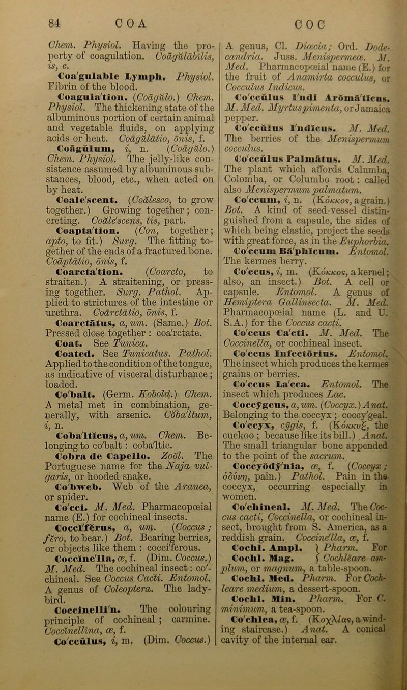 Chem. Physiol. Having the pvo- ]^)erty of coagulation. t'odgulaUlis, IS, e. €oa'gulnl)lc Lymph. Physiol. Fibrin of the blood. Loagulu'tlon. {Coagdlo.) Chem. Physiol. The thickening state of the albuminous portion of certain animal and vegetable fluids, on applying acids or heat. Coaguldtio, onis, f. Coagulum, i, n. (Codgulo.) Chem. Physiol. Tdie jelly-like con- sistence assumed by albuminous sub- stances, blood, etc., when acted on by heat. Coalc'scent. {Codlesco, to grow together.) Growing together; con- creting. CodUscens, tis, part. Coapta'tioii. {Con, together; apto, to fit.) Surg. The fitting to- gether of the ends of a fractm-ed bone. Codptdtio, onis, f. Coarcta'tion. {Coarcto, to straiten.) A straitening, or press- ing together. Surg. Pathol. Ap- IDlied to strictures of the intestine or lu’ethra. Codrctdtio, onis, f. Coarctatus, a, ww. (Same.) Bot. Pressed close together : coa'rctate. Coat. See Tunica. Coated. See Tunicatus. Pathol. Applied to the condition of the tongue, as indicative of visceral disturbance; loaded. Co'balt. (Germ. Kobold.) Chem. A metal met in combination, ge- nerally, with arsenic. Coba'ltum, i, n. Coha'ltlcuSy a, um. Chem. Be- longing to coTalt: cobaltic. Cobra de Capcllo. Zool. The Portuguese name for the Naja vul- garis, or hooded snake. Co'bweb. Web of the Ara'iiea, or spider. Co'cci. M. Med. Pharmacopoeial name (E.) for cochineal insects. Coccl'fCru.s, a, um. {Coccus; /ero, to bear.) Bot. Bearing benfes, or objects like them ; cocci'ferous. Cocclne'lla, ce, f. (Dim. Coccus.) M. Med. The cochineal insect: co'- chineal. See Coccus Cacti. Entomol. A genus of Coleoptera. The lady- bird. CocclnelU'n. The colouring principle of cochineal ; carmine. Coccinelllna, ce, f. Co'cculus, i, m. (Dim. Coccus.) A genus. Cl. Picecia; Ord. Bode- candria. Juss. Menispermeoe. M. Med. Pharmacopceial nauie (E.) for the fruit of Anamirta cocculus, or Cocculus Indicus. Co^ccdliis I'lidl ArOmft'tlcns, M. Med. Myrtuspivienta, or Jamaica pepjjer. Co'cculuH I'ndlciis. M. Med. The berries of the Menispcrmum cocculus. Co'ccuIii.s Paliuatus. M. Med. The plant which affords Calumba, Colomba, or Columbo root: called also Menispermuvi palmatum. Co'ccum, i, n. (Ko/c/cos, a grain./ Bot. A kind of seed-vessel distin- guished from a capsule, the sides of which being elastic, project the seeds with great force, as in the Euphorbia. Co'ccum Bli'phlcum. Entoirwl. The kermes berry. Co'ccus, i, m. (Ko/c/cos, a kernel; also, an insect.) Bot. A cell or capsule. Entomol. A genus of Hemiptera Gallinsecta. M. Med. Phannacopoeial name (L. and U. S.A.) for the Coccus ccccti. Co'ccus Ca'cti. M. Med. The Coccinella, or cochineal insect. Co'ccus lufectorlus. Entomol. The insect which produces the kermes grains or berries. Co'ccus La'cca. Entomol. The insect which produces Lao. Coccygeus, a, um. {Coccyx.) Anat. Belonging to the coccyx; cocc/geal. Co'ccyx, cygis, f. {Kokkv^, the cuckoo; because like its bill.) Anat. The small triangular bone appended to the point of the sacrum. Coccybdj^ula, ce, f. {Coccyx; pain.) Pathol. Pain in the coccyx, occurring especially in women. Co'cbiueal. M. Med. The Coc- cus cacti, Coccinella, or cochineal in- sect, brought from S. Ajuerica, as a reddish grain. Coccindlla, ce, f. Coclil. Ampl. ) Pharm. For Cocbl. Mag. ) Cochleare am- plum, or magnum, a table-spoon. Cocbl. Med. Pharm. Yox Coch- leare medium, a dessert-spoon. Cocbl. Min. Pharm. For C. minimum, a tea-spoon. Co'cblea, ce, f. (Kox^.tas, a wind- ing staircase.) Anat. A conical cavity of the internal ear.