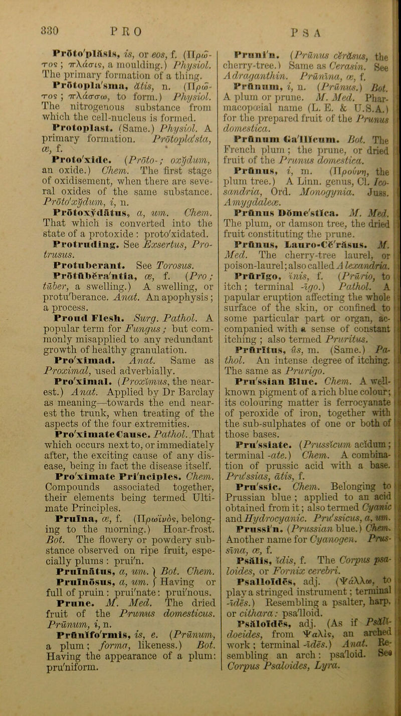Prflto'plftslH, is, or eos, f, {WptS- Tos ; TrXao-is, a moulding.) Physiol. The primary formation of a thing. PrAtopla'^ina, diis, n. (If/ow- Tos ; TrXao-o-o), to form.) Physiol. The nitrogenous suljstance from which the cell-nucleus is formed. Protoplast. (Same.) Physiol. A primary formation. Protopla'sia, ce, f. Proto'xirte. {Proto-; oxtjdium, an oxide.) Chem. The first .stage of oxidisement, when there are seve- ral oxides of the same substance. Proto'x^dum, i, n. Protoxyrtatiis, a, um. Chem. That which is converted into the state of a protoxide : proto'xidated. Protruding. See Exsertus, Pro- trusus. Protnl>erant. See Torosics. Protlitogra'ntia, ce, f. {Pro; tuber, a swelling.) A swelling, or protu'berance. Ancct. An apophysis; a process. Proud Flesh. Surg. Pathol. A popular term for Fungus ; but com- monly misapplied to any redundant growth of healthy granulation. Pro'ximad. Anal. Same as Proximal, used adverbially. Pro'ximal. {Proxlmus, the near- e.st.) Anat. Applied by Dr Barclay as meaning—^towards the end near- est the trunk, when treating of the aspects of the four extremities. Pro'xlmateCanse. Pathol..That which occurs next to, or immediately after, the exciting cause of any dis- ease, being in fact the disease itself. Pro'ximate Principles. Chem. Compounds associated together, their elements being termed Ulti- mate Principles. Prnina, ce, f. (ITjOwtyds, belong- ing to the morning.) Hoar-frost. Bot. The flowery or powdery sub- stance observed on ripe fruit, espe- cially plums : prui'n. Pritlnfilns, a, um,.) Bot. Chem. Pruliiosns, a, um. j Having or full of pruin: prui'nate: prui'nous. Prune. Al. Aled. The dried fruit of the Prunus domesticus. Prunum, i, n. Prftnlfo'rmis, is, e. {Prunum, a plum; forma, likeness.) Bot. Having the appearance of a plum; pru'niform. Prim i'll. {Prunus c'Srds^is, the cherry-tree.) Same as Cerctsin. See Adraganthin. Prunlna, <k, f. Prlliiuni, i, n. {Prunm.) Bot. A plum or ])rune. M. Med. Pliar- ■ macopceial name (L. E. & U.S.A.) f for the prepared fruit of the Prunus s domestica. Pranum da'llleuni. Bot. The French plum ; the prune, or dried ? fruit of the Prunus domestica. Praniis, i, m. {Upovorj, the plum tree.) A Linn, genus. Cl. Jco- sandria, Ord. Monogynia. Juas. ! AmygdalecB. Prflnus Ddme/stlca. M. Med. \ The plum, or damson tree, the dried fruit constituting the prune. Prilnus, Lauro-C'6'rftsus. M. Aled. The cherry-tree laurel, or ^ poison-laurel; also called A lexandria. i Prttrlgo, 'inis, f. {Prurio, to i itch ; terminal -igo.) Pathol. A , i papular eruption affecting the whole i surface of the skin, or confined to '« some particular part or oi^an, ac- j companied with a sense of constant itching ; also termed Pruritus. ? Prfiritu.s, iks, m. (Same.) Pa~ 1 thol. An intense degree of itching. | The same as Prurigo. ( Pru's.sian Blue. Chem. A well- ; kno^vn pigment of a rich blue colour; i S its colouring matter is ferrocyanate 11 of peroxide of iron, together with : j the sub-sulphates of one or both of! | those bases. ( Pru'ssiate. {Prussicum acidum;; | terminal -ate.) Chem. A combina- i tion of prussic acid wdth a base. | Pru'ssias, dtis, f. * Pru'ssic. Chem. Belonging to i Prussian blue ; applied to an acid 1 obtained from it; also termed Cyanic i and Hydrocyanic. Pru'ssicus,a, um. Prussi'n. blue.) Chem. Another name for Cyanogen. Pros- sina, ce, f. P.silli.s, idis, f. The Corpus psa- ■ loides, or Fornix cerebri. Psalloliles, adj. {■^dXXw, to i play a stringed instrument; terminal 1 -ides.) Resembling a psalter, harp, or cithara: psa'lloid. P.sjtloIdPs, ad.j. (As if PsiUi- doeides, from '^aXls, an arched i work; terminalAnat. Re- sembling an arch : psafloid. See i Corpus Pscdoides, Lyra.