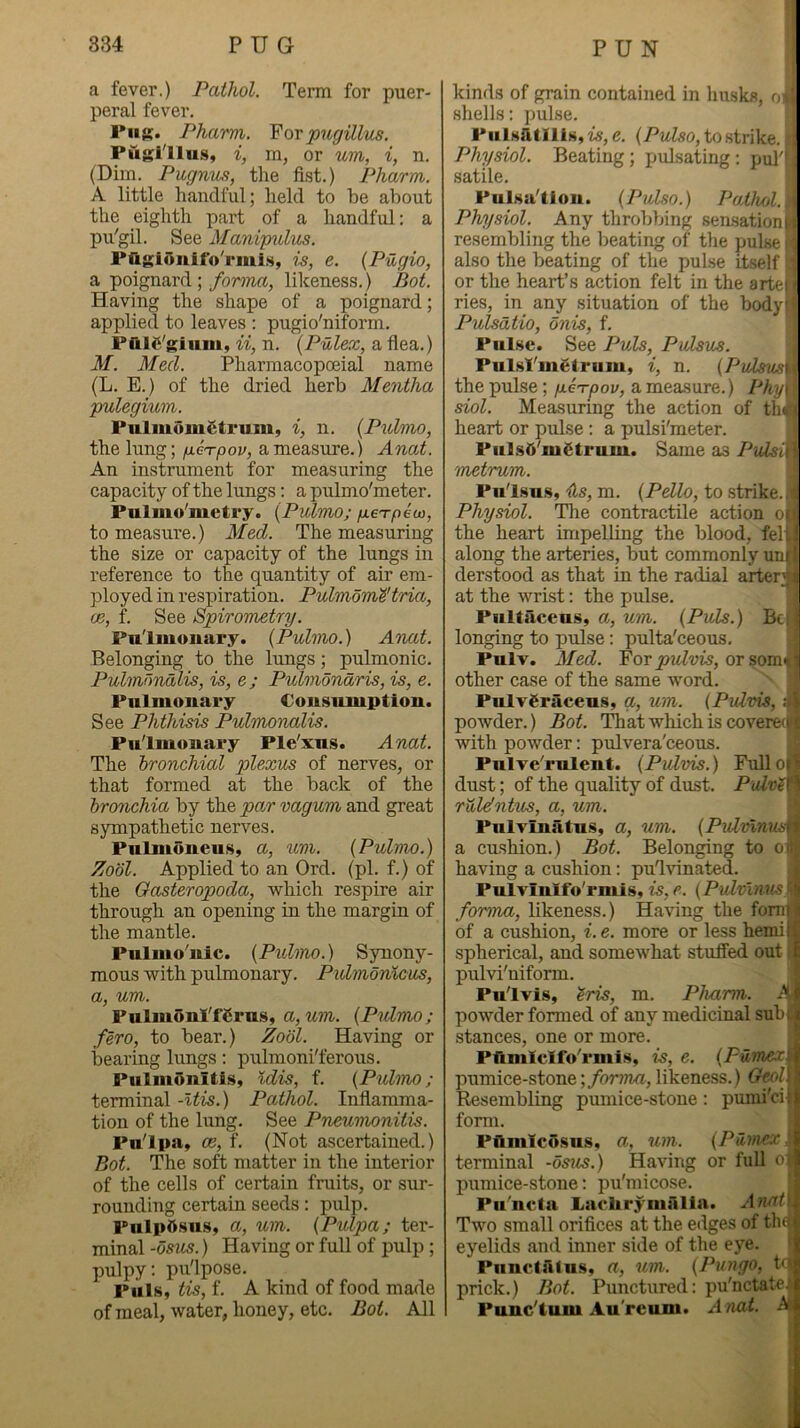 a fever.) Pathol. Term for puer- peral fever. ruR. Pharm. YorpngilliLs. Puglllus, i, m, or urn, i, n. (Dim. Pugnus, the Pham. A little handful; held to be about the eighth part of a handful: a pu'gil. See ManipuXus. PagiOuifo'rmi.s, is, e. {Pugio, a poignard ;likeness.) Bot. Having the shape of a poignard; applied to leaves : pugio'niform. Paie'giuiu, ii, n. {Pulex, a flea.) M. Med. Pharmacopoeial name (L. E.) of the dried herb Mentha pulegium. PuliuomStrum, i, n. {Pidmo, the lung; fj.ei-pov, a measure.) Anat. An instrument for measuring the capacity of the lungs: a pulmo'meter. Pulino'metry. {Pidmo; fiexpeui, to measure.) Med. The measuring the size or capacity of the lungs in reference to the quantity of air em- ployed in respiration. Pulmom'^trici, ce, f. See Spirometry. Pulmonary. (Pulmo.) A7iat. Belonging to the lungs; pulmonic. Pulmonalis, is, e; Pubnondris, is, e. Pulmonary Consumption. See Phthisis Pulmonalis. Pulmonary Ple'xus. Anat. The bronchial plexus of nerves, or that formed at the back of the bronchia by the par vagum and great sympathetic nerves. Pnlmoneus, a, icm. {Pulmo.) Zobl. Applied to an Ord. (pi. f.) of the Gasteropoda, which respire air through an opening in the margin of the mantle. Pulmo'nic. (Ptdino.) Synony- mous with pulmonary. Pidmonlcus, a, um. Pulmonl'fCrus, a, Mm. (Pidmo; fero, to bear.) Zodl. Having or bearing lungs: pulmoni'ferous. Pulm5nltis, Idis, f. (Pidmo; terminal -Itis.) Pathol. Inflamma- tion of the lung. See Pneumonitis. Pnlpa, CB, f. (Not ascertained.) Bot. The soft matter in the interior of the cells of certain fruits, or sur- rounding certain seeds: pulp. PulpOsus, a, um. (Pulpa; ter- minal -osus.) Having or full of pulp ; pulpy; pu'lpose. Puls, tis, f. A kind of food made of meal, water, honey, etc. Bot. All kinds of grain contained in husks, o shells: pulse. Pulsatllis, is, e. (Pulso, to strike. Physiol. Beating; pidsating; pul'* satile. Pulsalloii. (Pulso.) Paihol. Physiol. Any throbbing sensationj resembling the beating of the pulse also the beating of the pulse itself or the heart’s action felt in the artel ries, in any situation of the body!' Pulsdtio, bnis, f. Pulse. See Puls, Pulsus. PulsI'mCtrum, i, n. (Pulsus\y the pulse; pieTpov, a measure.) Phy\ siol. Measuring the action of th(i < heart or pulse: a pulsi'meter. PulsO'm^trum. Same as PuLs^^\ 'metrum. Pulsus, ils, m. (Pello, to .strike.. i Physiol. The contractile action o the heart impelling the blood, fel along the arteries, but commonly un derstood as that in the radial arter 1 at the wrist: the pulse. Pultaceus, a. Mm. (Puls.) Bel! longing to pulse: pulta'ceous. ■ Pulv. Med. For^M^uis, or somn j other case of the same word. PulvCraceus, a, um. (Pvlvis, powder.) Bot. TTiat which is covere(|C with powder: pulvera'ceous. ,• Pulve'rulent. (Pidvis.) Full^l dust; of the quality of dust. Palv^ ruldntus, a, um. PulTinatus, a, um. (Pidvlnus a cu.shion.) Bot. Belonging to o having a cushion: pu'lvinated. Pulvinifo'rmis, is,e. (PulvlnvsS forma, likeness.) Having the fomr of a cushion, i.e. more or less hemil spherical, and somewhat stuffed out i pulvi'niform. Pulvis, '^ris, m. Pharm. powder formed of any medicinal subfi stances, one or more. Pfimlclfo'rmis, is, e. (Pumexi pumice-stone ;/or?Ma, likeness.) Geol\ Resembling pumice-stone: punii'cii form. Pflmlcusus, a, um. (Pumex^ terminal -osus.) Having or full o1 pumice-stone: pu'micose. Pu'ncia Laclirymalia. Anat Two small orifices at the edges of tlu eyelids and inner side of the eye. Punctiitus, a, um. (Pungo, t(j| prick.) Bot. Punctured: pu'nctate. Punclum Au'reum. A nat. A
