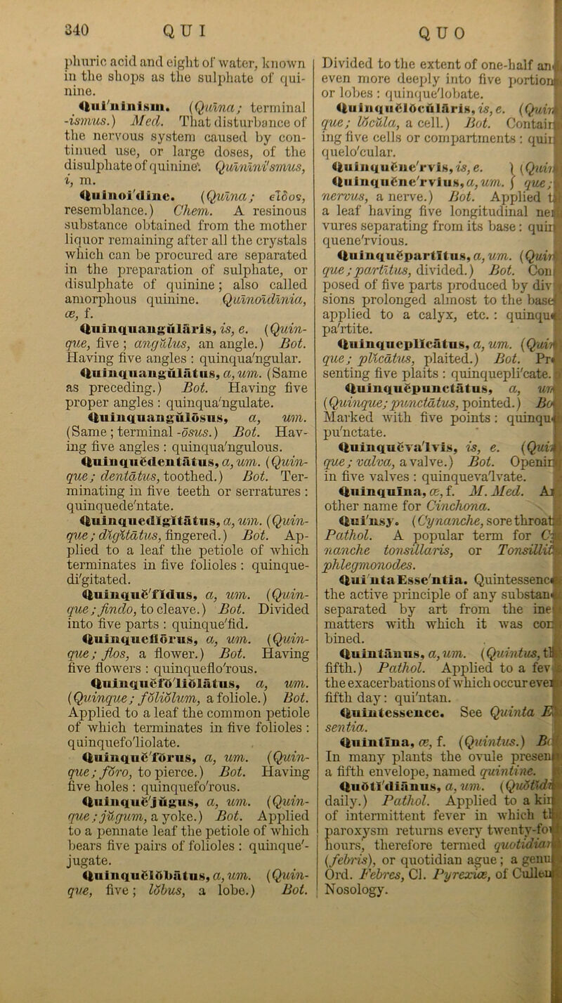 QUO r phnric acid and eight of water, known in the shoj^s as the sulphate of qui- nine. Uiii^iiiiilsin. (Qulna; terminal -ismus.) Med. Tliat disturbance of the nervous system caused by con- tinued use, or large doses, of the disulphate of quinine'. Qulnlni'smus, i, m. Uuinoi'dinc. {Qulna; eJoos, resemblance.) Chem. A resinous substance obtained from the mother liqnor remaining after all the crystals which can be procured are separated in the preparation of sulphate, or disulphate of quinine; also called amorphous quinine. Qulnoldlnm, ce, f. iliiinquaugularls, e. {Quin- que, five; angvdus, an angle.) Bot. Having five angles : quinqua'ngular. <|uiuq.uaiig'ulatu8, a,um. (Same as preceding.) Bot. Having five proper angles: quinqua'ngidate. <|uinquangulosns» ct, um. (Same ; terminal-OSM5.) Bot. Hav- ing five angles: quinqua'ngulous. <|uiuque(leutatus, a, um. (Quioi- que; deniatus, tooih&di.) Bot. Ter- minating in five teeth or serratures : q uinquede'ntate. <|uinquedigltatns, a, um. {Quin- qxie; dlgUatus,^n%&r&^.) Bot. Ap- plied to a leaf the petiole of which terminates in five folioles : quinque- di'gitated. 4|uiuqu£'fiduSy a, um. {Quin- to cleave.) Bot. Divided into five parts : qirinque'fid. Quiuqnelldrus, a, um. {Quin- que; Jios, a flower.) Bot. Having five flowers : quinqueflo'rous. <|iiinquefdli61atiis, a, um. {Quinque; foliolum, afoliole.) Bot. Applied to a leaf the common petiole of which terminates in five folioles : quinquefo'liolate. <£uinquS'fdriis, a, um. {Quin- ywey/oro, to pierce.) Bot. Having five holes : quinquefo'rous. 4|iiiiiquc'jugus, a, um. {Qidn- que;jugum, a, joke.) Bot. Applied to a i^ennate leaf the petiole of which bears five pairs of folioles : quinque'- jugate. (luiliquOAbiitus, a, u7/2r. {Quin- qve, five; lohus, a lobe.) Bot. Divided to the extent of one-half ani even more deeply into five portiorJ or loljes : quinfiue'lobate. ' UuiiiqiiClOculilris, z£,e. {C^irk que; Wcula, a cell.) Bot. Contain ing five cells or compartments : quiil quelo'cular. ' 4iuiiiqiitnie'rvis,i9,e. | {Qnii\ <|iiinqiigiie'rvius,a,Mm. j que; norms, a nerve.) Bot. Applied a leaf having five longitudinal ner vures separating from its base: quu| quene'rvious. iluinqii£partltus,a, 7^771. {Qwi'i\ que;partltus, divided.) Bot. Coii( posed of five parts produced by div* sions prolonged almost to the basd applied to a calyx, etc. : quinqu« jja'rtite. Uuinqiiepllcatus, a, um. {Qui'i\ que; pUcdtm, plaited.) Bot. Prt seating five plaits : quinquepli'cate.] <luin.quSpunctatus, a, ur^ {Quinque;punctdtus, pointed.) Bo^ Marked with five points: quinqu-^ pu'nctate. ’ , Qniuqu^Ta'lvis, is, e. (Qui'4. que; valva, ava\vfi.) Bot. Openid. in five valves : quinqueva'lvate. (Ininquina, ce, f. M. Med. Ai other name for Cinchona. <lui'nsy. (Cynanche, sore throat Pathol. A popular tenn for C; nanche tonsillaris, or TonsUlit • phlegnionodes. Qui iitaEsse'ntia. Quintessence, the active principle of any substani separated by art from the inet matters with which it was conj. bined. Quintauns, a, um. {Quintus, tl|i' fifth.) Pathol. Applied to a fev x the exacerbations of which occur eveft i fifth day: qui'ntan. * <ltniiitesscuce. See Quinta sentia. Uiiiutina, ce, f. (Quintus.) Be ( In many plants the ovule presen n a fifth envelope, named quintine. it' UuOtl'dianus, a, um. {QuHtldi * daily.) Pathol. Applied to a kii of intennittent fever in which tl« {)aroxysm returns every twenty-foi f- loursj therefore termed quotidiat ti (felms), or quotidian ague; a genu i Ord. Febres, Cl. Pyrexice, of Culleu C Nosology. ■