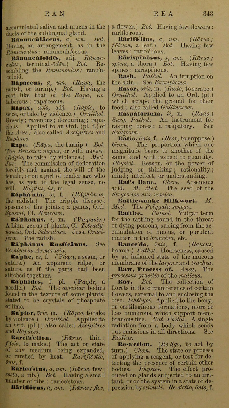 accumulated saliva and mucus in the ducts of the sublingual gland. KAuunculiiccus, a, um. Bot. Having an arrangement, as in the Ranunculus: ranuncula'ceous. Kaunuculoidesy adj. Ranun- culus; terminalBot. Re- sembling the Ranwiculus: ranu'n- culoid. Kapaceus, a, um. {Rapa, the radish, or turnip.) Bot. Having a root like that of the Rapa, i.e. tuberous: rapti'ceous. KApax, acts, adj. {Ritpio, to seize, or take by violence.) Ornithol. Greedy; ravenous; devouring; rapa- cious. Applied to an Ord. (pi. f.) of the Aves; also called Accipitres and Raptores. Kape. {Rapa, the turnip.) Bot. The Brassica napus, or wild navew. (Rttpio, to take by violence.) Med. Jut. The commission of defloration forcibly and against the will of the female, or on a girl of tender age who has, as yet, in the legal sense, no will. Ra'ptus, 'Us, m. KApliiVnia, ce, f. {Rdphdnus, the radish.) The cripple disease; spasms of the joints; a genus, Ord. ^asmi. Cl. Neuroses. KiVpliAnus, i, m. {'Pacpavh.) A Linn, genus of plants, Cl. Tetrady- namia, Ord. Siliculosa. Juss. Cruci- fercB. The radish. RiVphAnns llnstXcanus. See Cochlearia Amnoracia. Ra'plie, es, f. ('Pd<^Tj, a seam, or suture.) An apparent ridge, or suture, as if the parts had been stitched together. RA'phIdes, f. pi. (Vacj>h, a needle.) Bot. The acicular bodies found in the texture of some plants, stated to be crystals of phosphate of lime. Ra'ptor, oris, m. {Rdpio, to take by violence.) Ornithol. Ajrplied to an Ord. (pi.); also called Accipitres and Rapaces. Rurefii'clion. {RdriLS, thin ; fitcio, to make.) The act or state of any medium being expanded, or rarefied by heat. R.dr^fa'ctio, onis, f. Rarlco'stns, a, um. {Rants, few; costa, a rib.) Bot. Having a small number of ribs ; rarico'stous. R&rlUOruSy a, um. {Rdrus; flos, a flower.) Bot. Having few flowers ; rariflo'rous. KarlfA'lins, a, um. {Rants ; folium, a leaf.) Bot. Having few leaves: rarifolious. Karispindsn.s, a, um. {Rants ; spina, a thorn.) Bot. Having few spines : rarispi'nous. Rasli. Pathol. An irruption on the skin. See Exanthema. Kasor, oris, m. {Rado, to scrape.) Ornithol. Applied to an Ord. (pi.) Avhich scrape the ground for their food; also called Gallinaceoe. RaspAtoriiim, ii, n. {Rado.) Surg. Pathol. An instrument for rasping bones : a ra'spatory. See Scalpntm. Kittio, onis, f. {Reor, to suppose.) Geom. The proportion which one magnitude bears to another of the same kind with respect to quantity. Physiol. Reason, or the power of judging or thinking; rationality; mind; intellect, or understanding. Rat’s Bane. Chem. Arsenious acid. M. Med. The seed of the Strychnos nux vomica. Rattle-snake milkwort. M. Med. The Poly gala senega. Rattles. Pathol. Vulgar term for the rattling sound in the throat of dying persons, arising from theac- ciunulation of mucus, or purulent matter in the bronchia, etc. Rauce'do, Inis, f. {Raitcits, hoarse.) Pathol. Hoarseness, caused by an inflamed state of the mxicous membrane of the larynx and trachea. Raw, Process of. Anat. The processus grctcilis of the malleus. Ray. Bot. The collection of florets in the circumference of certain flowers, external to and enclosing the disc. Ichthyol. Applied to the bony, or cartilaginous formations, more or less numerous, which support mem- branous fins. Nat. Philos. A single radiation from a body which sends out emissions in all directions. See Radius. Re-a'ctlon. {Re-dgo, to act by turn.) Chem. The state or process of applying a reagent, or test for de- tecting the presence of certain other bodies. Physiol. The effect pro- duced on glands subjected to an irri- tant, or on the system in a state of de- pression hy stimuli. Re-a'ctio, onis, f.