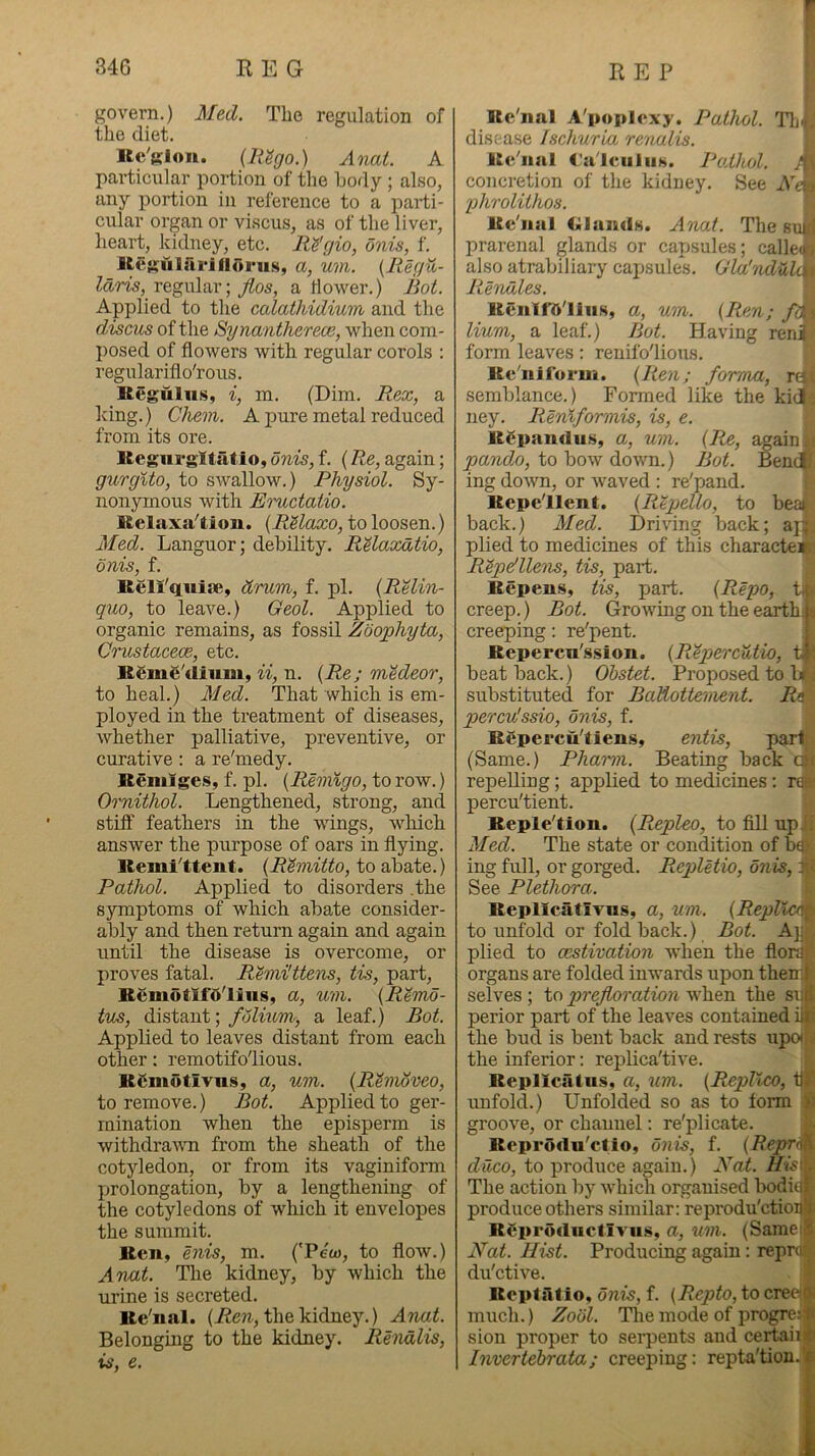 govern.) Med. The regulation of the diet. Kc'gion. (R^go.) Anat. A particular portion of the body ; also, any portion in reference to a parti- cular organ or viscus, as of the liver, heart, kidney, etc. Ri'gio, onis, f. IteiSularifldrus, a, um. {Regu- Idris, regular; jios, a flower.) hot. Applied to the calathidium and the discus of the Synantherece, when com- posed of flowers with regular corols : regulariflo'rous. Regulns, i, m. (Dim. Rex, a king.) Chem. A pure metal reduced from its ore. Kegiirgltiitlo, onis, f. (Re, again; gurgito, to swallow.) Physiol. Sy- nonymous with Eructaiio. llelaxa‘'tion. {RUaxo, to loosen.) Med. Languor; debility. RUaxdtio, onis, f. Rell'qniae, drum, f. pi. {RUin- quo, to leave.) Geol, Applied to organic remains, as fossil Zoophyta, Crustacece, etc. Reme'diiim, ii, n. {Re; medeor, to heal.) Med. That which is em- ployed in the treatment of diseases, whether palliative, preventive, or curative : a re'medy. Remige.s, f. pi. {P^Mmigo, to row.) Oomithol. Lengthened, strong, and stiff feathers in the wings, which answer the purpose of oars in flying. Remi'tteiit. {R^mitto, to abate.) Pathol. Applied to disorders .the symptoms of which abate consider- ably and then return again and again iintil the disease is overcome, or proves fatal. Rhni'ttens, tis, part, Remdtlfu'lins, a, um. {R^mo- tus, distant;a leaf.) Bot. Applied to leaves distant from each other: remotifo'lious. Rdmdtivns, a, um. {Rimoveo, to remove.) Bot. Applied to ger- mination when the episperm is withdraum from the sheath of the cotyledon, or from its vaginiform prolongation, by a lengthening of the cotyledons of which it envelopes the summit. Rcn» enis, m. ('Pew, to flow.) Anat. Tlie kidney, by which the urine is secreted. Re'nal. the kidney.) Anat. Belonging to the kidney. Rendlis, is, e. IT-r a4> Re'nal A'poplexy. Pathol. disease Ischuria re'nalis. Re'nal Ca'lciiliis. Podhol. concretion of the kidney. See phrolithos. Re'nal Glands. Anat. The sim! prarenal glands or capsules; calleu, also atrabiliary cajjsules. Gla'ndul(\, Pt-endles. RenlfO'lliiH, a, um. (Pten; Hum, a leaf.) Bot. Having ren^ form leaves; renifo'lious. Re'niiurm. {Pten; forma, rd semblance.) Formed like the kiJ ney. Renlformis, is, e. RCpandus, a, um. {Re, again uj pando, to bow down.) Bot. Ben<||j ing down, or waved : re'pand. Repe'llent. {Repello, to bea^ back.) Med. Driving back; ajl plied to medicines of this characteis PtepeHlens, tis, part. Repens, tis, part. {Repo, creep.) Bot. Growing on the earth creeping: re'pent. Repercn's.sion. {Repercutio, beat back.) Ohstet. Proposed to 1 substituted for BaUottement. R4 percu'ssio, onis, f. Repercu'tiens, entis, part (Same.) Phamn. Beating back cif repelling; applied to medicines: r®- percu'tient. Reple'tion. {Repleo, to fill up li Med. The state or condition of mg full, or gorged. Rejoletw, onis, See Plethora. i Replleatixus, a, um. {Repl to unfold or fold back.) Bot. A plied to aestivation when the flo; organs are folded inwards upon them^ selves ; to prejloration when the sii perior part of the leaves contained i the bud is bent back and rests iipotjJi the inferior; replica'tive. Repllcalus, a, um. {Repllco, imfold.) Unfolded so as to form groove, or channel: re'plicate. Reprodu'ctlo, onis, f. {Repr< diico, to produce again.) Xat. //tsi] The action by which orgaiiised Imdii produce others similar: reprodu'etio; RSprodiictiviis, a, um. (Samei JVat. Hist. Producing again: repn du'etive. Rept Atio, onis, f. (Repto, to cree much.) Zoiil. The mode of progre sion proper to serpents and certaii Invertehrata; creeping: repta'tiou.