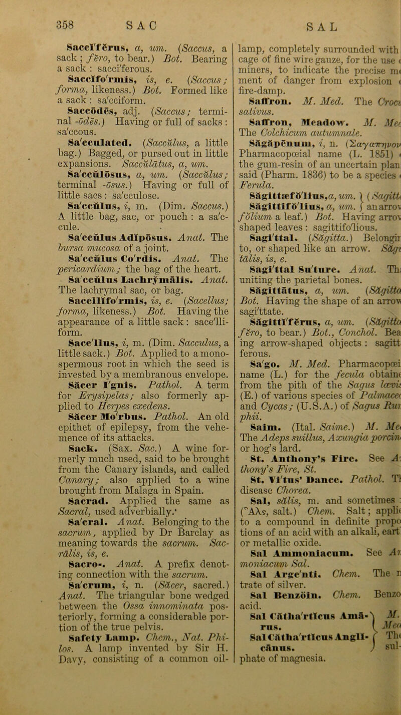 Saccl'fCpiis, a, mn. {Saccus, a sack ; fh'o, to bear.) Bot. Bearing a sack : sacci'ferous. SnccIfo'rmljK, is, e. {Saccus; forma, likeness.) Bot. Formed like a sack : sa'cciform. Sacco(lS.s, adj. {Saccus; termi- nal -odes.) Having or full of sacks : sa'ccous. Sa'ccnlatcd. {SacciUus, a little bag.) Bagged, or pursed out in little expansions. Sacculatus, a, um. Sa'cculd.siis, a, um. {Sacculus; terminal -osus.) Having or full of little sacs: sa'cculose. Sa'cculus, i, m. (Dim. Saccus.) A little bag, sac, or pouch : a sa'c- cule. Sa'cculus Adlpo.siis. Anat. The bursa mucosa of a joint. Sa'cculus Co'rdis. Anat. The pericardium,; the bag of the heart. Sa'cculus Laclirymalis. Anat. The lachrymal sac, or bag. Sacelllfo'riuis, is, e. {Sacellus; forma, likeness.) Bot. Having the appearance of a little sack: sace'Ui- form. Sacc'llus, i, m. (Dim. Sacculus, a little sack.) Bot. Applied to amono- spermous root in which the seed is invested by a membranous envelope. Sacer I'guls. Pathol. A term for Erysipelas; also formerly ap- plied to Herpes exedens. sacer Mo'rbus. Pathol. An old epithet of epilepsy, from the vehe- mence of its attacks. Sack. (Sax. Sac.) A wine for- merly much used, said to be brought from the Canary islands, and called Camary; also applied to a wine brought from Malaga in Spam. Sacrad. Applied the same as Sacral, used adverbially.* Sa'cral. Anat. Belonging to the sacrum, applied by Dr Barclay as meaning towards the sacrum. Sac- rdlis, is, e. Sacro-. Anat. A prefix denot- ing connection with the sacrum. Sa'criim, i, n. {Sdcer, sacred.) Atiat. The triangular bone wedged between the Ossa innominata pos- teriorly, foiTning a considerable por- tion of the true pelvis. Safet.y Laiiip. Chcm., Nat. Phi- los. A lamp invented by Sir H. Davy, consisting of a common oil- lamp, completely surrounded with cage of fine wire gauze, for the use o miners, to indicate the preci.se nn ment of danger from explosion c fire-damp. Saffron. M. Med. The CVoca sativus. Saffron, McadoM'. M. Met The Colchicum autumrude. sa$;apr‘nuin, i, n. (SayaTnji/ow Pharmacopceial name (L. 1851) « the gum-resiu of an uncertain plan said (Pharm. 1836) to be a species < Ferula. Sagitta;f5'lius,a,) {SagitU Sagittlf6'lius, a, um. j anarroM /o^mmaleaf.) Bot. Having arro'v shaped leaves: sagittifo'lious. Sasi'ttal. {S&gitta.) Belongh to, or shaped like an arrow. Sdgi tdlis, is, e. Sagi'ttal Su'ture. Anat. Th; uniting the parietal bones. Silgittatns, a, um. {Sdgitta Bot. Having the shape of an arrovi sagi'ttate. Sagittl'fSrus, a, um. {Sitgitto ftro, to bear.) Bot., Conchol. Bea ing arrow-shaped objects ; sagitt ferous. Sa'go. M. Med. Pharmacopoei name (L.) for the fecxda obtains from the pith of the Sagus Iccvit (E.) of various species of Pcdmacet and Cycas; (U.S.A.) of Sagus Rw phii. Saim. (Ital. Saime.) M. Me> 'The Adeps suillus, Axungia porcin. or hog’s lard. St. Anthony’s Fire. See A. thony's Fire, St. St. Vl'tus’ Dance. Pathol, 'll disease Chorea. Sal, sdlis, m. and sometimes : (AXs, salt.) Chem. Salt; appli« to a compound in definite propo tions of an acid with an alkali, eart or metallic oxide. Sal Animonlacnm. See Ar. moniacum Sal. Sal Arge'nfi. Chem. The n trate of silver. Sal Benzoin. Chem. Benzo acid. Sal Cfttha'rtlcus Anift-'\ M. rn.s. ( -iA'' SalFftflia'rtlcus Angll- f Tht cAniis. J sul- phate of magnesia.