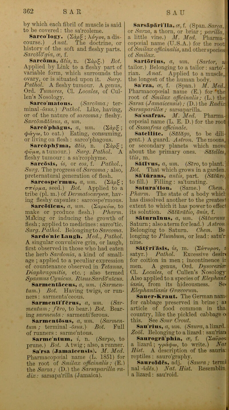 by wliicli each fibril of muscle is said to be covered: the sa'rcoleme. Sarcolosy. ; A.oyo9, a dis- course.) Anat. The doctrine, or history of the soft and fleshy parts. SarcSltj'(]ia, cb, f. Sarcoma, n. CSup^.) Bot. Applied by Link to a fleshy part of variable form, which surrounds the ovary, or is situated upon it. Surg. Pathol. A fleshy tumour. A genus, Ord. Tumores, Cl. Locales, of Cul- len’s Nosology. Sarco'matons. {Sarcoma; ter- minal-osws.) Pathol. Like, having, or of the nature of sarcoma; fleshy. Sarcomhtosus, a, um. Sarci^'plillgus, a, um. (S«/o^; cfydyu), to eat.) Eating, consuming, or living on flesh : sarco'phagous. SarcISphyma, htis, n. ; 0U;U«, a tumour.) Surg. Pathol. A fleshy tumour : a sa'rcophyme. Sarcosis, is, or eos, f. Pathol., Surg. The progress of Narco??ia; also, preternatural generation of flesh. Sarcospe'rmus, a, um. (^dp^ ; cnreppLa, seed.) Bot. Applied to a tribe (pi. m.) oi Dermatocarpece, hav- ing fleshy capsules; sarcospe'rmous. Sarcotlcns, a, um. (^apKow, to make or produce flesh.) Pharm. MaTdng or inducing the growth of flesh; applied to medicines: sarco'tic. Surg. Pathol. Belonging to Sarcoma. Sardo'nlc Laiigli. Med., Pathol. A singular convulsive grin, or laugh, first observed in those who had eaten the herb Sa^rdonia, a kind of small- age ; applied to a peculiar expression of countenance observed in Tetanus, Diaphragmitis, etc. ; also termed Spasmus Cyniciis. RlsusSardtfnlcm. Sarmentaccns, a, um. {Sarmen- turn.) Bot. Having twigs, or run- ners : sarmenta'ceous. Sarmcntl'fCrus, a, um. (Sar- mentum; f^ro, to bear.) Bot. Bear- ing sannenta: sarmenti'ferous. Sarmcntosns, a, um. {Sarmen- tum; terminal-os?fs.) Bot. Full of runners : sarme'ntous. 8arme'iitiiiii, i, n. (Sarpo, to prune.) Bot. A twig; also, a runner. Sa'rsa (Jamaiccn.sls). M. Med. Pharmacopoeial name (L. 1851) for the root of Smilax officinalis; (E.) the Sarza; (D.) the Sarsaparilla ra- dix: sarsapa'rilla (Jamaica). \ fitarHilpftH'lla, cb, f. (Span. Sarca,p or Sarza, a thorn, or briar ; pariila.,ry a little vine.) M. Med. Pharma-l copoeial name (U.S.A.) for the root! of Smilax ojffici'aalis, and other specie™ of Smilax. J Kartdriiis, a, um. {Sartor, ai( tailor.) Belonging to a tailor: sarto'^s rian. A nat. Applied to a muscle,41 the longest of the human body. i Sa'rza, cb, f. (Span.) J/. Med.i. Pharmacopoeial name (E.) for'the* root of Smilax officinalis; (L.) theli Sarsa {.Tairudcensis); (D.) the Raki^', Sarsaparillce; sarsaparilla. Sa'ssafra.s. M. Med. Pharma-tj copoeial name (L. E. D.) for the rool^: of Sassafras officinale. Satellite. {Sdtdgo, to be dili- gent.) A guard. Astron. ThemoonSjjT) or secondary planets which movqfi about the primary ones. Sdtdles,t %tis, m. Sfttlvus, a, um. {SSro, to plant. M Bot. That which grows in a garden.! SS'turam, antis, part. {Sdlturo,^ to fill.) Filling : saturating. • Saturation. (Same.) Chem.^ Pharm. The state of a body whicl:* has dissolved another to the greatesi! extent to which it has power to eflfecl i its solution. Sdturdtio, onis, f. Satnrninns, a, um. {Sdturnus : Saturn; also a term for lead.) Astroyi ? Belonging to Saturn. Chem. Be longing to Plumbum, or lead: satuTi nine. Ssttyrl'ilsis, is, m. {^uTupo^, si satyr.) Pathol. Excessive desint for coition in men; incontinence ir i men. A genus, Ord. Dysorexica* Cl. Locales, of Cullen’s Nosology j Also applied to a species of Elephant f iasis, from its hideousness. Se<> Elephantiasis GrcBCorum. ^ Saiier-Kraiit. The German nam<: for cabbage preserved in brine ; ai article of food common in tha. country, like the pickled cabbage o this. See Sour Croat. 8an'riii.s, a, um. (Na?/ra, a lizard. Zool. Belonging to a lizard: sau'rian SaiirogrA'phin, cb, f. fSavpo^ a lizard; ypdfpio, to writo.) Xat Hist. A description of the sauria: reptiles: sauro'graphy. Siuiroldds, adj. {Saura ; termi nal -Ides.) Na,t. Hist. Resemblin a lizard: sau'roid. I